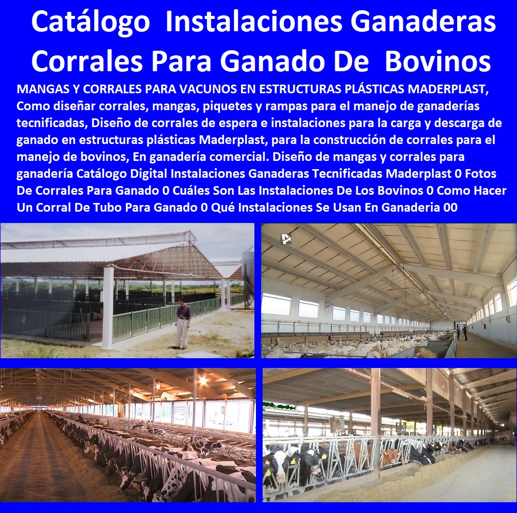 35 GANADERÍAS TECNIFICADAS 0 EXPLOTACIÓN GANADERA AUTOMATIZADA 0 SISTEMAS DE PASTOREO ESTABULADO 0 ESTABULACIÓN DE GANADO 0 Pastoreo Intensivo 0 Establos 0 Corrales 0 Saladeros Para Ganado 0 Comederos Para Ganado 0 Cerramientos 0 Postes Para Cría De Ganado 0 Ganadería Intensiva 0 Ganadería Extensiva 35 GANADERÍAS TECNIFICADAS 0 EXPLOTACIÓN GANADERA AUTOMATIZADA 0 SISTEMAS DE PASTOREO ESTABULADO 0 ESTABULACIÓN DE GANADO 0 Pastoreo Intensivo 0 Establos 0 Corrales 0 Saladeros Para Ganado 0 Comederos Para Ganado 0 Cerramientos 0 Postes Para Cría De Ganado 0 Ganadería Intensiva 0 Ganadería Extensiva Corrales plásticos Maderplast establo para ganadería intensiva estabulada 0 Proyecto de Ganado Lechero Estabulado 0 Instalaciones Para Ganado Semiestabulado 0 Establos Para Ganado de Engorde 0 Ganaderías Tecnificadas, Explotación Ganadera Automatizada, Sistemas de Pastoreo, Estabulación de Ganado, Pastoreo Intensivo, Establos, Corrales, Saladeros, Comederos, Cerramientos, Postes, Instalaciones Ganado Lechero Estabulado Corrales plásticos Maderplast establo para ganadería intensiva estabulada 0 Proyecto de Ganado Lechero Estabulado 0 Instalaciones Para Ganado Semiestabulado 0 Establos Para Ganado de Engorde 0 Instalaciones Ganado Lechero Estabulado