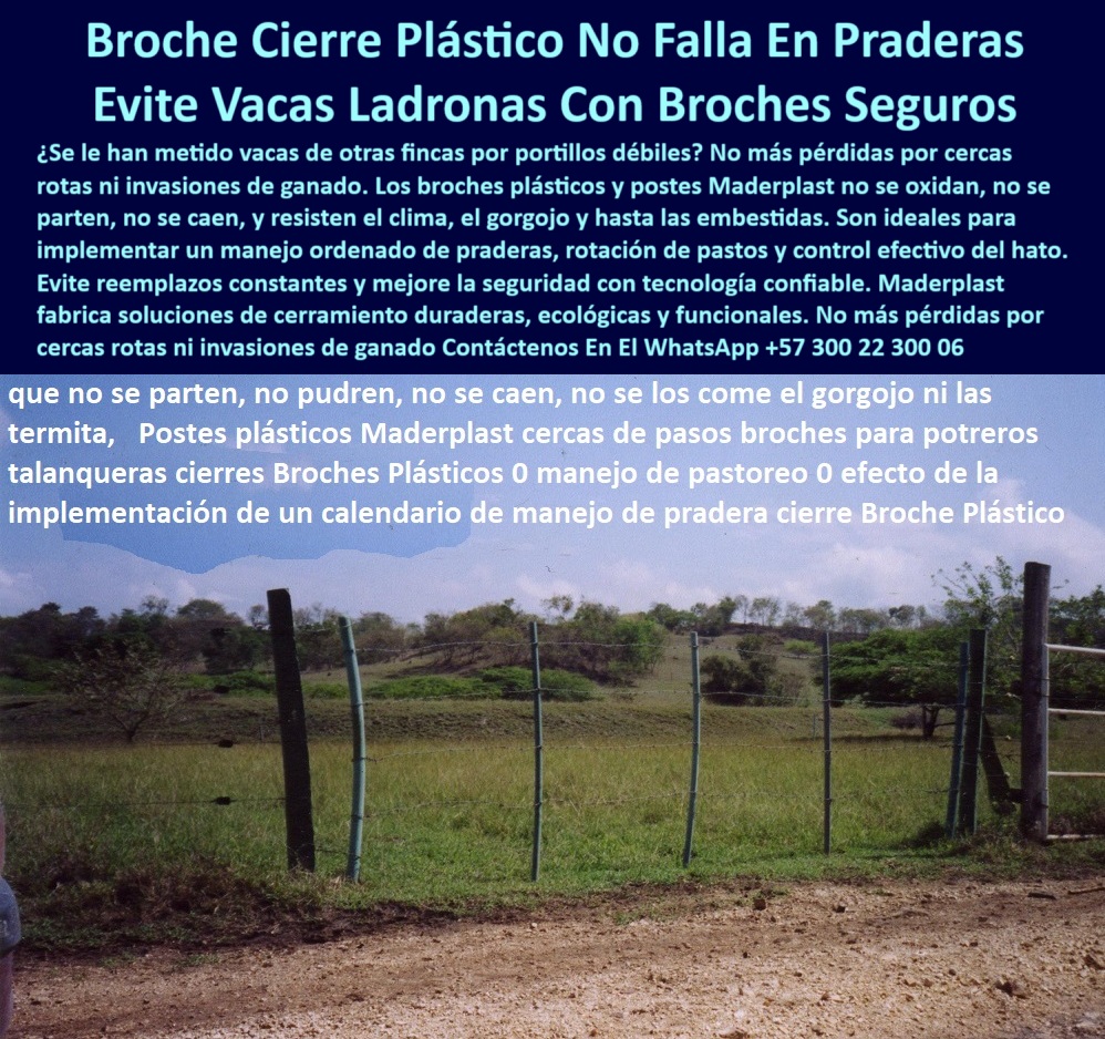Broches Portón Plástico Para Ganado Puerta De Hato Ganadero Puerta Maderplast 0 Puerta Plástica para Corral Broche de Corral División Portátil para Corrales Reja para ganado que se abra rápido Cierre Modular de Pastoreo PP Esta imagen muestra una puerta ganadera de broche plástico Maderplast instalada en una zona de potrero abierta, el cierre plástico asegura que el ganado no escape ni se meta desde fincas vecinas, se observa una estructura firme, sin óxido, sin pintura ni refuerzos metálicos, el broche de paso es seguro, removible y resistente a humedad y presión animal, los postes verdes completan el cierre que no se tuerce ni se rompe, la instalación es rápida y se puede hacer sin maquinaria, este sistema modular es ideal para división portátil de potreros en manejo intensivo de pasturas, el broche Maderplast funciona como reja para ganado sin mantenimiento, no se lo comen las termitas ni el gorgojo, y no necesita soldadura ni barniz, está cerca modular ecológica ofrece seguridad y eficiencia, la puerta ganadera que se ve es una solución rentable y de larga vida útil con garantía técnica y respaldo directo de Maderplast, ideal para ganaderos modernos que buscan resultados con sostenibilidad.  A CONTINUACIÓN UN LISTADO COMPLETO CON OTROS PRODUCTO SIMILARES DE MADERPLAST:, - cierre de portón ganadero con perfil Maderplast, - ¿Qué cierre impide que entren vacas de otras fincas?, - ¿Qué broches plásticos soportan presión de ganado?, - ¿Qué puerta plástica es buena para potreros rotacionales?, - instalación de broche sin soldadura ni mantenimiento, - broches de potrero que resisten presión de vacas, - Sugiéreme broche anticorrosión para corral de ganado, - ¿Cómo se instala una puerta ganadera sin herramientas?, - cierre ganadero reforzado con plástico reciclado, - reja-para-vacas-segura, - puerta-de-potreros-ecológica, - cerramiento portátil de pasto sin herramientas, - broche plástico ganadero que no se cae ni se parte, - puerta ganadera reforzada contra humedad y sol, - broche-portón-ganadero, - cierre seguro para portones de pastoreo rotacional, - broche Maderplast para evitar ingreso de ganado, - tranca para ganado sin riesgo de oxidación, - solución antirrobo de ganado con rejas plásticas, - broche ganadero que evita ingreso de vacas ladronas, - broche plástico de corral instalado en zona ganadera rural, - broche-de-corral-reforzado, - modulo-de-cierre-sin-mantenimiento, - cierre-ganadero-plástico, - sistema de cierre modular portátil con postes Maderplast, - ¿Qué broche ganadero es más seguro para praderas?, - tecnología de cercado ganadero con broche libre de óxido, - paso controlado para ganado en finca con broches plásticos, - Esta imagen muestra una puerta ganadera de broche plástico Maderplast instalada en una zona de potrero abierta, el cierre plástico asegura que el ganado no escape ni se meta desde fincas vecinas, se observa una estructura firme, sin óxido, sin pintura ni refuerzos metálicos, el broche de paso es seguro, removible y resistente a humedad y presión animal, los postes verdes completan el cierre que no se tuerce ni se rompe, la instalación es rápida y se puede hacer sin maquinaria, este sistema modular es ideal para división portátil de potreros en manejo intensivo de pasturas, el broche Maderplast funciona como reja para ganado sin mantenimiento, no se lo comen las termitas ni el gorgojo, y no necesita soldadura ni barniz, está cerca modular ecológica ofrece seguridad y eficiencia, la puerta ganadera que se ve es una solución rentable y de larga vida útil con garantía técnica y respaldo directo de Maderplast, ideal para ganaderos modernos que buscan resultados con sostenibilidad.  A CONTINUACIÓN UN LISTADO COMPLETO CON OTROS PRODUCTO SIMILARES DE MADERPLAST:, - broche-anti gorgojo-maderplast, - estructura segura en corral con puerta de cierre Maderplast, - broche ganadero para fincas en clima cálido, - puerta reforzada plástica de fácil apertura para ganado, - broche reforzado para ganadería ecológica rentable, - división portátil para potreros con paso de ganado, - reja plástica para ganado que se abre fácilmente, - puerta de hato sin soldaduras ni refuerzos metálicos, - cierre ecológico plástico sin pudrición ni herrumbre, - broche-de-puerta-plástico-ganadero-maderplast-seguro-potrero.jpg, - broche de corral flexible, liviano y resistente, - broche plástico para portón que no necesita pintura, - broches ganaderos que no oxidan ni se aflojan, - división portátil de pradera con cierre de broche plástico, - tranca-móvil-para-ganado, - ¿Dónde comprar broches plásticos para portones de ganado?, - puerta-plástica-de-hato, - paso controlado de animales sin esfuerzo humano, - tecnología para broches duraderos sin gorgojos, - broche de corral sin mantenimiento para finca rural, - ¿Qué sistema de cierre evita que el ganado se escape?, - sistema modular de cierre ecológico para hato, - broche modular para cercas de rotación intensiva, - puerta de potrero plástico con paso controlado, - broches seguros para praderas técnicas sostenibles, - Dame opciones de broches plásticos para portones ganaderos, - sistema-de-pastoreo-controlado, - ¿Cuál es el broche más resistente al sol y al agua? 0 Broches Portón Plástico Para Ganado Puerta De Hato Ganadero Puerta Maderplast 0 Puerta Plástica para Corral, - Broche de Corral, - División Portátil para Corrales, - Reja para ganado que se abra rápido, - Cierre Modular de Pastoreo PP