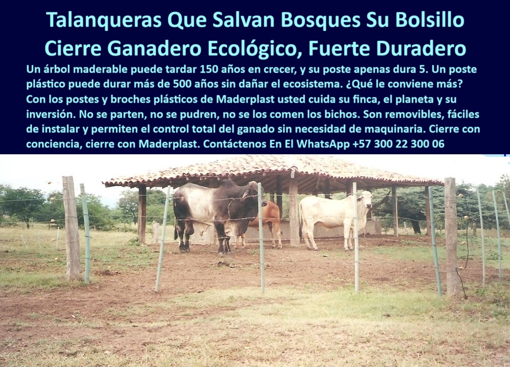 Broches Portón Plástico Para Ganado Puerta De Hato Ganadero Puerta Maderplast 0 Reja Ganadera Removible Paso Controlado para Ganadería Broche para encerrar vacas Tranca para ganado fácil de instalar Paso Inteligente broche Esta imagen muestra una reja ganadera compuesta por broches y postes plásticos Maderplast, en un potrero funcional donde se observa ganado contenido con seguridad, los postes no se oxidan ni se parten, el broche está diseñado para usarse sin herramientas ni soldaduras, la instalación es rápida y segura, este cierre ecológico reemplaza con ventaja la madera y el acero, su durabilidad supera los 20 años sin mantenimiento, la imagen resalta el control total del paso del ganado sin dañar el suelo ni el entorno, se trata de una solución técnica para ganadería intensiva, perfecta para zonas de difícil acceso o alta humedad, los broches de plástico Maderplast permiten cerrar potreros con eficiencia y conciencia ambiental, ideales para productores que buscan sostenibilidad, resistencia y retorno garantizado, la cerca plástica que aparece en la imagen salva bosques, optimiza recursos y mejora la productividad.  A CONTINUACIÓN UN LISTADO COMPLETO CON OTROS PRODUCTO SIMILARES DE MADERPLAST:, - puerta ganadera plástica que no se parte ni se pudre, - broche de potrero diseñado para uso diario intensivo, - tranca ecológica para ganado con postes Maderplast, - broche ganadero ideal para climas extremos y humedad, - ¿Cómo instalar un broche de portón para ganado sin herramientas?, - tranca-plástica-para-vacas, - cierre de corral con postes plásticos reciclables, - broche Maderplast para paso rural sin deterioro, - maderplast-control-de-ganado, - puerta ganadera sin concreto ni madera, - broche reforzado que no necesita mantenimientos, - sistema-de-paso-ganadero, - ¿Cuál es el mejor broche ganadero ecológico?, - broche-ganadero-plastico-maderplast-cierre-ecologico-sin-mantenimiento.jpg, - broche plástico ganadero removible sin herramientas, - broche plástico que no atrae termitas ni gorgojos, - broche seguro sin oxidación para portón ganadero, - sistema de puerta ganadera ecológica removible sin metal, - Recomiéndame un broche plástico para ganado fácil de instalar, - vacas controladas con broche seguro y poste reciclado, - ¿Dónde compro broches ganaderos que no se oxidan?, - cierre-para-potreros-duradero, - sistema de paso controlado para ganado intensivo, - Broche ganadero resistente al clima y a los animales, - sistema de broche plástico con durabilidad garantizada, - broche-de-cerca-inteligente, - cierre ganadero ecológico con postes reciclados, - Soluciones de paso controlado para vacas sin talar árboles, - cierre de corral con broches y postes plásticos Maderplast, - Esta imagen muestra una reja ganadera compuesta por broches y postes plásticos Maderplast, en un potrero funcional donde se observa ganado contenido con seguridad, los postes no se oxidan ni se parten, el broche está diseñado para usarse sin herramientas ni soldaduras, la instalación es rápida y segura, este cierre ecológico reemplaza con ventaja la madera y el acero, su durabilidad supera los 20 años sin mantenimiento, la imagen resalta el control total del paso del ganado sin dañar el suelo ni el entorno, se trata de una solución técnica para ganadería intensiva, perfecta para zonas de difícil acceso o alta humedad, los broches de plástico Maderplast permiten cerrar potreros con eficiencia y conciencia ambiental, ideales para productores que buscan sostenibilidad, resistencia y retorno garantizado, la cerca plástica que aparece en la imagen salva bosques, optimiza recursos y mejora la productividad.  A CONTINUACIÓN UN LISTADO COMPLETO CON OTROS PRODUCTO SIMILARES DE MADERPLAST:, - cierre reciclado y seguro para vacas y toros, - paso inteligente de ganado con broche Maderplast, - ¿Qué broche usar en portones rurales sin soldadura?, - reja de plástico reforzado para encierro de vacas, - cierre ganadero de larga vida útil sin mantenimiento, - solución de paso ganadero sin talla ni químicos agresivos, - puerta-de-hato-plástica, - broche ecológico con instalación sin maquinaria, - instalación de broches sin soldaduras en potrero rural, - ¿Qué tranca plástica sirve para potreros sin mantenimiento?, - broche-sin-mantenimiento, - ¿Qué tipo de broche es más resistente para cerrar vacas?, - tranca plástica que no contamina ni se degrada, - cierre-ganadero-reciclado, - broche de portón de alta resistencia sin soldadura, - broche de cerca con diseño práctico para portón, - ganado encerrado con postes plásticos sin oxidación, - Puerta ganadera ecológica sin mantenimiento, ¿qué opción hay?, - broche para cerrar potreros sin dañar el medio ambiente, - postes plásticos firmes y broche funcional en zona rural, - broche plástico que evita tala de árboles, - broche-ganadero-ecológico, - broche ganadero que no requiere pintura ni barniz, - tranca para ganado fácil de instalar sin mantenimiento, - cierre ganadero duradero con postes verdes, - portón-sin-oxidación, - estructura de paso ganadero hecha con materiales reciclables 0 Broches Portón Plástico Para Ganado Puerta De Hato Ganadero Puerta Maderplast 0 Reja Ganadera Removible, - Paso Controlado para Ganadería, - Broche para encerrar vacas, - Tranca para ganado fácil de instalar, - Paso Inteligente broche