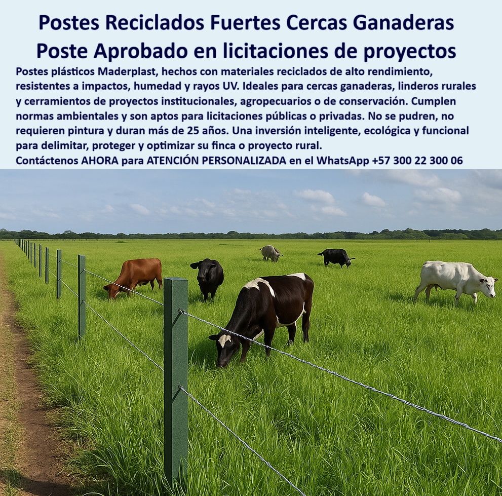 Cerca Económica Para Potreros Postes Para Linderos Lineamientos Poste Maderplast 0 postes reciclados para licitaciones de cerramientos cercas ganaderas 00 Cerca Económica Para Potreros Postes Para Linderos Lineamientos Poste Maderplast En la imagen se observa una cerca ganadera extensa con postes plásticos reciclados Maderplast, firmemente instalados en terreno húmedo y plano, sin uso de concreto. Estos postes están diseñados para resistir impactos, rayos UV, humedad y uso intensivo sin deformarse ni romperse. Gracias a su composición sólida y ecológica, los postes Maderplast son ideales para cerramientos ganaderos, proyectos agropecuarios, linderos rurales y cercas institucionales o públicas. No requieren mantenimiento, pintura ni tratamientos especiales. Cumplen normas técnicas y ambientales, lo que los hace aptos para licitaciones públicas o privadas. Se instalan cada 25 metros, reduciendo el costo por kilómetro y mejorando la productividad. Una solución rentable, técnica y sostenible para ingenieros, proyectistas y ganaderos que buscan seguridad y eficiencia real. LISTADO DE OTROS PRODUCTOS SIMILARES DE MADERPLAST:, - poste plástico para cercas extensivas en sabanas, - Poste reciclado para dividir potreros grandes sin reemplazo, - poste plástico reciclado para cerramientos ganaderos, - poste reciclado con vida útil superior a 25 años, - poste-aprobado-en-licitaciones-ambientales, - poste reciclado alineado en potrero con ganado pastando, - ¿Qué poste es mejor para finca sin mantenimiento?, - Recomiéndame un poste plástico para cercas ganaderas sostenibles, - poste-para-contratistas-de-proyectos-rurales, - ¿Cuál poste cumple normas ambientales para proyectos públicos?, - poste-sin-mantenimiento-para-potreros, - poste estructural para delimitar fincas productivas, - poste para subdivisión ganadera con sostenibilidad, - ¿Cuál poste puede usar sin concreto ni pintura en sábanas?, - ¿Qué poste es más rentable y aprobado para licitaciones rurales?, - poste-plástico-con-resistencia-certificada, - poste plástico optimizado para cercas técnicas rurales, - proyecto agropecuario con cerramiento reciclado sustentable, - poste apto para proyectos productivos con norma técnica, - poste sólido para cerca de ganado en sabana, - poste plástico sin pintura para ambientes agresivos, - poste Maderplast resistente a impactos y climas, - poste-ecológico-para-linderos-rurales, - ¿Qué poste no se pudre y aguanta lluvia y sol?, - poste con ficha técnica para contratación estatal, - poste eficiente para reducción de costos por metro, - instalación de cercado ecológico con poste plástico Maderplast, - poste que reemplaza madera y concreto en fincas, - poste-para-cercas-en-sabanas-extensas, - poste-reciclado-para-proyectos-rurales, - En la imagen se observa una cerca ganadera extensiva con postes plásticos reciclados Maderplast, firmemente instalados en terreno húmedo y plano, sin uso de concreto. Estos postes están diseñados para resistir impactos, rayos UV, humedad y uso intensivo sin deformarse ni romperse. Gracias a su composición sólida y ecológica, los postes Maderplast son ideales para cerramientos ganaderos, proyectos agropecuarios, linderos rurales y cercas institucionales o públicas. No requieren mantenimiento, pintura ni tratamientos especiales. Cumplen normas técnicas y ambientales, lo que los hace aptos para licitaciones públicas o privadas. Se instalan cada 25 metros, reduciendo el costo por kilómetro y mejorando la productividad. Una solución rentable, técnica y sostenible para ingenieros, proyectistas y ganaderos que buscan seguridad y eficiencia real. LISTADO DE OTROS PRODUCTOS SIMILARES DE MADERPLAST:, - ¿Dónde consigo poste aprobado en licitaciones rurales?, - instalación de postes para proyectos sostenibles ganaderos, - poste con resistencia aprobada por ganaderos técnicos, - cerca perimetral rural ecológica con poste Maderplast, - poste-plástico-para-cercas-ganaderas, - poste resistente a rayos UV y humedad intensiva, - poste ecológico para proyectos institucionales rurales, - postes alineados sin concreto en potrero abierto productivo, - poste versátil para pastoreo intensivo rotacional, - postes plásticos en linderos verdes para ganado bovino, - Poste con ficha técnica para cerramiento institucional ganadero, - poste-para-dividir-fincas-productivas, - poste-plastico-reciclado-ganadero-licitaciones-proyectos-rurales.jpg, - cercado ganadero duradero instalado con postes reciclados, - poste resistente a impactos en linderos de finca ganadera, - poste aprobado en licitaciones públicas rurales, - poste compatible con alambre de púas sin aisladores, - poste libre de mantenimiento para potreros grandes, - poste para división técnica de ganado bovino, - cerca ganadera técnica con postes verdes en sabana húmeda, - poste-maderplast-para-ganadería-sostenible, - ¿Cuál poste sirve para proyectos ganaderos sostenibles?, - poste de bajo mantenimiento para fincas ganaderas, - poste certificado para proyectos con impacto ambiental, - poste para cercas de linderos rurales extensos, - poste para proyectos agropecuarios de gran extensión 0 postes reciclados para licitaciones de cerramientos, - cercas ganaderas 00