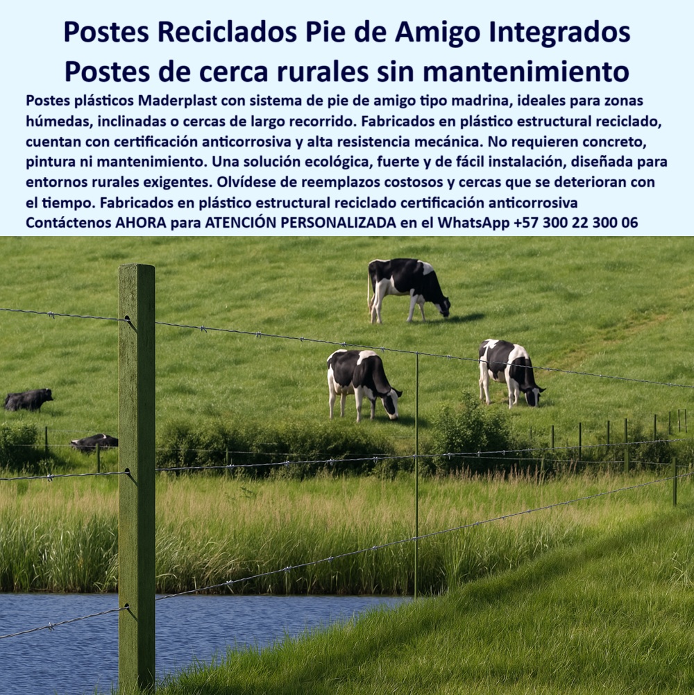 Cerca Económica Para Potreros Postes Para Linderos Lineamientos Poste Maderplast 0 sistema pie de amigo madrina para postes 00 Cerca Económica Para Potreros Postes Para Linderos Lineamientos Poste Maderplast 0 sistema pie de amigo madrina para postes, - 00 La imagen muestra un poste plástico Maderplast instalado con sistema de pie de amigo tipo madrina, en una finca real de Zipaquirá y Cajicá, donde lleva más de 35 años funcionando sin reemplazo. Este poste estructural está fabricado en plástico reciclado con certificación anticorrosiva y mecánica, diseñado para entornos rurales exigentes, zonas húmedas e inclinadas. No necesita concreto, pintura ni mantenimiento. Con Maderplast, se reduce el gasto en reemplazos y se gana en durabilidad. El cliente testigo, don Cavalier, resume: “Nunca más volví a comprar postes. Ustedes clavaron el cuchillo de una vez”. Maderplast es la elección inteligente y definitiva. A CONTINUACIÓN UN LISTADO DE OTROS PRODUCTOS SIMILARES DE MADERPLAST:, - poste sin astillas ni fracturas estructurales, - cerca ganadera ecológica instalada sin concreto, - ¿Qué poste aguanta más de 30 años en finca rural?, - ¿Qué poste ecológico puedo usar sin mantenimiento?, - poste verde ecológico sin corrosión, - poste duradero sin oxidación para ganado, - poste plástico certificado anticorrosión, - poste rural para terrenos inclinados, - ¿Dónde comprar postes con pie de amigo para ganado?, - poste-plástico-pie-de-amigo, - poste-para-finca-ganadera, - Poste con respaldo de finca certificada en Cundinamarca, - ¿Cuál es el poste más duradero para terrenos inclinados?, - Poste para finca ganadera sin pintura ni oxidación, - poste agrícola en zona montañosa de alto rendimiento, - poste para cerca ganadera económica, - Poste con soporte madrina ideal para terrenos rurales húmedos, - poste-para-terrenos-inclinados, - ¿Qué poste usan en Zipaquirá para cerramientos duraderos?, - poste-reciclado-con-certificación, - poste para cerca con más de 30 años, - poste resistente a impactos y humedad, - La imagen muestra un poste plástico Maderplast instalado con sistema de pie de amigo tipo madrina, en una finca real de Zipaquirá y Cajicá, donde lleva más de 35 años funcionando sin reemplazo. Este poste estructural está fabricado en plástico reciclado con certificación anticorrosiva y mecánica, diseñado para entornos rurales exigentes, zonas húmedas e inclinadas. No necesita concreto, pintura ni mantenimiento. Con Maderplast, se reduce el gasto en reemplazos y se gana en durabilidad. El cliente testigo, don Cavalier, resume: “Nunca más volví a comprar postes. Ustedes clavaron el cuchillo de una vez”. Maderplast es la elección inteligente y definitiva. A CONTINUACIÓN UN LISTADO DE OTROS PRODUCTOS SIMILARES DE MADERPLAST:, - poste estructural sin pintura ni oxidación visible, - poste plástico resistente sin oxidación, - poste sin concreto ni pintura, - sistema de cercas rurales con pie de amigo integrado, - poste que no requiere reemplazo por décadas, - poste agrícola con larga vida útil, - Mejor poste con anclaje directo para instalación sin concreto, - poste plástico con pie de amigo integrado, - poste plástico verde instalado con alambres en pradera, - poste maderplast sistema de anclaje resistente, - poste-rural-sin-concreto, - poste Maderplast certificado en finca de Cundinamarca, - poste instalado en finca productiva en Zipaquirá, - poste para propiedad agrícola sin deterioro, - poste reciclado con soporte técnico, - poste de alto rendimiento para ganado lechero, - poste plástico fuerte para linderos rurales, - poste-para-ganado-duradero, - poste plástico instalado en Cajicá y Zipaquirá, - poste ganadero instalado en finca real, - Poste plástico que dura más de 30 años sin reemplazo, - poste-con-madrina-integrada, - poste-instalado-en-cajica-cundinamarca, - poste para fincas con terrenos húmedos, - poste ecológico con instalación tipo madrina, - poste madrina sin mantenimiento rural, - poste-plástico-antioxidante-rural, - poste para cerramiento sostenible en campo, - poste ganadero con sistema pie de amigo en zona rural, - poste reciclado resistente en pasto húmedo con ganado, - cercado plástico con postes fuertes para vacas lecheras, - poste-plastico-pie-de-amigo-cajica-ganadero-reciclado.jpg, - poste ideal para zonas con lluvia constante, - poste-de-larga-vida-útil