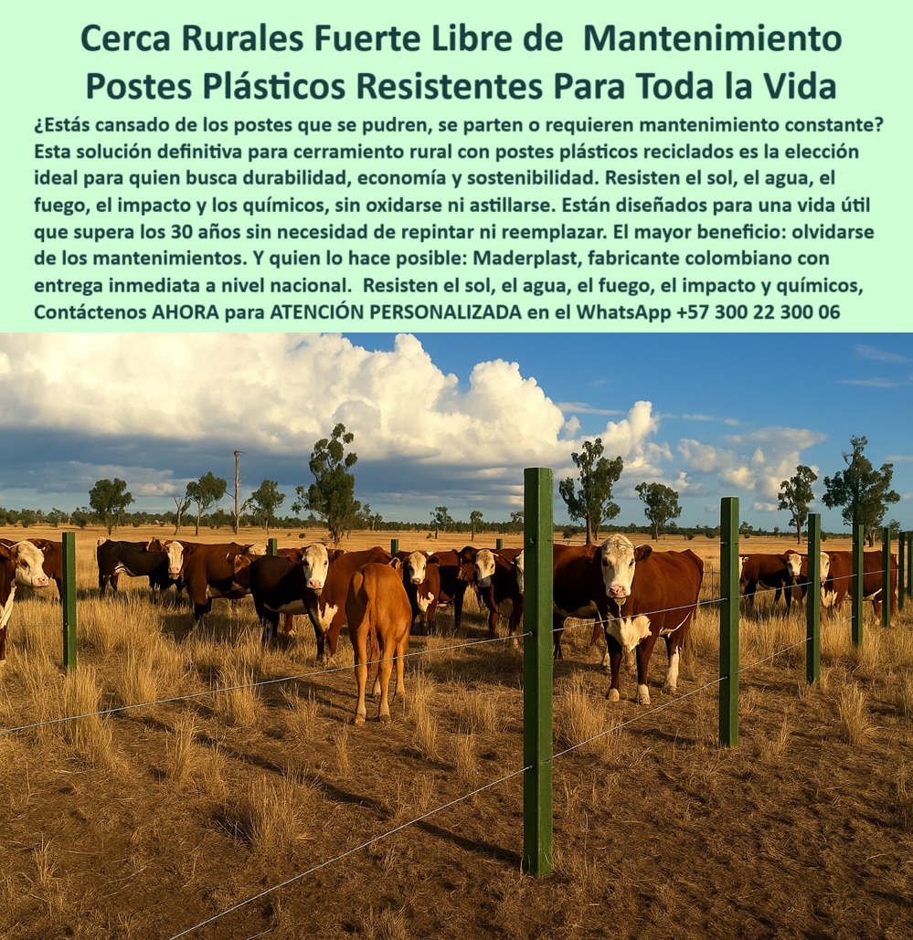 Cercados Con Alambre De Púas Postes Plásticos Púas Alambre Electrico Maderplast 0 sistema de cierre rural con postes plásticos solución definitiva para cercado rural estacones de larga vida útil poste reciclado rural cerca La imagen muestra una finca ganadera con postes plásticos Maderplast instalados en clima seco, expuestos al sol, al viento y a plagas como comején, termitas y gorgojo. El dueño de la finca La Rueda en Villavicencio, Meta, los bautizó "postes veraneros" porque resisten lo que otros no: calor extremo, quemas controladas, orina, estiércol e insectos sin pudrirse ni oxidarse. Estos postes Maderplast están fabricados en polímero reciclado de alta densidad, no requieren pintura ni mantenimiento, y tienen una vida útil superior a 30 años. Son ideales para cercas con alambre de púas, estacones de división o cierre perimetral rural. Con Maderplast, los ganaderos se olvidan del mantenimiento y obtienen una inversión sólida, ecológica y rentable. Postes pensados para durar toda la vida en condiciones reales del campo colombiano., -  Estos son usos y Beneficios estructurales y eléctricos de postes plásticos: poste plástico para pastoreo veranero en Colombia, - ¿Qué poste dura más de 30 años en clima rural seco?, - poste plástico que resiste gorgojo y plagas, - ¿Cuál es el mejor poste para cerramiento rural duradero?, - poste-plástico-resistente-al-comején, - poste plástico que no astilla ni se quiebra, - La imagen muestra una finca ganadera con postes plásticos Maderplast instalados en clima seco, expuestos al sol, al viento y a plagas como comején, termitas y gorgojo. El dueño de la finca La Rueda en Villavicencio, Meta, los bautizó "postes veraneros" porque resisten lo que otros no: calor extremo, quemas controladas, orina, estiércol e insectos sin pudrirse ni oxidarse. Estos postes Maderplast están fabricados en polímero reciclado de alta densidad, no requieren pintura ni mantenimiento, y tienen una vida útil superior a 30 años. Son ideales para cercas con alambre de púas, estacones de división o cierre perimetral rural. Con Maderplast, los ganaderos se olvidan del mantenimiento y obtienen una inversión sólida, ecológica y rentable. Postes pensados para durar toda la vida en condiciones reales del campo colombiano., - poste-plastico-cerca-ganadera, - poste plástico fuerte para llanos orientales colombianos, - postes reciclados delimitando potrero ganadero sin humedad, - poste-plastico-veranero, - poste plástico para cercado rural permanente, - poste-plastico-rural-duradero, - poste plástico sostenible y ecológico rural, - poste plástico que resiste fuego y calor intenso, - poste plástico aprobado para cercas ganaderas rurales, - poste plástico rural para zonas áridas o secas, - estacones plásticos para cerca sin mantenimiento en clima seco, - ganado confinado en potrero seco con cerca plástica, - poste-plastico-sin-mantenimiento, - poste plástico para potreros con alta exposición solar, - cercado rural duradero con postes verdes instalados, - poste-plastico-anti-termitas, - poste-plastico-veranero-rural-resistente-comejen-fuego-sol.jpg, - poste plástico para sistemas de cierre sin pintura, - poste plástico que no se daña con termitas, - poste plástico que dura más de 30 años, - poste-plastico-contra-gorgojo, - ganado entre postes verdes plásticos en finca rural seca, - Dame una opción de poste reciclado para cercas rurales permanentes., - poste plástico seguro para alambre eléctrico, - cerca ganadera resistente con alambre de púas y poste, - poste plástico certificado por ganaderos reales, - poste plástico que no lo afecta el fuego, - ¿Cuál poste sirve para cerca de finca sin mantenimiento?, - poste plástico ideal para propiedad rural grande, - poste plástico para fincas sin mantenimiento, - Poste plástico veranero que aguante comején, calor y termitas., - poste plástico para cercas con alambre de púas, - Poste rural aprobado por finqueros de Villavicencio Meta., - poste plástico para clima seco con vacas o toros, - ¿Qué poste usan en los llanos donde hay mucho verano?, - poste verde plástico resistente a sol e insectos, - cerca rural con postes plásticos reciclados en campo seco, - poste-plástico-apto-para-quemas, - poste-plástico-llanos-colombia, - poste plástico fuerte contra insectos destructores, - sistema de cierre con postes plásticos en finca colombiana, - poste plástico resistente a sol y comején, - ¿Qué poste plástico resiste gorgojo y quema de maleza?, - poste-plástico-para-fincas-rurales, - poste plástico rural para clima seco extremo, - poste plástico reciclado para cierre de potreros, - ¿Qué poste aguanta fuego, insectos y calor sin dañarse?, - poste plástico para cerramiento en zonas ganaderas, - ganado bovino cercado con postes rurales duraderos, - ¿Qué poste no se pudre con sol ni lo ataca el comején? 0 Cercados Con Alambre De Púas Postes Plásticos Púas Alambre Electrico Maderplast 0 sistema de cierre rural con postes plásticos, - solución definitiva para cercado rural, - estacones-de-larga-vida-útil, - poste reciclado rural, - cerca