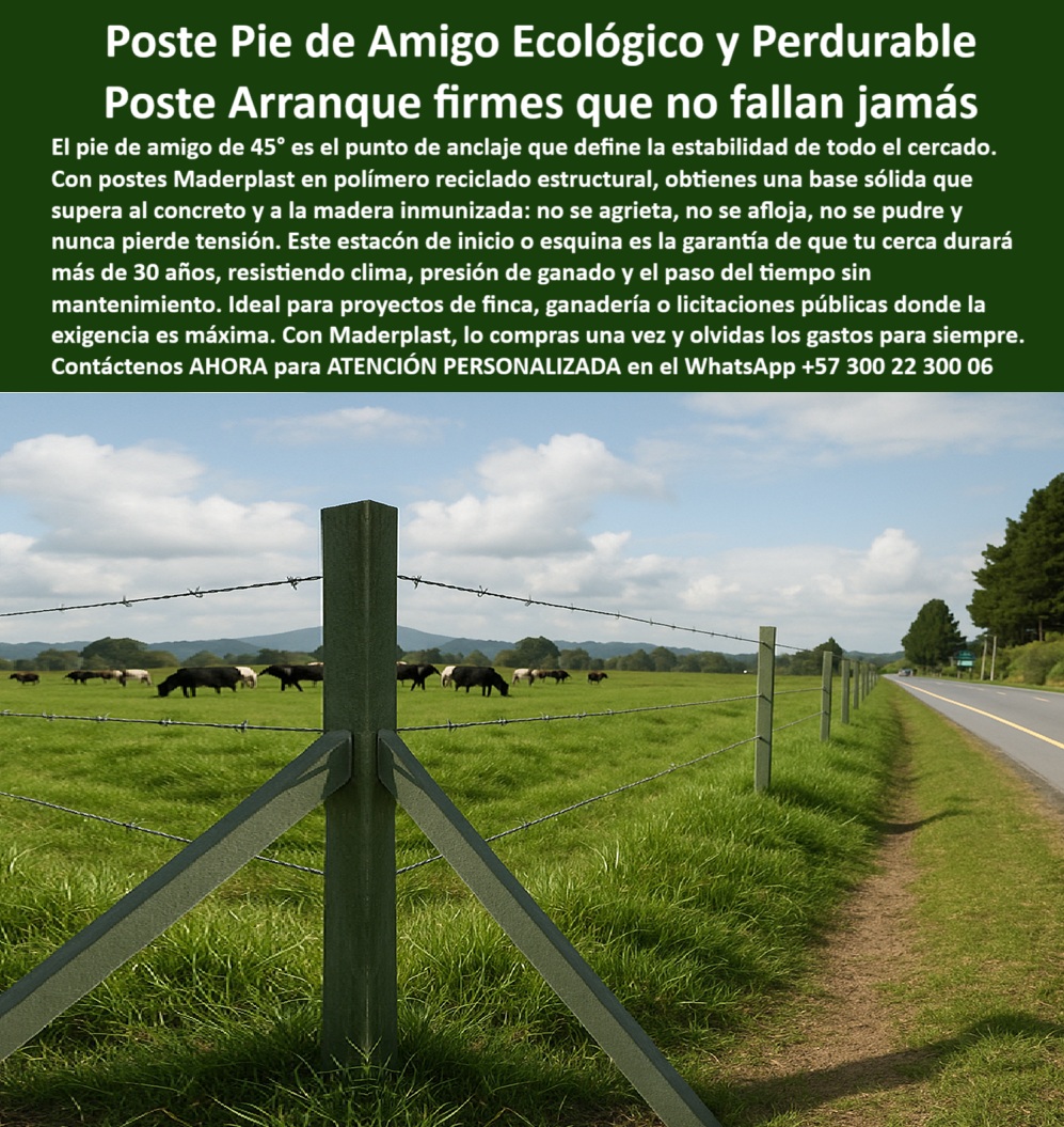 Cercados Con Postes Pie De Amigo Poste de Inicio Y Final Esquineros Porton Maderplast 0 licitación de postes plásticos para cercas ecológicas postes sin mantenimiento para fincas Esta imagen muestra un sistema de cerca rural instalado con postes plásticos Maderplast sólidos y un anclaje tipo pie de amigo a 45°, ubicado en una vía rural donde se observa una finca ganadera. Los postes son de color verde, reciclados, resistentes y firmemente posicionados en terreno húmedo. Esta foto deja ver cómo el sistema evita el uso de concreto, pintura o refuerzos. Está instalada en campo abierto, ideal para separar potreros de forma ecológica, segura y sin mantenimiento. La tensión del alambre se mantiene perfecta gracias a la rigidez estructural. Este tipo de cercado es típico en zonas como Antioquia, Cundinamarca y Meta. Los postes Maderplast superan al concreto y a la madera inmunizada, ya que no se oxidan ni se pudren. Maderplast ofrece una solución definitiva con tecnología probada por más de 30 años. Esta foto es una prueba viva de que invertir en Maderplast es elegir un producto para toda la vida. Con Maderplast, se invierte una vez y se olvida para siempre de cambiar postes.  A CONTINUACIÓN UN LISTADO CON OTROS PRODUCTO SIMILARES DE MADERPLAST:, - poste plástico que no se oxida en terrenos húmedos, - poste-plastico-con-pie-de-amigo-para-cerca-ganadera-larga-duracion.jpg, - poste sustentable para cercas extensivas de ganado, - poste-plástico-sin-mantenimiento, - poste para división de potreros ganaderos eficientes, - poste-plástico-con-pie-de-amigo, - cómo hacer una cerca eficiente con postes reciclados en terrenos difíciles, - poste para cerca sin necesidad de concreto ni refuerzos, - poste-ecológico-para-cercas-rurales, - poste sin pintura que reemplaza madera inmunizada, - poste-reciclado-para-división-de-potreros, - cerca ganadera con alambre de púas en terreno rural, - poste para dividir fincas sin mantenimiento futuro, - ¿Qué poste no se oxida ni se pudre para usar en fincas?, - poste-sustentable-para-fincas, - sistema de cercado técnico sostenible sin deterioro, - ¿Dónde consigo postes ecológicos para cerca ganadera?, - poste robusto para proyectos agroindustriales en Colombia, - poste plástico sólido para zonas de alta pluviosidad, - cuál es el mejor poste para dividir potreros en finca ganadera, - poste-agropecuario-de-alto-rendimiento, - poste sólido verde como anclaje en cercado extensivo, - ¿Qué poste recomiendan para terrenos húmedos con ganado?, - poste resistente al fuego y la humedad prolongada, - poste que no se parte ni se pudre nunca, - ¿Cuál es el mejor poste para dividir potreros sin mantenimiento?, - poste duradero para cercas ganaderas con alambre de púas, - división de potrero con poste de polímero reciclado, - poste plástico reforzado soportando alambres tensados, - barrera rural de ganado con postes reciclados, - poste-ganadero-para-clima-extremo, - poste de anclaje ideal para inicio o esquina, - poste ecológico de alta resistencia sin mantenimiento, - Esta imagen muestra un sistema de cerca rural instalado con postes plásticos Maderplast sólidos y un anclaje tipo pie de amigo a 45°, ubicado en una vía rural donde se observa una finca ganadera. Los postes son de color verde, reciclados, resistentes y firmemente posicionados en terreno húmedo. Esta foto deja ver cómo el sistema evita el uso de concreto, pintura o refuerzos. Está instalada en campo abierto, ideal para separar potreros de forma ecológica, segura y sin mantenimiento. La tensión del alambre se mantiene perfecta gracias a la rigidez estructural. Este tipo de cercado es típico en zonas como Antioquia, Cundinamarca y Meta. Los postes Maderplast superan al concreto y a la madera inmunizada, ya que no se oxidan ni se pudren. Maderplast ofrece una solución definitiva con tecnología probada por más de 30 años. Esta foto es una prueba viva de que invertir en Maderplast es elegir un producto para toda la vida. Con Maderplast, se invierte una vez y se olvida para siempre de cambiar postes.  A CONTINUACIÓN UN LISTADO CON OTROS PRODUCTO SIMILARES DE MADERPLAST:, - poste con mayor duración que los de concreto, - poste resistente a presión de ganado y clima extremo, - instalación de cercado con pie de amigo a 45 grados, - poste reciclado de polímero estructural para ganado, - poste estructural plástico para licitación agropecuaria, - ¿Cómo instalar un poste que aguante toda la vida?, - poste con pie de amigo para cercas permanentes, - poste-para-cerca-electrificada, - poste de plástico reciclado para cerramientos rurales, - poste de alta tecnología para pastoreo intensivo, - estructura de cerca ecológica firme sin concreto, - recomiéndame postes plásticos duraderos que no necesiten mantenimiento, - poste para cercas agrícolas en suelos blandos, - dame opciones de postes que no se oxidan ni se rompen para cercas ganaderas, - poste-de-larga-vida-útil, - poste-sólido-para-terrenos-húmedos, - poste rural con separación de hasta 50 metros, - cerca ganadera duradera en vía rural de Colombia, - poste de arranque con anclaje tipo pie de amigo, - poste para cerca perimetral en terrenos inclinados, - poste plástico con pie de amigo instalado en finca ganadera, - poste sostenible para cercas de largo plazo, - qué poste puedo usar para soportar tensión y presión animal sin que falle 00 Cercados Con Postes Pie De Amigo Poste de Inicio Y Final Esquineros Porton Maderplast 0 licitación de postes plásticos para cercas ecológicas, - postes sin mantenimiento para fincas, - 00 