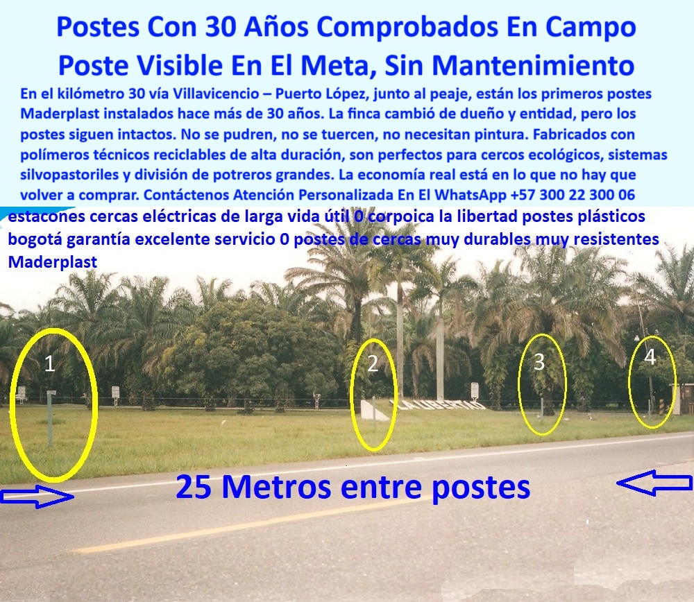 Cercas Perimetrales Postes De Linderos Medianeros Poste Límites Viales Maderplast 0 postes plásticos para cercos de ganado en zonas ecológicas postes técnicos para sistemas silvopastoriles poste plástico división potrero grande Esta imagen muestra una línea de postes Maderplast instalados hace más de 30 años sobre la vía Villavicencio–Puerto López, claramente visibles al borde de la carretera, marcados con separación de 25 metros entre cada uno, el escenario demuestra su resistencia estructural y su durabilidad a largo plazo sin pintura ni mantenimiento, los postes siguen derechos, firmes y sin oxidación a pesar del clima tropical, fueron instalados para dividir una finca de palma con enfoque en sostenibilidad, el sistema técnico con postes reciclables es ideal para proyectos silvopastoriles y cerramientos rurales ecológicos, su durabilidad comprobada en campo elimina la necesidad de reposiciones frecuentes, son fáciles de instalar, estéticamente neutros y perfectos para zonas visibles desde vía pública, es la prueba viva de que Maderplast ofrece más que promesas, ofrece resultados reales, durables y rentables para el agro colombiano. A CONTINUACIÓN UN LISTADO COMPLETO CON OTROS PRODUCTO SIMILARES DE MADERPLAST:, - separación real de 25 metros entre postes, - poste plástico técnico con separación de 25 metros, - ¿Qué postes duran más de 30 años en finca?, - sistema de potrero sostenible sin reemplazo periódico, - poste-visible-en-carretera, - división-potrero-grande, - línea de cerca paralela a carretera en zona rural, - diseño técnico de poste para potrero de palma, - soluciones reales de cercado sin óxido ni humedad, - tecnología colombiana para cercas ganaderas durables, - poste-maderplast-30-años-meta-cerca-vial-reciclado-ecológico.jpg, - postes duraderos visibles desde autopista en el Meta, - postes con más de 30 años de duración comprobada, - postes con garantía estructural comprobada, - poste-sin-mantenimiento, - mejores postres de larga vida para cercas rurales, - poste de cerramiento validado en campo por décadas, - ¿Qué postes siguen firmes después de décadas?, - sistema de cerramiento sin reposición por décadas, - postes plásticos que no se tuercen ni se parten, - cierre rural duradero con postes plásticos reciclables, - ¿Qué postes sirven para dividir potreros grandes sin dañarse?, - poste-plástico-silvopastoril, - alternativa ecológica a postes de concreto y madera, - postes para ganado resistentes con uso comprobado, - sistema de división de potreros grandes sin desgaste, - postes-maderplast-meta, - postes ideales para ganadería y agricultura tropical, - Esta imagen muestra una línea de postes Maderplast instalados hace más de 30 años sobre la vía Villavicencio–Puerto López, claramente visibles al borde de la carretera, marcados con separación de 25 metros entre cada uno, el escenario demuestra su resistencia estructural y su durabilidad a largo plazo sin pintura ni mantenimiento, los postes siguen derechos, firmes y sin oxidación a pesar del clima tropical, fueron instalados para dividir una finca de palma con enfoque en sostenibilidad, el sistema técnico con postes reciclables es ideal para proyectos silvopastoriles y cerramientos rurales ecológicos, su durabilidad comprobada en campo elimina la necesidad de reposiciones frecuentes, son fáciles de instalar, estéticamente neutros y perfectos para zonas visibles desde vía pública, es la prueba viva de que Maderplast ofrece más que promesas, ofrece resultados reales, durables y rentables para el agro colombiano. A CONTINUACIÓN UN LISTADO COMPLETO CON OTROS PRODUCTO SIMILARES DE MADERPLAST:, - división de potrero sin pintura ni refuerzos, - ¿Cuáles postes están instalados en la vía Villavicencio Puerto López?, - qué tipo de poste sobrevive 30 años sin mantenimiento, - evidencia de postes alineados tras 30 años de uso, - señalización visual de postes instalados sin mantenimiento, - cerca ecológica con postes reciclables de alta durabilidad, - poste-plástico-reciclado, - cerca recta de cuatro postes con distancia 25 metros, - postes reciclados con separación de 25 metros, - postes plásticos para zonas tropicales sin mantenimiento, - Maderplast cerca vial en funcionamiento 30 años, - postes-con-30-años, - postes firmes con alambre sin tensión caída ni curvatura, - poste delimitador en pradera tropical con palmeras de fondo, - poste ecológico para uso agrícola o ganadero, - ¿Dónde hay postes de cercas que no se oxiden?, - postes de largo alcance para silvopastoreo, - postes verdes de plástico firmes junto a vía pública, - poste-de-larga-duración, - cerca-vial-meta, - postes plásticos alineados visibles desde carretera rural, - postes sin mantenimiento instalados desde hace 30 años, - cercas sostenibles con validación de campo real, - postes marcados numéricamente para mostrar separación real, - poste ecológico para cercas visibles desde carretera, - cercado con postes visibles desde la vía pública, - poste-para-ganado-ecológico, - postes visibles junto a autopista en finca tropical 0 Cercas Perimetrales Postes De Linderos Medianeros Poste Límites Viales Maderplast 0 postes plásticos para cercos de ganado en zonas ecológicas, - postes técnicos para sistemas silvopastoriles, - poste plástico división potrero grande,