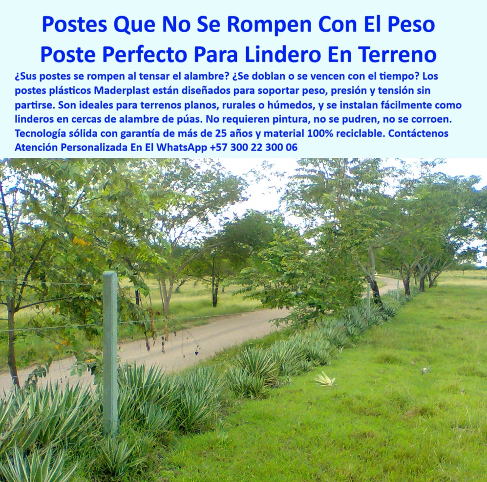 Cercas Perimetrales Postes De Linderos Medianeros Poste Límites Viales Maderplast 0 postes plásticos para terrenos planos rurales guía para instalar alambre de púas Existen postes plásticos que no se rompan con peso Linderos  Esta imagen muestra un poste plástico reciclado Maderplast instalado en un lindero de finca rural, en terreno plano y húmedo, funcionando como soporte firme para cercado con alambre de púas, el poste permanece recto, sin grietas ni deformaciones por peso o tensión del alambre, su color original se mantiene sin pintura, no hay óxido ni desgaste a pesar del clima y vegetación, el sistema garantiza separación clara de terrenos sin necesidad de concreto ni mantenimiento, ideal para propiedades rurales, caminos internos, bordes de cultivo o senderos ganaderos, permite un cerramiento ecológico y sostenible, fácil de instalar sin maquinaria, este tipo de poste reemplaza la madera y el hierro con mayor durabilidad, más de 25 años sin fallas ni reemplazos, la línea se mantiene firme, lo que demuestra precisión y resistencia estructural, el material reciclado es sólido, inmune a termitas y humedad, una solución técnica y rentable para delimitar con responsabilidad. A CONTINUACIÓN UN LISTADO COMPLETO CON OTROS PRODUCTO SIMILARES DE MADERPLAST:, - poste plástico para caminos rurales ecológicos, - ¿Qué poste sirve para delimitar terrenos sin mantenimiento?, - sistema de cercado sin reemplazos por 25 años, - poste reciclado para alambre de púas en zonas rurales, - postes para terrenos sin maquinaria pesada, - poste-para-cercas-duraderas, - postes plásticos que no se rompen con tensión de alambre, - poste-maderplast-linderos, - poste ecológico que no se vence con el tiempo, - postes para linderos que no necesitan pintura, - poste sin pintura ideal para terrenos planos, - ¿Cómo poner alambre de púas en postes reciclados?, - cercas ecológicas con postes duraderos sin mantenimiento, - poste sin fracturas en terreno agrícola plano, - poste-alambre-púas, - instalación de cercas con postes reciclados duraderos, - poste-ecológico-verde, - postes para zonas con lluvia y clima tropical, - Esta imagen muestra un poste plástico reciclado Maderplast instalado en un lindero de finca rural, en terreno plano y húmedo, funcionando como soporte firme para cercado con alambre de púas, el poste permanece recto, sin grietas ni deformaciones por peso o tensión del alambre, su color original se mantiene sin pintura, no hay óxido ni desgaste a pesar del clima y vegetación, el sistema garantiza separación clara de terrenos sin necesidad de concreto ni mantenimiento, ideal para propiedades rurales, caminos internos, bordes de cultivo o senderos ganaderos, permite un cerramiento ecológico y sostenible, fácil de instalar sin maquinaria, este tipo de poste reemplaza la madera y el hierro con mayor durabilidad, más de 25 años sin fallas ni reemplazos, la línea se mantiene firme, lo que demuestra precisión y resistencia estructural, el material reciclado es sólido, inmune a termitas y humedad, una solución técnica y rentable para delimitar con responsabilidad. A CONTINUACIÓN UN LISTADO COMPLETO CON OTROS PRODUCTO SIMILARES DE MADERPLAST:, - poste-plástico-linderos, - poste-para-camino-rural, - estacones plásticos para guía de alambre rural, - delimitación con postes de plástico reforzado, - cercas con postes que no se aflojan ni se doblan, - poste sin pintura ni corrosión en suelo húmedo, - poste para alambre tensado sin grietas ni fracturas, - cercas-perimetrales-rurales, - postes para delimitar terrenos sin concreto, - poste Maderplast delimitando lindero ecológico, - poste liviano y fuerte para división de propiedades, - poste verde soportando alambrado recto, - guía para instalar alambre en postes plásticos, - poste-para-delimitar-fincas, - línea de postes resistentes entre vegetación, - poste firme soportando alambre de púas tenso, - cerca rural usando estacones reciclados, - postes para linderos rurales sin oxidación ni pudrición, - ¿Qué poste usar para linderos en terreno rural?, - postes ecológicos duraderos para propiedad rural, - ¿Cuál es el poste que no se rompe al tensar alambre?, - poste vertical en finca verde sin óxido visible, - poste sin corrosión para zonas húmedas y llanas, - postes plásticos que no se vencen con los años, - poste-plástico-lindero-rural-cerca-alambre-puas-maderplast.jpg, - poste verde resistente ideal para cercas perimetrales, - poste plástico resistente al peso en terrenos planos, - poste plástico delimitando camino rural sin deterioro, - postes Maderplast resistentes a peso y presión, - mejores postes para cercas de alambre sin óxido, - alternativas al concreto para cerrar fincas, - ¿Hay postes plásticos para cercas en fincas?, - cómo dividir fincas sin postes de madera ni hierro, - recomendaciones de postes plásticos para linderos agrícolas, - cercas de larga duración sin mantenimiento, - postes reciclables para límites ecológicos, - poste-sin-mantenimiento, - poste-reciclado-resistente 0 Cercas Perimetrales Postes De Linderos Medianeros Poste Límites Viales Maderplast 0 postes plásticos para terrenos planos rurales, - guía para instalar alambre de púas, - Existen postes plásticos que no se rompan con peso, Linderos   
