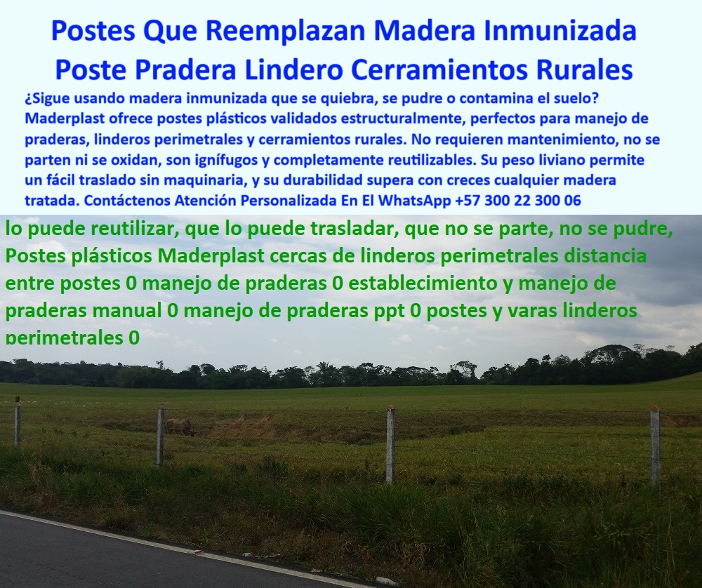 Cercas Perimetrales Postes De Linderos Medianeros Poste Límites Viales Maderplast 0 postes reciclados para reemplazar madera inmunizada soluciones rurales con validación carga estructural Cerramiento ignífugo con poste plástico Esta imagen muestra una línea de postes plásticos Maderplast instalados como lindero rural sobre pasturas planas junto a una vía secundaria, el sistema permite separar propiedades sin concreto ni madera inmunizada, los postes visibles en la imagen mantienen su forma recta, color original y firmeza estructural a pesar del clima y los años, no requieren pintura ni mantenimiento, soportan la tensión del alambre sin rajarse, no absorben humedad ni se oxidan, estos postes reciclados reemplazan la madera sin químicos, permitiendo un cerramiento sostenible, el diseño es técnico, validado para carga y torsión, ideal para cercas perimetrales en fincas o sistemas de pastoreo, su peso liviano facilita el transporte e instalación sin maquinaria pesada, el sistema ofrece economía a largo plazo y cero reposiciones por décadas, representa una solución moderna, ecológica y confiable.  A CONTINUACIÓN UN LISTADO COMPLETO CON OTROS PRODUCTO SIMILARES DE MADERPLAST:, - cerramientos con validación estructural en plástico reciclado, - tecnología de postes ecológicos para linderos, - cerca de bajo mantenimiento con poste plástico, - postes reciclados que reemplazan madera inmunizada, - poste sin desgaste tras años de instalación, - poste-sin-mantenimiento, - poste-plástico-validado, - cerca ecológica en pradera abierta con postes plásticos, - postes plásticos que no contaminan el suelo, - poste Maderplast resistente al paso del tiempo, - Esta imagen muestra una línea de postes plásticos Maderplast instalados como lindero rural sobre pasturas planas junto a una vía secundaria, el sistema permite separar propiedades sin concreto ni madera inmunizada, los postes visibles en la imagen mantienen su forma recta, color original y firmeza estructural a pesar del clima y los años, no requieren pintura ni mantenimiento, soportan la tensión del alambre sin rajarse, no absorben humedad ni se oxidan, estos postes reciclados reemplazan la madera sin químicos, permitiendo un cerramiento sostenible, el diseño es técnico, validado para carga y torsión, ideal para cercas perimetrales en fincas o sistemas de pastoreo, su peso liviano facilita el transporte e instalación sin maquinaria pesada, el sistema ofrece economía a largo plazo y cero reposiciones por décadas, representa una solución moderna, ecológica y confiable.  A CONTINUACIÓN UN LISTADO COMPLETO CON OTROS PRODUCTO SIMILARES DE MADERPLAST:, - sistema de lindero sin madera ni químicos, - postes de colores naturales sin pintura, - poste-plástico-cerramientos, - poste técnico para cerramiento rural perimetral, - cerramiento rural con poste ignífugo sin mantenimiento, - poste ligero que soporta cargas estructurales, - poste plástico validado estructuralmente para linderos, - postes para linderos fáciles de instalar sin talar, - poste que reemplaza postes tratados con arsénico, - poste-para-lindero-perimetral, - poste plástico visible junto a vía rural, - mejores postes reciclables para reemplazar madera tratada, - postes reutilizables sin maquinaria pesada, - poste plástico limpio con separación uniforme, - poste ecológico para cercas perimetrales duraderas, - ¿Qué poste puedo reutilizar sin mantenimiento?, - poste reciclado con resistencia verificada, - cerramientos rurales con poste Maderplast certificado, - poste para potreros sin necesidad de recubrimientos, - poste vertical sin grietas soportando tensión lineal, - ¿Cuál es el mejor poste plástico para cerramiento rural?, - cercado perimetral con poste Maderplast recto, - poste plástico sólido que no se agrieta, - poste-plástico-carga-estructural, - poste plástico delimitando lindero rural sin pintura, - poste-reciclado-rural, - ¿Qué poste es mejor que el concreto y la madera?, - poste-reutilizable-sin-pintura, - alternativas plásticas seguras para linderos de finca, - poste-reciclado-para-lindero, - poste gris firme entre pasturas sin oxidación, - poste-plástico-lindero-rural-reemplazo-madera-inmunizada-maderplast.jpg, - postes certificados que superan pruebas de carga, - cercado ganadero sin químicos con postes Maderplast, - cerca perimetral sin tratamientos químicos, - poste reciclado delimitando terreno agrícola plano, - ¿Dónde comprar postes reciclados para linderos de finca?, - cerramientos rurales resistentes a sol y agua, - ¿Qué poste reemplaza la madera inmunizada para cercas?, - postes para cerca ecológica de larga duración, - soluciones rurales para manejo de praderas sin madera, - poste de finca que no se parte ni se oxida, - soluciones para cercas rurales sin mantenimiento, - poste-ignífugo-maderplast, - poste reutilizable visible en borde de finca, - poste-ecológico-para-finca 0 Cercas Perimetrales Postes De Linderos Medianeros Poste Límites Viales Maderplast 0 postes reciclados para reemplazar madera inmunizada, - soluciones rurales con validación carga estructural, - Cerramiento ignífugo con poste plástico