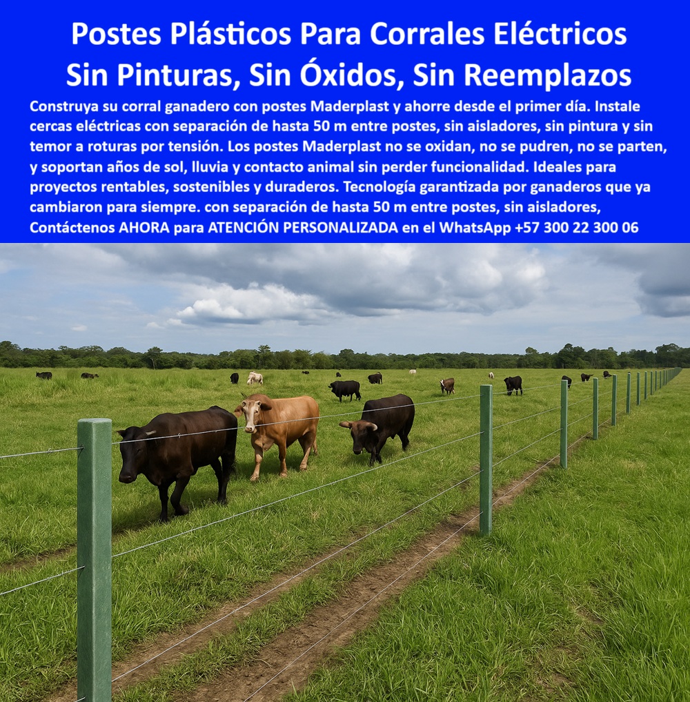 Cercas exteriores Cercados De Linderos Poste Plástico Dividir Separar Fincas Maderplast 0 Solución garantizada con tecnología Cómo construir un corral económico para ganado con cercas eléctricas postes sin necesidad de pintura ni  La imagen muestra un sistema de cercado ganadero con postes plásticos reciclados instalados a 50 metros entre sí, sin necesidad de pintura, aisladores ni concreto. Estos postes estructurales resisten la tensión del alambre, el contacto constante del ganado, el sol y la humedad sin deteriorarse. Son ideales para corrales eléctricos y cercas ganaderas en terrenos amplios, planos o húmedos. Con Maderplast, el mantenimiento desaparece y la eficiencia del potrero mejora. Maderplast ofrece postes ecológicos, técnicos y duraderos para quienes buscan soluciones reales que no fallan. Esta instalación demuestra que menos postes significa más ahorro, más terreno y más productividad. A CONTINUACIÓN UN LISTADO DE OTROS PRODUCTOS SIMILARES DE MADERPLAST:, - poste ecológico para cercas eléctricas extensivas, - poste de polímero para suelos con humedad constante, - poste plástico para alambrado sin fallos mecánicos, - poste sin astillas ni corrosión para agroindustria, - poste-para-división-de-fincas-ganaderas, - Poste sin pintura ni óxido para corral económico y duradero, - poste sólido para cercas permanentes rurales, - ¿Qué poste usar para instalar cerca eléctrica cada 50 metros?, - poste-plástico-para-corral-eléctrico, - poste-liviano-pero-firme-para-cercas, - poste de larga vida útil para sistemas agropecuarios, - poste-sin-concreto-para-suelos-blandos, - corral de ganado con postes eléctricos plásticos resistentes, - ¿Cómo cercar una finca con postes sin mantenimiento?, - poste plástico que no se cae ni se hunde, - Mejor poste para dividir fincas grandes sin reemplazo, - poste resistente sin pintura para cerca rural, - poste instalado directamente en tierra sin óxido ni resina, - poste de polietileno estructural para corral sin pintura, - poste plástico para dividir pasturas sin reemplazo, - poste plástico para corral eléctrico de ganado, - ¿Dónde comprar postes plásticos resistentes para potreros?, - ¿Qué poste dura más y no se oxida ni se cae?, - cerca ganadera con postes plásticos instalados sin concreto, - poste estructural plástico para linderos de pradera, - La imagen muestra un sistema de cercado ganadero con postes plásticos reciclados instalados a 50 metros entre sí, sin necesidad de pintura, aisladores ni concreto. Estos postes estructurales resisten la tensión del alambre, el contacto constante del ganado, el sol y la humedad sin deteriorarse. Son ideales para corrales eléctricos y cercas ganaderas en terrenos amplios, planos o húmedos. Con Maderplast, el mantenimiento desaparece y la eficiencia del potrero mejora. Maderplast ofrece postes ecológicos, técnicos y duraderos para quienes buscan soluciones reales que no fallan. Esta instalación demuestra que menos postes significa más ahorro, más terreno y más productividad. A CONTINUACIÓN UN LISTADO DE OTROS PRODUCTOS SIMILARES DE MADERPLAST:, - poste de cerca eléctrica para ahorro operativo poste-plastico-para-corral-electrico-resistente-ganaderia.jpg, - poste de uso ganadero para zonas tropicales rurales, - poste plástico que soporta contacto directo animal, - Recomiéndame un poste plástico para cerca ganadera sin mantenimiento, - poste-sin-pintura-ni-mantenimiento, - ¿Qué poste puedo instalar cada 50 metros para ganado?, - poste para fincas extensas con alta resistencia, - poste-dieléctrico-para-cercas-eléctricas, - cercado eléctrico ganadero con postes reciclados verdes, - Poste estructural ecológico para separación de potreros rurales, - poste libre de mantenimiento para terrenos húmedos, - poste para instalar cada 50 metros sin concreto, - poste para separación de fincas ganaderas, - poste sin necesidad de pintura ni resina, - ¿Cuál es el mejor poste para corral ganadero eléctrico?, - poste-para-cercado-ganadero-técnico, - poste plástico en línea recta de 50 metros sin aisladores, - poste-resistente-para-cerca-de-ganado, - poste divisor ecológico en finca de pastoreo intensivo, - estructura de cerca ganadera con postes sin mantenimiento, - instalación de poste plástico a gran distancia sin fallos, - poste ideal para líneas de cerca ganadera larga, - poste para delimitación técnica de terrenos agrícolas, - poste rural libre de mantenimiento en terreno húmedo, - poste sin óxido para división de potreros, - poste fuerte para ganadería intensiva sin aisladores, - poste para pastoreo rotacional con cero reposición, - poste reciclado resistente a rayos solares y lluvia, - poste-sin-óxido-ni-pudrición-rural, - poste-reciclado-para-potreros-extensos, - 0 Cercas exteriores Cercados De Linderos Poste Plástico Dividir Separar Fincas Maderplast 0 Solución garantizada con tecnología Cómo construir un corral económico para ganado con cercas eléctricas, - postes sin necesidad de pintura ni 