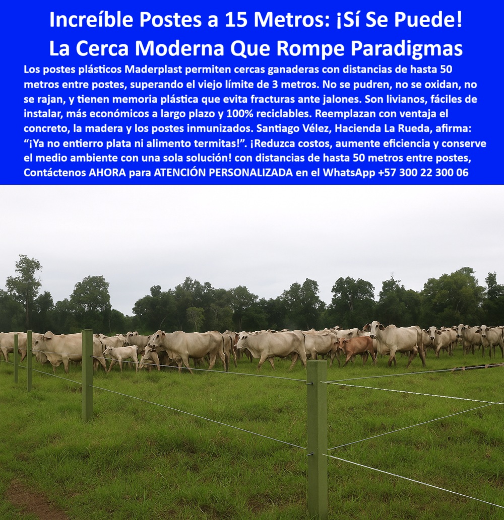 Cercas exteriores Cercados De Linderos Poste Plástico Dividir Separar Fincas Maderplast 0 estacón para Linderos tecnificados cercas con postes que no se quiebran Linderos 00 Cercas exteriores Cercados De Linderos Poste Plástico Dividir Separar Fincas Maderplast Esta imagen muestra una solución moderna para cercas ganaderas extensivas, con postes plásticos instalados cada 15 metros sin necesidad de concreto, pintura ni aisladores. Su tecnología con memoria plástica permite absorber jalones e impactos sin fracturarse ni perder alineación. Son ideales para potreros en pastoreo rotacional, linderos tecnificados y praderas automatizadas. Este sistema ahorra en mano de obra, materiales y tiempo de instalación, al mismo tiempo que resiste humedad, sol, fuego y uso intensivo. Perfectos para ganaderos que buscan eficiencia, sostenibilidad y cero mantenimiento. La solución técnica que convierte cada cerca en una inversión de largo plazo. Dos veces más eficientes, dos veces más resistentes. Diseñados para durar más de 25 años sin fallar. Maderplast es la opción inteligente para el campo productivo de Colombia.  A CONTINUACIÓN UN LISTADO DE SOLUCIONES CON OTROS PRODUCTOS SIMILARES DE MADERPLAST:, - potrero abierto con sistema de cercado moderno y ecológico, - poste con soporte estructural en zonas rurales extensas, - poste-plástico-para-pastoreo-intensivo, - ¿Cuál es el mejor poste para dividir potreros sin concreto?, - poste-para-linderos-de-pastos-altos, - poste para sistemas de producción bovina a gran escala, - ¿Cómo hacer divisiones de potreros duraderas y ecológicas?, - ¿Dónde consigo postes plásticos para ganado intensivo?, - campo agrícola con postes sin aisladores ni concreto, - poste de polietileno estructural para ganado intensivo, - poste para linderos en fincas de rotación intensiva, - Esta imagen muestra una solución moderna para cercas ganaderas extensivas, con postes plásticos instalados cada 15 metros sin necesidad de concreto, pintura ni aisladores. Su tecnología con memoria plástica permite absorber jalones e impactos sin fracturarse ni perder alineación. Son ideales para potreros en pastoreo rotacional, linderos tecnificados y praderas automatizadas. Este sistema ahorra en mano de obra, materiales y tiempo de instalación, al mismo tiempo que resiste humedad, sol, fuego y uso intensivo. Perfectos para ganaderos que buscan eficiencia, sostenibilidad y cero mantenimiento. La solución técnica que convierte cada cerca en una inversión de largo plazo. Dos veces más eficientes, dos veces más resistentes. Diseñados para durar más de 25 años sin fallar. Maderplast es la opción inteligente para el campo productivo de Colombia.  A CONTINUACIÓN UN LISTADO DE SOLUCIONES CON OTROS PRODUCTOS SIMILARES DE MADERPLAST:, - poste-dieléctrico-para-cerca-eléctrica, - estructura rural resistente con postes reciclados, - ganado brahman entre cercas con postes plásticos sólidos, - poste reciclado para cercas ganaderas en suelos blandos, - poste técnico para ahorro de insumos y tiempo, - poste resistente al fuego para cerramientos rurales, - poste para separar potreros en ganadería sostenible, - poste sin concreto para pastoreo rotacional eficiente, - poste plástico liviano sin oxidación ni pintura, - Poste que no se oxida ni se parte para cercas rurales modernas, - poste plástico para cercas eléctricas sin mantenimiento, - división tecnificada con postes reciclados y alambres tensados, - poste plástico sólido para cercado sin mantenimiento, - sistema de cercado ganadero extensivo sin mantenimiento, - poste ecológico para división tecnificada de terrenos, - ¿Qué cerca me sirve para pastoreo rotacional sin mantenimiento?, - poste sin pintura para climas tropicales extremos, - poste-tecnificado-para-cercado-eficiente, - poste-liviano-para-división-de-fincas, - poste-sin-concreto-para-cercas-ganaderas, - poste estructural para delimitación agropecuaria, - poste para cercas de más de 15 metros entre apoyos, - poste liviano con memoria plástica de alta tensión, - poste-plastico-para-cercas-ganaderas-a-15-metros-sin-concreto.jpg, - poste agrícola para división de parcelas permanentes, - poste-para-rotación-de-potreros-sostenible, - poste-para-cercas-sin-mantenimiento, - poste para instalación rápida sin herramientas pesadas, - poste plástico para robotización de praderas ganaderas, - poste plástico verde en potrero con vacas blancas alineadas, - poste duradero para praderas automatizadas, - ¿Qué poste aguanta 15 o 25 metros sin rajarse?, - Mejor poste ecológico para delimitar potreros de rotación, - poste que evita fracturas por jalones del ganado, - poste plástico resistente para división de potreros, - poste cuadrado para delimitación agropecuaria eficiente, - ¿Qué poste sirve para cercas de alambre sin aislador ni pintura?, - Dame opciones de postes plásticos para dividir potreros tecnificados, - poste-reciclado-para-ganadería-extensiva, - poste para campos de engorde sin sustituciones, - cerca ganadera sin concreto a 15 metros entre postes, - Poste recomendado para ganadería intensiva sin reposición, - poste dieléctrico para alambre de púas sin aislador, - poste-plástico-para-cercas-de-15-metros, - poste ganadero que no se oxida ni se raja 0 estacón para Linderos tecnificados, - cercas con postes que no se quiebran Linderos, - 00