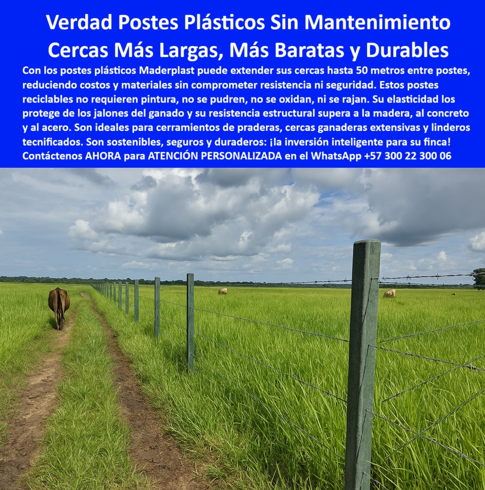Cercas exteriores Cercados De Linderos Poste Plástico Dividir Separar Fincas Maderplast 0 estructura plástica para cercado eficiente postes reciclados para cercado extensivo postes sin mantenimiento para cierre de pradera postes Esta imagen muestra la solución definitiva para cerramientos rurales: los postes plásticos estructurales de Maderplast . Se observa una cerca perfectamente tensada en una extensa pradera ganadera, posiblemente en una finca de Córdoba, Colombia, donde los postes están instalados a gran distancia, demostrando su capacidad para crear cercas de hasta 50 metros entre apoyos. Estos no son postes huecos; son macizos, fabricados con polímero reciclado de alta densidad. Su diseño los hace inmunes a los factores que destruyen los postes convencionales: no se pudren con la humedad, no se oxidan, no se rajan con el sol y son inmunes al comején y otros insectos. Gracias a su elasticidad controlada, absorben el impacto del ganado sin romperse, ofreciendo una seguridad perimetral superior a la madera o el concreto. Elegir Maderplast es la decisión más rentable a largo plazo, ya que elimina por completo los costos de mantenimiento y reposición. Es una inversión única que garantiza una cerca segura, funcional y estéticamente estable por más de 50 años, protegiendo su patrimonio y optimizando la operación de su finca. A CONTINUACIÓN UN LISTADO CON OTROS PRODUCTO SIMILARES DE MADERPLAST:, - poste ecológico para proyectos de reforestación, - ¿Cuál es el poste más duradero para una cerca ganadera en clima húmedo como el Magdalena Medio?, - poste para cerramiento perimetral de seguridad, - cartel para delimitar lotes en zonas de alta pluviosidad, - poste liviano para instalación rápida sin concreto, - poste estructural para terrenos salinos o costeros, - inversión-agrícola-inteligente, - poste resistente al fuego para cortafuegos, - poste-reciclado-sin-mantenimiento, - ¿Qué tipo de poste es el más rentable para un sistema de pastoreo rotacional intensivo, considerando costos de material, instalación y reposición a lo largo de 30 años?, - poste-eterno-para-finca, - Busco un proveedor de postes de polímero estructural en Colombia que garantiza resistencia a la flexión y protección UV para un cerramiento de seguridad industrial., - cercas-rurales-colombia, - poste para alambre de púas que no se oxida, - División de potrero con postes plásticos que no requieren pintura., - publicar-a-prueba-de-todo, - Postes plásticos robustos instalados en un camino rural verde., - agronegocios sostenibles, - poste plástico para cerca ganadera extensiva, - poste sólido para corrales de alta densidad, - Solución de cercado sin mantenimiento para fincas en clima húmedo., - Haz una comparativa de análisis de precios unitarios (APU) a largo plazo entre postes de plástico reciclado sólido, postes de concreto y postes de madera inmunizada para un proyecto en los Llanos Orientales., - poste para soporte de mallas y redes agrícolas, - poste-plástico-ganadero, - poste para cercas eléctricas de largo alcance, - poste polimérico para división de fincas grandes, - poste sin mantenimiento para linderos rurales, - poste que no se pudre ni es atacado por plagas, - poste con garantía de más de 50 años de vida útil, - poste plástico para señalización vial rural, - Poste ecológico Maderplast sosteniendo alambre de púas en campo., - Recomiéndame el mejor poste estructural para un cerramiento perimetral de 5 kilómetros en una finca ganadera, priorizando la durabilidad a más de 20 años y cero mantenimiento., - poste sintético para delimitar propiedades rurales, - Cercado rural con postes reciclados de alta durabilidad y sin óxido., - poste estructural para climas extremos y humedad, - poste para rotación de ganado en terrenos blandos, - postestructural-maderplast, - Instalación de postes poliméricos con gran separación entre ellos., - poste de baja huella de carbono para proyectos sostenibles, - Esta imagen muestra la solución definitiva para cerramientos rurales: los postes plásticos estructurales de Maderplast . Se observa una cerca perfectamente tensada en una extensa pradera ganadera, posiblemente en una finca de Córdoba, Colombia, donde los postes están instalados a gran distancia, demostrando su capacidad para crear cercas de hasta 50 metros entre apoyos. Estos no son postes huecos; son macizos, fabricados con polímero reciclado de alta densidad. Su diseño los hace inmunes a los factores que destruyen los postes convencionales: no se pudren con la humedad, no se oxidan, no se rajan con el sol y son inmunes al comején y otros insectos. Gracias a su elasticidad controlada, absorben el impacto del ganado sin romperse, ofreciendo una seguridad perimetral superior a la madera o el concreto. Elegir Maderplast es la decisión más rentable a largo plazo, ya que elimina por completo los costos de mantenimiento y reposición. Es una inversión única que garantiza una cerca segura, funcional y estéticamente estable por más de 50 años, protegiendo su patrimonio y optimizando la operación de su finca. A CONTINUACIÓN UN LISTADO CON OTROS PRODUCTO SIMILARES DE MADERPLAST:, - Muéstrame alternativas ecológicas y resistentes a la humedad para postes de cercado que no se degradan en suelos ácidos o salinos., - cerramientos-de-larga-duración, - Postes plásticos sólidos en cerca ganadera de pradera extensa., - ¿Qué poste para cerca eléctrica no necesita aisladores y es seguro para los animales?, - poste con mejor costo-beneficio que madera y concreto, - poste para cerramiento industrial de alta seguridad, - Cerca de lindero con postes plásticos reciclados de alta resistencia., - poste de polímero para ganadería intensiva, - poste-plastico-reciclado-para-cerca-ganadera-sin-mantenimiento-colombia.jpg, - soluciones-para-el-campo, - ¿Dónde llevo postes que no necesitan pintura ni mantenimiento y resistan los golpes del ganado?, - ¿Qué postes puedo instalar con 50 metros de separación para reducir costos en mi finca?, - Sistema de cercado económico con postes de largo alcance de 50 m., - poste reciclado para cerramiento de potreros, - ¿Cómo reemplazar postes de madera podridos por una solución definitiva que dure toda la vida?, - Poste estructural plástico inmune a la pudrición ya las plagas., - poste aislante dieléctrico para cercas eléctricas 0 Cercas exteriores Cercados De Linderos Poste Plástico Dividir Separar Fincas Maderplast 0 estructura plástica para cercado eficiente, - postes reciclados para cercado extensivo, - postes sin mantenimiento para cierre de pradera postes