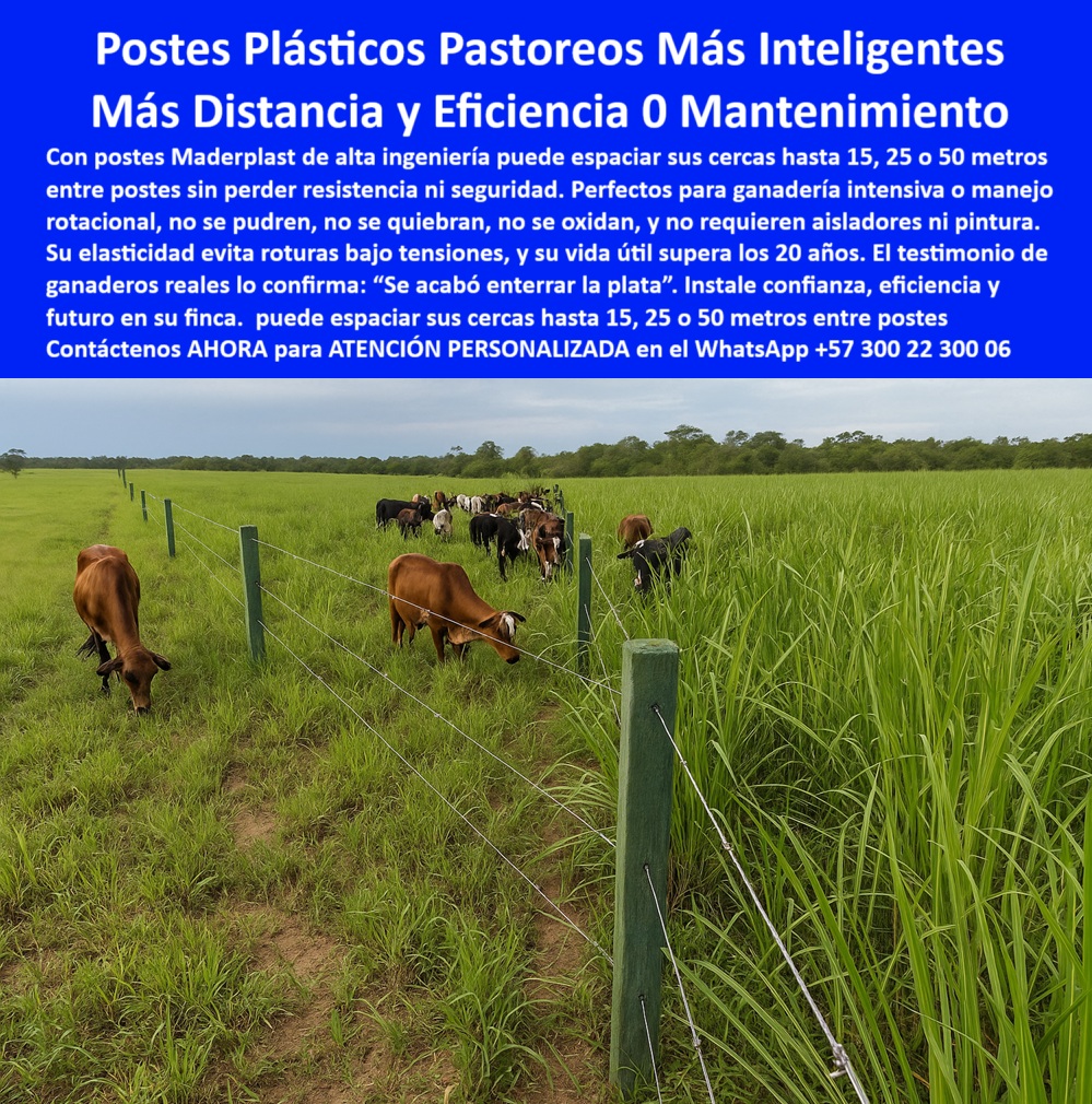 Cercas exteriores Cercados De Linderos Poste Plástico Dividir Separar Fincas Maderplast 0 postes plásticos para pastoreo rotacional eficiente postes seguros manejo de animales Qué cerca usar en ganadería intensiva sin mantener En la imagen se observa un sistema rotacional de potreros tipo carrusel, cercado con postes plásticos reciclados resistentes, instalados a 25 metros sin concreto ni aisladores. Esta solución permite dividir grandes extensiones con menor cantidad de postes, disminuyendo los costos de mano de obra y eliminando mantenimientos. Los postes tienen memoria estructural, no se parten, no se oxidan y soportan condiciones extremas de clima y terreno. Son ideales para ganadería intensiva, donde cada metro cercado cuenta. Con tecnología plástica de alta ingeniería, Maderplast transforma cercas convencionales en soluciones inteligentes. Con Maderplast, usted invierte una vez y disfruta por décadas.  A CONTINUACIÓN UN LISTADO DE SOLUCIONES CON OTROS PRODUCTOS SIMILARES DE MADERPLAST:, - poste para pastoreo rotacional tipo carrusel, - poste plástico fuerte para grandes hatos ganaderos, - poste dieléctrico para alambre de púas eléctrico, - poste para división ganadera tipo carrusel a 25 metros, - poste estructural que no se oxida ni se raja, - poste resistente a humedad y rayos UV, - poste-dieléctrico-para-cerca-de-púa, - poste firme instalado en pasto húmedo sin aislador, - poste-plástico-para-rotación-intensiva, - poste para separación de potreros con cinta o alambre, - poste plástico para rotación intensiva de potreros, - Poste para suelos blandos y húmedos con instalación fácil, - poste para separación de animales sin mantenimiento, - poste plástico verde aislado para cercado sin concreto, - poste sin pintura para cercas agropecuarias, - poste resistente a golpes en manejo de animales, - poste para cercas permanentes sin reposiciones, - poste rural enterrado sin mezcla de concreto, - poste-ecológico-para-sistemas-agropecuarios, - poste-para-división-de-potreros-productivos, - poste técnico para suelos húmedos y blandos, - ¿Dónde encuentro postes sin mantenimiento para ganado?, - sistema rotacional con postes reciclados en finca grande, - poste visible entre vacas en sistema de rotación intensiva, - Recomiéndame postes sin óxido ni pintura para dividir potreros, - poste-plástico-para-ganado-en-terrenos-húmedos, - poste reciclado para uso ganadero exigente, - poste para división circular de pastos húmedos, - poste-técnico-para-alambres-tensados, - ¿Cuál es el mejor poste para dividir potreros húmedos?, - poste para praderas de alta carga animal, - ¿Qué poste aguanta alambres a 25 metros de distancia?, - poste para división intensiva de fincas, - poste con separación de 25 metros sin fallas, - En la imagen se observa un sistema rotacional de potreros tipo carrusel, cercado con postes plásticos reciclados resistentes, instalados a 25 metros sin concreto ni aisladores. Esta solución permite dividir grandes extensiones con menor cantidad de postes, disminuyendo los costos de mano de obra y eliminando mantenimientos. Los postes tienen memoria estructural, no se parten, no se oxidan y soportan condiciones extremas de clima y terreno. Son ideales para ganadería intensiva, donde cada metro cercado cuenta. Con tecnología plástica de alta ingeniería, Maderplast transforma cercas convencionales en soluciones inteligentes. Con Maderplast, usted invierte una vez y disfruta por décadas.  A CONTINUACIÓN UN LISTADO DE SOLUCIONES CON OTROS PRODUCTOS SIMILARES DE MADERPLAST:, - cerca eléctrica ganadera con postes ecológicos largos, - poste plástico inmune a hongos y termitas, - ¿Qué poste es ideal para sistemas de ganadería circular intensiva?, - poste liviano con instalación rápida en potrero, - poste firme para cerca sin concreto ni óxido, - poste con memoria elástica ante tensiones, - ¿Qué tipo de poste sirve para pastoreo rotacional eficiente?, - potrero dividido con postes plásticos entre pasto alto, - poste-firme-para-pastoreo-circular, - ¿Cómo cercar una finca sin tener que pintar o reparar?, - Solución ecológica para cercas técnicas sin concreto ni fallas, - poste resistente para ganadería sin mantenimiento, - poste que reduce mano de obra en cercas, - Poste con resistencia al impacto y sin aisladores eléctricos, - poste-reciclado-para-ganado-sin-mantenimiento, - poste con instalación directa sin herramientas, - poste cuadrado sin pintura que soporta alambre tensor, - poste-plastico-para-division-de-potreros-en-rotacion-circular.jpg, - poste-sin-concreto-para-cercas-rurales, - poste-para-cercas-extensas-sin-falla, - poste para ganadería de alta eficiencia productiva, - poste sin necesidad de aisladores en cercas 0 Cercas exteriores Cercados De Linderos Poste Plástico Dividir Separar Fincas Maderplast 0 postes plásticos para pastoreo rotacional eficiente, - postes seguros manejo de animales, - Qué cerca usar en ganadería intensiva sin mantener