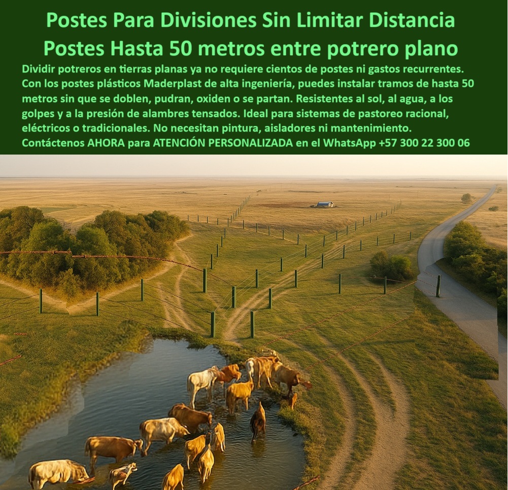 Cómo Dividir Potrero Para Ganado Con Cercas Eléctricas Postes Cercados Maderplast 0 poste plástico para tierras planas postes resistentes para terrenos planos Cuál es el poste más económico para cercas rurales La imagen muestra un potrero completamente plano dividido por una línea de postes plásticos Maderplast instalados a 50 metros entre sí. Esta disposición es posible gracias a la alta resistencia estructural, elasticidad y durabilidad de los postes Maderplast, que soportan tensión de alambres sin deformarse ni agrietarse. Ideales para sistemas de pastoreo racional, cercas eléctricas o tradicionales, estos postes no requieren pintura, aisladores ni mantenimiento. Su diseño permite ahorrar materiales, mano de obra y reducir la cantidad de postes necesarios por kilómetro, convirtiéndolos en una solución rentable y sustentable para terrenos despejados o llanuras extensas. Maderplast brinda la posibilidad de cercar más con menos, optimizando el uso de cada hectárea. Una inversión única para ganaderos modernos y visionarios. LISTADO DE OTROS PRODUCTOS MADERPLAST, - poste plástico para mega fincas y cercas industriales, - imagen aérea de potrero plano con cerca eficiente, - poste plástico con ahorro en mano de obra y materiales, - poste-plastico-50-metros, - ¿Qué poste puedo instalar cada 50 metros en potrero plano?, - poste plástico duradero para sabanas planas ganaderas, - línea de postes plásticos firmes en terreno despejado, - poste plástico para cercas de larga distancia rural, - poste plástico visible desde dron con alineación perfecta, - poste plástico sin pintura ni mantenimiento por décadas, - ¿Dónde comprar postes para grandes cercas rurales sin gasto?, - cerca ganadera extensiva con postes reciclados de alta ingeniería, - ganado pastando junto a estanque y cerca de largo alcance, - terreno agroganadero dividido con postes de 50 metros, - poste plástico para división rural eficiente y estética, - cerca recta de alambre sostenida por postes plásticos, - poste plástico compatible con alambre tensionado, - poste plástico ideal para praderas rectas y abiertas, -  Especificaciones de postes Maderplast Detalles técnicos de productos Maderplast: poste plástico que mantiene firmeza a gran separación, - poste-plástico-para-campos-abiertos, - La imagen muestra un potrero completamente plano dividido por una línea de postes plásticos Maderplast instalados a 50 metros entre sí. Esta disposición es posible gracias a la alta resistencia estructural, elasticidad y durabilidad de los postes Maderplast, que soportan tensión de alambres sin deformarse ni agrietarse. Ideales para sistemas de pastoreo racional, cercas eléctricas o tradicionales, estos postes no requieren pintura, aisladores ni mantenimiento. Su diseño permite ahorrar materiales, mano de obra y reducir la cantidad de postes necesarios por kilómetro, convirtiéndolos en una solución rentable y sustentable para terrenos despejados o llanuras extensas. Maderplast brinda la posibilidad de cercar más con menos, optimizando el uso de cada hectárea. Una inversión única para ganaderos modernos y visionarios. LISTADO DE OTROS PRODUCTOS SIMILARES DE  MADERPLAST: , - poste plástico que reduce costes por kilómetro lineal, - poste-plástico-sin-curvas-ni-deformación, - poste plástico económico con máximo alcance entre postes, - sabana ganadera delimitada con mínimo uso de materiales, - poste plástico para sistemas eléctricos sin aisladores, - poste-plástico-para-sabanas-ganaderas, - poste-plástico-para-tierras-planas, - poste plástico estructurado con tecnología de alto rendimiento, - ¿Qué poste puedo usar para ahorrar costes por hectárea?, - ¿Cuál poste aguanta tensión sin curvarse a larga distancia?, - poste plástico para terrenos despejados de ganadería intensiva, - Poste técnico que soporte tensión en largas distancias rurales., - poste plástico para lotes grandes con mínima intervención, - poste plástico que reduce costos de cercado rural, - ¿Qué poste plástico sirve para dividir sabanas planas?, - poste plástico resistente a tensión sin curvarse, - poste plástico que reemplaza madera inmunizada y concreto, - ¿Cuál es el poste más económico para potrero sin elevaciones?, - Poste plástico para cercas ganaderas en terrenos planos de 50 m., - Poste plástico recomendado para terrenos rectos y despejados., - potrero plano dividido con postes plásticos verdes a 50 m, - poste-plástico-cercas-largas, - poste-plastico-50-metros-cercas-ganaderas-tierras-planas.jpg, - Poste para dividir potrero plano con mínimo mantenimiento., - poste plástico para ganaderos que buscan productividad, - sistema de división de pastos planos con postes distantes, - poste-plástico-eficiencia-en-potreros, - poste plástico para división de potreros planos abiertos, - poste-plástico-pastoreo-racional, - postes plásticos rectos en terreno abierto sin inclinación, - poste plástico para instalación a 50 metros sin deformación, - poste plástico para pastoreo racional en terreno llano, - poste-plástico-cerca-eléctrica-técnica, - poste plástico para cercado técnico de bajo impacto, - poste plástico funcional en llanuras y caminos rurales, - poste-plastico-mínimo-mantenimiento Cómo Dividir Pot  Cómo Dividir Potrero Para Ganado Con Cercas Eléctricas Postes Cercados Maderplast 0 poste plástico para tierras planas, - postes-resistentes-para-terrenos-planos, - Cuál es el poste más económico para cercas rurales, Cómo Dividir Pot 