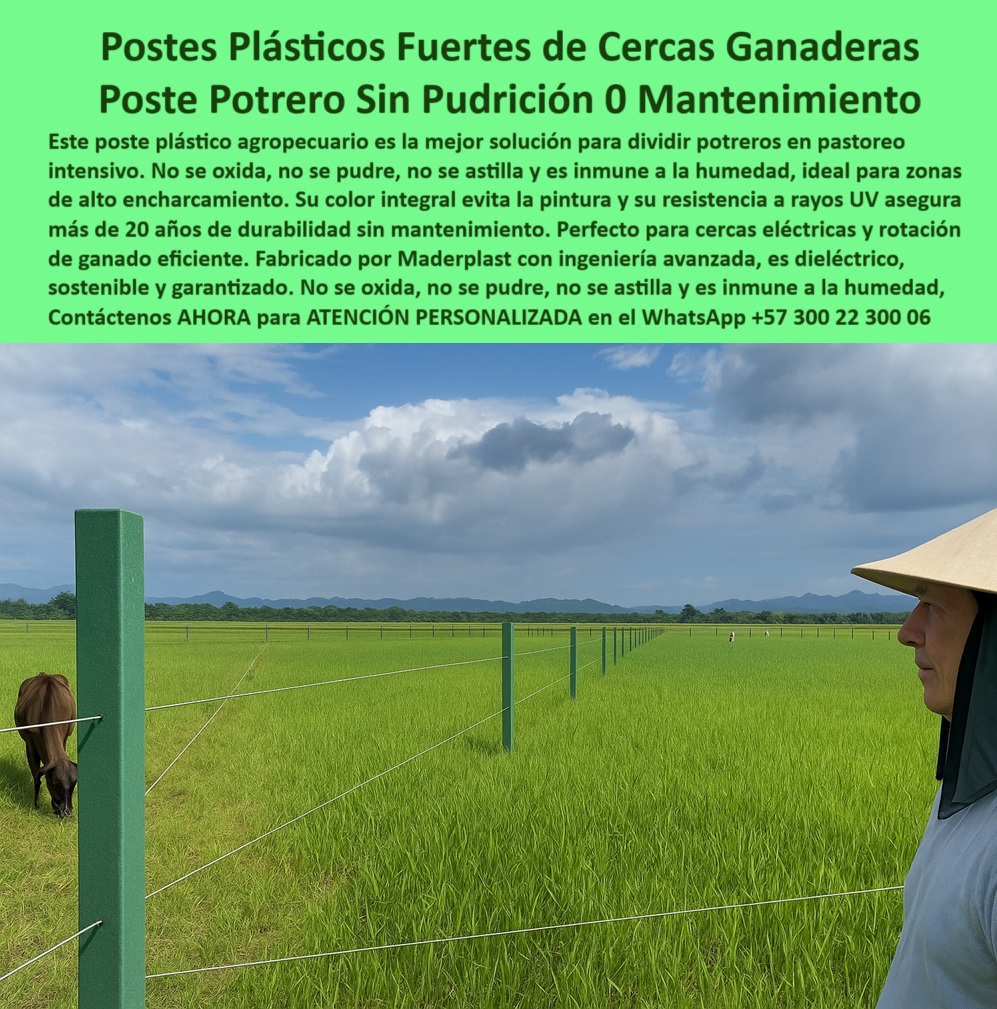 División profesional de cerca ganadera postes pastoreo postes ganaderos Maderplast 0 Cuáles son los mejores postes para cercas de potreros cerca eléctrica resistente encharcamiento poste plástico para uso agropecuario División  La imagen nos muestra un sistema moderno de división de potreros con postes plásticos alineados sobre un extenso campo de pastos verdes, se observa firmeza, alineación perfecta y uso sin aisladores, los postes están instalados a una distancia uniforme sobre terreno agrícola en Puerto Gaitán, Meta, donde la humedad es constante. Esta foto deja ver el uso inteligente de materiales reciclables, instalados sin concreto, sin pintura, ni mantenimiento. El sistema de cerca eléctrica con postes Maderplast demuestra cómo la tecnología plástica supera al cemento y la madera, resiste rayos UV, presión del ganado, humedad extrema y años sin deterioro. Maderplast fabrica estos postes sólidos, seguros, reciclados, con una durabilidad superior a 20 años. Esta imagen dice muy claramente que los postes Maderplast son ideales para ganadería intensiva y rotación de pastos, sin fallas, ni reposiciones. Se ven postes de polímero estructural que no se deforman, ni se astillan, adaptados a climas extremos, firmes, con tensión perfecta. Esta foto es de un proyecto real ejecutado por expertos menonitas y alemanes, que eligieron Maderplast por sus beneficios técnicos y económicos. Comprar a Maderplast es invertir una vez y disfrutar para siempre, sin preocupaciones, sin mantenimientos, y con la certeza de tener la cerca más rentable.  A CONTINUACIÓN UN LISTADO CON OTROS PRODUCTO SIMILARES DE MADERPLAST:, - Dame el mejor poste plástico para dividir potreros sin mantenimiento., - Quiero un poste resistente, ecológico y que no requiere pintura, ¿cuál es?, - poste agropecuario para zonas de encharcamiento severo, - Postes alineados a 25 metros sobre terreno rural nivelado, - poste agrícola fácil de instalar en terrenos llanos, - poste plástico para cercas en fincas ganaderas, - poste-ecológico-para-fincas, - poste agroganadero que no requiere aisladores, - poste económico para dividir potreros con eficiencia, - Sistema de cerca sin concreto ni madera ni tratamientos, - ¿Qué tipo de poste usar para dividir potreros sin que se pudra?, - Cerca ganadera con poste plástico sólido y alambre sin aislador, - poste resistente para rotación de pastos intensiva, - poste-agropecuario-para-división, - poste dieléctrico resistente a rayos UV, - poste-tecnificado-para-pastoreo, - poste reciclable ideal para proyectos de ganadería, - ¿Cuál es la mejor opción para cercas eléctricas en rotación intensiva de pastos?, - ¿Qué poste no se oxida ni se rompe con el tiempo en mi finca?, - poste-reciclado-de-larga-duración, - Postes instalados en zona agrícola con cielo parcialmente nublado, - poste plástico para dividir potreros sin mantenimiento, - poste-plástico-ganadero-sin-mantenimiento-potreros-intensivos-meta.jpg, - poste estructural plástico para cerca de ganado, - poste innovador para cerramientos agropecuarios, - poste de polímero sólido para suelos húmedos, - poste reciclado que no se pudre ni astilla, - poste ganadero inmune a humedad y plagas, - La imagen nos muestra un sistema moderno de división de potreros con postes plásticos alineados sobre un extenso campo de pastos verdes, se observa firmeza, alineación perfecta y uso sin aisladores, los postes están instalados a una distancia uniforme sobre terreno agrícola en Puerto Gaitán, Meta, donde la humedad es constante. Esta foto deja ver el uso inteligente de materiales reciclables, instalados sin concreto, sin pintura, ni mantenimiento. El sistema de cerca eléctrica con postes Maderplast demuestra cómo la tecnología plástica supera al cemento y la madera, resiste rayos UV, presión del ganado, humedad extrema y años sin deterioro. Maderplast fabrica estos postes sólidos, seguros, reciclados, con una durabilidad superior a 20 años. Esta imagen dice muy claramente que los postes Maderplast son ideales para ganadería intensiva y rotación de pastos, sin fallas, ni reposiciones. Se ven postes de polímero estructural que no se deforman, ni se astillan, adaptados a climas extremos, firmes, con tensión perfecta. Esta foto es de un proyecto real ejecutado por expertos menonitas y alemanes, que eligieron Maderplast por sus beneficios técnicos y económicos. Comprar a Maderplast es invertir una vez y disfrutar para siempre, sin preocupaciones, sin mantenimientos, y con la certeza de tener la cerca más rentable.  A CONTINUACIÓN UN LISTADO CON OTROS PRODUCTO SIMILARES DE MADERPLAST:,  poste-ganadero-durable, - ¿Cómo cercar mi potrero con postes duraderos sin mantenimiento?, - poste ecológico para ganadería tecnificada sostenible, - postes-plásticos-sin-mantenimiento, - Estación plástico ecológico para ganadería moderna sostenible, - ¿Qué poste recomiendas para fincas ganaderas con humedad constante?, - poste-anti-humedad-para-ganado, - poste sostenible aprobado por técnicos rurales, - Poste que dure más de 20 años sin oxidarse ni romperse, ¿qué modelo es?, - poste plástico de larga duración en climas extremos, - Poste plástico verde instalado en potrero intensivo en pasto alto, - Poste agroganadero instalado en finca de rotación intensiva, - poste de alto rendimiento para cercas rotativas, - poste-plástico-para-potreros, - ¿Dónde consigo postes ganaderos plásticos que duren toda la vida?, - Cercado técnico en pradera de pastos verdes y vacas al fondo, - poste seguro para cercas eléctricas de larga vida, - poste ganadero duradero sin fallas ni reposición, - poste que reemplaza madera y concreto en potreros, - Poste para cercas largas con resistencia a rayos UV y lluvias, - poste-plástico-alta-resistencia, - poste moderno para cercas ganaderas sin pintura, - - poste plástico con mínimo impacto ambiental, - ¿Cuáles son los postes más resistentes a la humedad para cercas eléctricas?, - poste sin mantenimiento para uso rural intensivo, - División de potreros con postes resistentes a humedad y sol, - poste para cerca eléctrica sin pintura ni óxido, - poste-para-cercas-eléctricas 0 División profesional de cerca ganadera postes pastoreo postes ganaderos Maderplast 0 Cuáles son los mejores postes para cercas de potreros, - cerca eléctrica resistente encharcamiento, - poste-plástico-para-uso-agropecuario División 