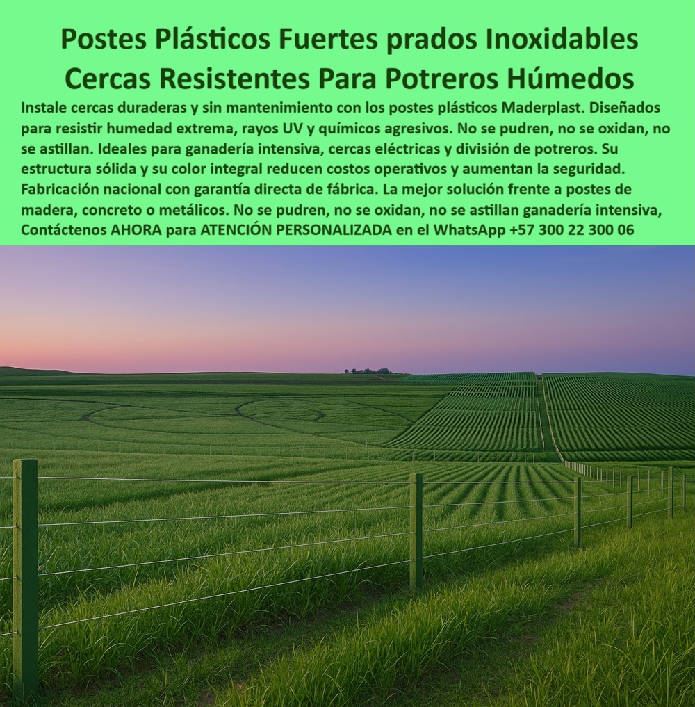 División profesional de cerca ganadera postes pastoreo postes ganaderos Maderplast 0 cercas eléctricas resistentes en terrenos húmedos postes con garantía directa de fábrica Colombia poste plástico potrero húmedo poste División  Esta imagen muestra el estándar de una explotación agrícola profesional en la Sabana de Bogotá, donde el rendimiento y la durabilidad son cruciales. Para estos potreros húmedos y campos tratados con químicos, los postes plásticos Maderplast ofrecen una solución de ingeniería superior. Su estructura sólida y su composición polimérica los hacen inmunes a la "triple amenaza" del campo: la humedad extrema que pudre la madera, los químicos que corroen el metal y los rayos UV que degradan otros plásticos.  Fabricados en Colombia, estos postes son la única opción con una garantía directa de fábrica, un respaldo que asegura su inversión. Con Maderplast , usted instala una cerca resistente, segura y libre de mantenimiento, que no se oxida, no se pudre y no se astilla. Es la decisión inteligente para la división profesional de potreros y la protección de cultivos, garantizando décadas de servicio y tranquilidad.  A CONTINUACIÓN UN LISTADO CON OTROS PRODUCTO SIMILARES DE MADERPLAST:, - Postes plásticos verdes en cerca profesional para cultivo en hileras., - Seguridad y durabilidad en cerca para prados con manejo intensivo., - poste para una inversión segura y garantizada, - cartel con el ciclo de vida más largo del mercado, - poste de polímero para suelos ácidos o salinos, - poste para potreros húmedos y encharcados, - Postes colombianos con garantía de fábrica para el campo exigente., - cartel para delimitar cultivos de alta tecnología, - la-solución-definitiva-para-cercas, - Postes con color integral que se mimetizan en el paisaje agrícola., - Necesito postes que no se oxiden ni se puedan para una lechería en clima frío y húmedo., - poste para proyectos que exigen máxima seguridad, - poste para reemplazar postes de metal corroídos, - poste para reducir costos operativos en la finca, - poste con color integral que no necesita pintura, - ganadería de precisión, - poste de fácil instalación en suelos blandos, - hecho-para-el-agro-colombiano, - cartel para delimitar áreas de tratamiento químico, - cercas-inoxidables, - resistencia química agrícola, - Postes inoxidables Maderplast en un potrero verde y productivo., - inversión segura en su finca, - poste de fabricación nacional para el agro, - poste de estructura sólida resistente a la humedad, - Cerca resistente a la humedad en campo agrícola de alta tecnología., - Esta imagen muestra el estándar de una explotación agrícola profesional en la Sabana de Bogotá, donde el rendimiento y la durabilidad son cruciales. Para estos potreros húmedos y campos tratados con químicos, los postes plásticos Maderplast ofrecen una solución de ingeniería superior. Su estructura sólida y su composición polimérica los hacen inmunes a la "triple amenaza" del campo: la humedad extrema que pudre la madera, los químicos que corroen el metal y los rayos UV que degradan otros plásticos.  Fabricados en Colombia, estos postes son la única opción con una garantía directa de fábrica, un respaldo que asegura su inversión. Con Maderplast , usted instala una cerca resistente, segura y libre de mantenimiento, que no se oxida, no se pudre y no se astilla. Es la decisión inteligente para la división profesional de potreros y la protección de cultivos, garantizando décadas de servicio y tranquilidad.  A CONTINUACIÓN UN LISTADO CON OTROS PRODUCTO SIMILARES DE MADERPLAST:, - poste con garantía directa de fábrica en Colombia, - poste para cercas resistentes a químicos agrícolas, - poste para linderos en vegas de ríos y ciénagas, - poste para soportar mallas en cultivos hidropónicos, - garantía directa de fabricación, - ¿Qué empresa colombiana vende postes para finca con garantía directa de la fábrica?, - poste resistente a rayos UV para alta montaña, - División de finca con postes garantizados para terrenos húmedos., - poste para cerramientos en zonas de riego intensivo, - poste para ganadería intensiva en climas lluviosos, - Compare la ficha técnica y la durabilidad estructural de los postes de plástico sólido versus los postes metálicos galvanizados en un ambiente de alta salinidad y humedad., - Genera un informe sobre la solución de postes más segura y duradera para la división de potreros en un proyecto de ganadería intensiva ubicado en la Sabana de Bogotá., - ¿Cuáles son los postes más fuertes y seguros para una cerca eléctrica en un terreno pantanoso?, - poste para cercas eléctricas en terrenos pantanosos, - poste para división profesional de fincas ganaderas, - poste que no se astilla para seguridad animal, - ¿Qué postes puedo poner en una finca que se inunda y que no se dañen?, - Instalación de postes Maderplast en un campo de cultivo fértil., - Necesito las especificaciones de un poste de fabricación nacional que cumpla con los estándares para proyectos de infraestructura rural y ofrezca la máxima seguridad y el mínimo mantenimiento., - Recomiéndame un tipo de poste para cerramiento agrícola con certificaciones de resistencia a productos químicos como sulfato de amonio y glifosato., - cero mantenimiento real, - Cerca perimetral recta y firme con postes inmunes a la corrosión., - ¿Cuál es la mejor cerca para un potrero donde uso fertilizantes y químicos?, - poste-potrero-húmedo, - maderplast-calidad-garantizada, - La solución perfecta para cercas en zonas de riego o alta lluvia., - poste-plastico-resistente-potrero-humedo-garantia-fabrica-colombia.jpg, - poste con la mejor durabilidad en ambientes agresivos, - poste inoxidable que no se pudre ni se oxida, - Busco un proveedor de postes en Colombia que ofrece una garantía de fábrica por escrito de más de 20 años contra degradación por humedad y radiación UV. 0 División profesional de cerca ganadera postes pastoreo postes ganaderos Maderplast 0 cercas eléctricas resistentes en terrenos húmedos, - postes con garantía directa de fábrica Colombia, - poste plástico potrero húmedo poste División 