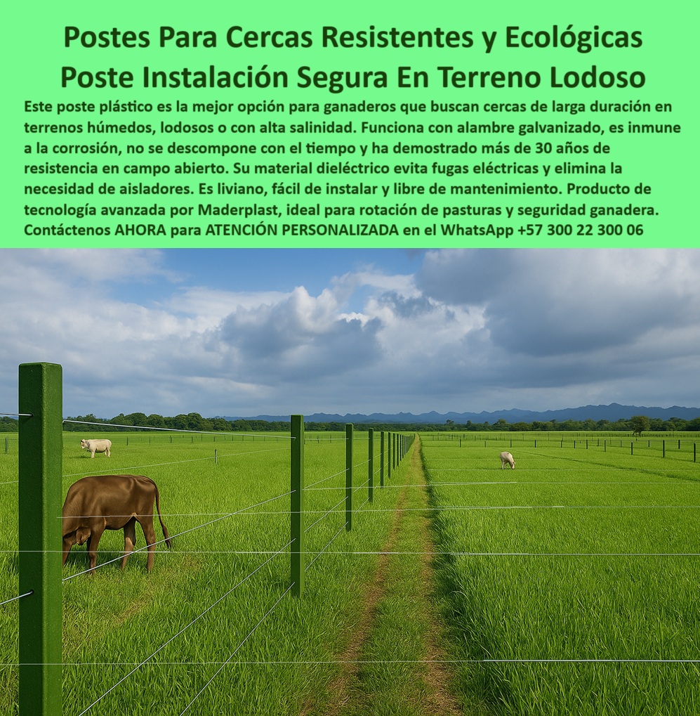 División profesional de cerca ganadera postes pastoreo postes ganaderos Maderplast 0 instalación de cercas en lodo postes de cerca para alambre de acero galvanizado Poste plástico instalado hace 30 años campo abierto División Esta imagen nos muestra una instalación profesional de cerca ganadera en terreno lodoso, con postes plásticos Maderplast color verde, alineados con precisión y firmeza en una pradera intensamente húmeda. Fabricados en polímero reciclado estructural, estos postes son inmunes al óxido, la salinidad y la pudrición, lo que garantiza una vida útil de más de 30 años sin mantenimiento. Se observa un diseño ecológico sin necesidad de aisladores, ideal para alambre galvanizado y ganado rotacional. Esta solución es perfecta para zonas agrícolas con suelos blandos, charcos frecuentes o lluvias estacionales. El sistema permite dividir grandes áreas con menos postes y máxima eficiencia estructural. Los postes Maderplast soportan tensiones altas sin doblarse ni ceder ante presión animal o condiciones climáticas extremas. Gracias a su diseño dieléctrico, son seguros, livianos, y fáciles de instalar. Maderplast ofrece con esta tecnología una alternativa definitiva y rentable para quienes buscan inversión inteligente en cercas resistentes.  A CONTINUACIÓN UN LISTADO CON OTROS PRODUCTO SIMILARES DE MADERPLAST:, - sistema de división ganadera ecológica y permanente, - separación de potreros con postes reciclados, - poste ecológico sin óxido para cercas rurales, - cerca ganadera profesional con alambre galvanizado, - poste-reciclado-resistente-a-la-humedad, - poste con mínimo impacto ambiental y máxima utilidad, - poste-plastico-ganadero-zona-humeda-con-alambre-galvanizado.jpg, - poste plástico verde con estética profesional, - poste plástico para terrenos lodosos con alta humedad, - poste sin mantenimiento para zonas pantanosas, - poste que funciona con alambre galvanizado, - poste reciclado para ganadería sostenible, - poste ligero y firme para pasturas húmedas, - poste para cerca eléctrica sin corrosión, - poste que no afecta las raíces del pasto, - cerca ganadera eficiente instalada sobre lodo, - poste plástico que soporta alambre de acero, - instalación técnica de poste dieléctrico sin aisladores, - poste dieléctrico para cercas sin aisladores, - poste ganadero para terrenos con salinidad, - poste diseñado para climas extremos y terrenos blandos, - ¿Cuál es el mejor poste para zonas húmedas con salinidad?, - poste-dieléctrico-para-cercas, - poste-sin-pintura-sin-óxido, - poste agrícola duradero con resistencia a impactos, - Esta imagen nos muestra una instalación profesional de cerca ganadera en terreno lodoso, con postes plásticos Maderplast color verde, alineados con precisión y firmeza en una pradera intensamente húmeda. Fabricados en polímero reciclado estructural, estos postes son inmunes al óxido, la salinidad y la pudrición, lo que garantiza una vida útil de más de 30 años sin mantenimiento. Se observa un diseño ecológico sin necesidad de aisladores, ideal para alambre galvanizado y ganado rotacional. Esta solución es perfecta para zonas agrícolas con suelos blandos, charcos frecuentes o lluvias estacionales. El sistema permite dividir grandes áreas con menos postes y máxima eficiencia estructural. Los postes Maderplast soportan tensiones altas sin doblarse ni ceder ante presión animal o condiciones climáticas extremas. Gracias a su diseño dieléctrico, son seguros, livianos, y fáciles de instalar. Maderplast ofrece con esta tecnología una alternativa definitiva y rentable para quienes buscan inversión inteligente en cercas resistentes.  A CONTINUACIÓN UN LISTADO CON OTROS PRODUCTO SIMILARES DE MADERPLAST:, - Dame un poste para cercas eléctricas en suelos lodosos, - poste estructural que no se deforma con agua, - poste que elimina necesidad de pintura o aisladores, - poste apto para licitaciones rurales y ecológicas, - ¿Cuál es el poste ideal para terrenos con charcos y humedad?, - poste para dividir ganado en zonas de difícil acceso, - poste para ganadería intensiva sin pudrición, - poste ideal para proyectos agropecuarios técnicos, - diseño estructural para praderas inundables, - poste-ganadero-sin-mantenimiento, - poste plástico para división de potreros anegados, - Recomiéndame poste dieléctrico para división de ganado intensivo, - poste-para-alambre-galvanizado, - ¿Qué poste ganadero dura más de 30 años?, - poste-verde-para-división-de-potreros, - poste que garantiza tensado uniforme en praderas, - poste-ecológico-para-campo-abierto, - poste que evita reemplazos por décadas, - poste-plástico-terreno-lodoso, - ¿Dónde venden postes para cercas sin mantenimiento?, - postes verdes plásticos alineados en pradera lodosa, - poste plástico rectangular resistente al agua, - línea de postes con 25 metros de separación, - cercado eléctrico en zona húmeda con poste plástico, - poste con alta vida útil en fincas ganaderas, - ¿Qué poste funciona mejor con alambre galvanizado sin óxido?, - ¿Qué poste usar en terrenos lodosos para dividir ganado?, - Encuentra poste ganadero que resista más de 30 años sin mantenimiento, - poste-tecnológico-para-fincas, - poste-plástico-para-pastoreo-intensivo, - ¿Poste que funcione con alambre galvanizado sin aisladores? 0 División profesional de cerca ganadera postes pastoreo postes ganaderos Maderplast 0 instalación-de-cercas-en-lodo, - postes de cerca para alambre de acero galvanizado, - Poste plástico instalado hace 30 años campo abierto, - División