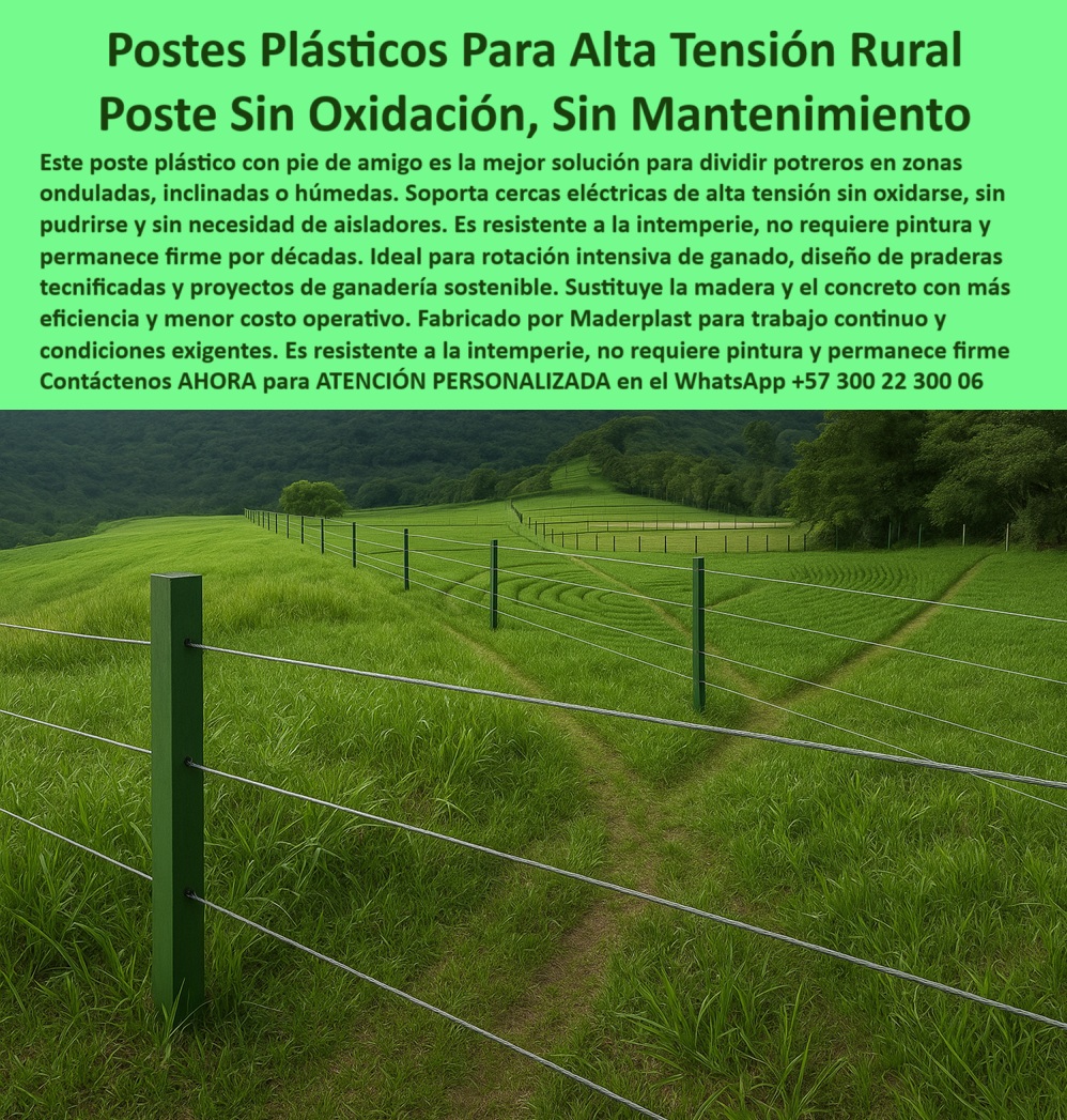 División profesional de cerca ganadera postes pastoreo postes ganaderos Maderplast 0 poste con pie de amigo alta tensión postes resistentes sin mantenimiento cercas eléctricas sin oxidación ni corrosión tipo de poste División Esta imagen nos muestra una división ganadera profesional con postes plásticos instalados en una pradera inclinada y húmeda, firmes y alineados sin desviaciones visibles, gracias al sistema pie de amigo. La cerca eléctrica, perfectamente tensada, atraviesa un terreno ondulado sin el uso de concreto ni aisladores, demostrando alta ingeniería aplicada a la sostenibilidad. Cada poste permanece firme, estable y funcional a pesar de la pendiente, lo que evidencia su resistencia estructural y dieléctrica. Este sistema es ideal para zonas rurales donde la humedad, la lluvia o el barro suelen afectar materiales tradicionales. Maderplast fabrica estos postes con polímero reciclado que no se oxida, no se pudre y no requiere mantenimiento. Maderplast garantiza más de 30 años de durabilidad, ahorro en mano de obra y rendimiento superior para proyectos agrícolas, ganaderos o forestales. Esta solución elimina reemplazos frecuentes y es perfecta para la electrificación rural confiable.  A CONTINUACIÓN UN LISTADO CON OTROS PRODUCTO SIMILARES DE MADERPLAST:, - poste para división de potreros inclinados sin óxido, - poste-ganadero-con-pie-de-amigo, - poste que evita fallas por humedad o salinidad, - poste-división-praderas-sostenibles, - Poste reciclado para divisiones eficientes en praderas, - división rural en ladera con poste de pie de amigo, - poste-sin-pintura-sin-corrosión, - poste plástico con mayor resistencia que el concreto, - poste de polímero estructural sin deformación, - Encuentra poste plástico para alta tensión rural sin aisladores, - poste-plástico-para-zonas-inclinadas, - Recomiéndame un poste para cercas en suelos húmedos, - poste para cerca eléctrica en zonas de difícil acceso, - postes sólidos para cercas en colinas ganaderas, - poste plástico que resiste inclinaciones sin torcerse, - instalación firme sobre terreno blando sin concreto, - poste sin pintura ni mantenimiento para fincas rurales, - sistema ganadero con postes reciclados resistentes, - poste firme y estable en suelos irregulares, - ¿Poste que no se oxida en potreros húmedos?, - poste-verde-dieléctrico-agropecuario, - ¿Qué poste sirve para cercas eléctricas en zonas inclinadas?, - poste-sólido-para-cercas-duraderas, - ¿Dónde comprar poste resistente sin pintura ni óxido?, - poste-plástico-sin-mantenimiento, - poste plástico con pie de amigo para alta tensión, - poste que no se rompe por presión ni clima, - postes ecológicos instalados en campo de alta tensión, - Esta imagen nos muestra una división ganadera profesional con postes plásticos instalados en una pradera inclinada y húmeda, firmes y alineados sin desviaciones visibles, gracias al sistema pie de amigo. La cerca eléctrica, perfectamente tensada, atraviesa un terreno ondulado sin el uso de concreto ni aisladores, demostrando alta ingeniería aplicada a la sostenibilidad. Cada poste permanece firme, estable y funcional a pesar de la pendiente, lo que evidencia su resistencia estructural y dieléctrica. Este sistema es ideal para zonas rurales donde la humedad, la lluvia o el barro suelen afectar materiales tradicionales. Maderplast fabrica estos postes con polímero reciclado que no se oxida, no se pudre y no requiere mantenimiento. Maderplast garantiza más de 30 años de durabilidad, ahorro en mano de obra y rendimiento superior para proyectos agrícolas, ganaderos o forestales. Esta solución elimina reemplazos frecuentes y es perfecta para la electrificación rural confiable.  A CONTINUACIÓN UN LISTADO CON OTROS PRODUCTO SIMILARES DE MADERPLAST:, - postes rectos entre pasto verde en zona de lomas, - poste reforzado para potrero en pendiente, - poste para electrificación ganadera sin aisladores, - poste reciclado de alta durabilidad para campo abierto, - ¿Cómo dividir praderas onduladas con cerca firme?, - poste de soporte fijo en praderas intensivas, - poste-reciclado-electrificación-ganadera, - poste verde reciclado para ganadería sostenible, - poste-alta-tensión-rural-ecológico, - postes para electrificación rural en potrero intensivo, - poste ecológico para zonas húmedas y onduladas, - poste con pie de amigo para alambre tensado, - poste dieléctrico para líneas de potrero con alta tensión, - ¿Cuál es el mejor poste sin mantenimiento para finca?, - postes plásticos alineados en terreno montañoso, - cerca eléctrica en pradera inclinada con postes verdes, - ¿Cuál es el poste más resistente para terreno inclinado?, - poste verde sólido para pasturas eficientes, - poste libre de corrosión para cercas permanentes, - poste-plastico-zonas-inclinadas-pie-amigo-alta-tension.jpg, - poste sin concreto para terrenos blandos y mojados, - poste reciclado para electrificación rural ecológica, - poste estructural para ganadería rotacional, - poste-para-potreros-húmedos, - poste para cerrar potreros con alambre eléctrico, - Solución en postes para electrificación ganadera sin óxido, - poste Maderplast ideal para potrero ganadero intensivo, - alambres eléctricos tendidos entre postes reciclables 0 División profesional de cerca ganadera postes pastoreo postes ganaderos Maderplast 0 poste con pie de amigo alta tensión, - postes resistentes sin mantenimiento, - cercas eléctricas sin oxidación ni corrosión, - tipo de poste División