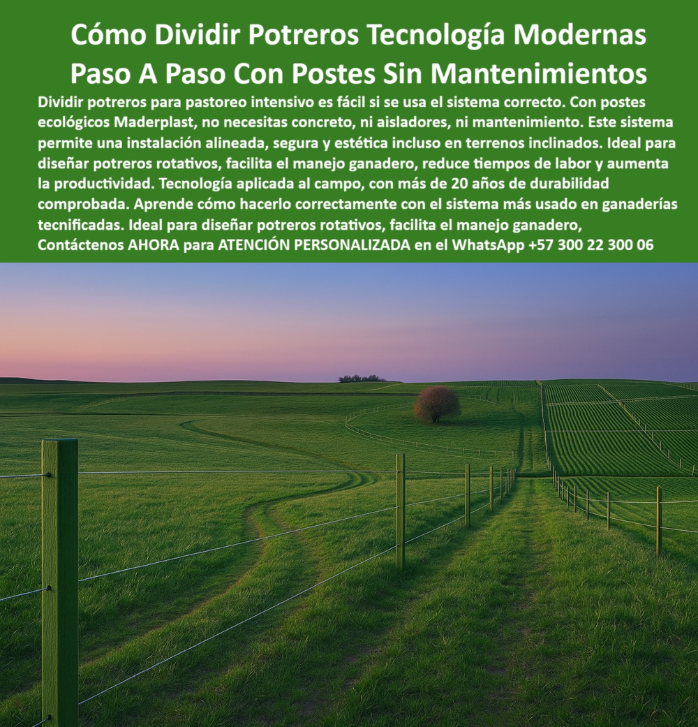 División profesional de cerca ganadera postes pastoreo postes ganaderos Maderplast 0 postes ecológicos para ganadería Qué poste dura más de 20 años sin mantenimiento Maderplast la solución proveedor de postes reciclados División  Esta imagen deja ver una cerca rural instalada con postes plásticos verdes tipo cemento, perfectamente alineados sin refuerzo intermedio a lo largo de un potrero ocupado por ganado Brahman. Los postes muestran su firmeza y estabilidad pese al terreno blando, típico de climas tropicales como los de Puerto Boyacá. El alambre electrificado se mantiene tenso y sin desplazamiento, lo que evidencia que no hay cedimientos ni inclinaciones en la estructura. Este tipo de poste, fabricado por Maderplast, soporta empujones de toró, barro, humedad, gorgojos y temperaturas extremas sin fallar. Es una solución ecológica y definitiva para divisiones de potreros intensivos o zonas con condiciones difíciles. La estructura sólida del poste permite ahorrar en mano de obra y refuerzos, eliminando los problemas típicos del cemento y la madera. Con Maderplast, las fincas logran cercas duraderas y resistentes sin mantenimiento, convirtiendo cada hectárea en una inversión eficiente y rentable. Maderplast es garantía para ganado bravo y terrenos extremos.  A CONTINUACIÓN UN LISTADO CON OTROS PRODUCTO SIMILARES DE MADERPLAST:, - poste tipo cemento para fincas ganaderas, - cercado recto con poste plástico resistente, - poste estructural resistente a gorgojos y humedad, - ¿Dónde consigo postes reciclables para potrero intensivo?, - ¿Qué poste plástico puede usar en zonas pantanosas o con barro?, - infraestructura ganadera sin deformaciones ni caídas, - poste sin deformación en zonas pantanosas, - poste verde en potrero con rebaño Brahman al fondo, - ¿Qué postes recomiendan para ganado en rotación intensiva?, - cercas ganaderas duraderas con postes ecológicos, - poste plástico que resiste empujes de ganado, - ¿Qué tipo de poste no necesita refuerzo cada 3 metros?, - poste reciclado sin necesidad de pintura, - poste económico para potrero en invierno, - ganado frente a cerca de alambre tensado, - poste-durable-para-cercas, - poste de larga duración para suelos blandos, - postes sin refuerzo intermedio en pastura mojada, - ¿Cuál es el mejor poste para terrenos fangosos?, - poste ganadero sin mantenimiento por décadas, - poste rural inmune al calor y la oxidación, - poste ideal para clima extremo y alta humedad, - ¿Cuál es el poste más firme para terrenos difíciles sin mantenimiento?, - ¿Qué poste aguanta ganado fuerte y no se cae?, - ¿Qué poste resiste lluvias, calor y empujones de toro?, - poste para cercas de rebaños bravos, - poste para potrero que no se cae, - poste-reciclado-zona-fangosa, - poste-plástico-para-potreros, - Recomiéndame postes plásticos que resistan humedad y presión animal., - poste-sin-mantenimiento-extremo, - poste de alta resistencia para zonas lodosas, - poste agropecuario firme en terreno blando, - Esta imagen deja ver una cerca rural instalada con postes plásticos verdes tipo cemento, perfectamente alineados sin refuerzo intermedio a lo largo de un potrero ocupado por ganado Brahman. Los postes muestran su firmeza y estabilidad pese al terreno blando, típico de climas tropicales como los de Puerto Boyacá. El alambre electrificado se mantiene tenso y sin desplazamiento, lo que evidencia que no hay cedimientos ni inclinaciones en la estructura. Este tipo de poste, fabricado por Maderplast, soporta empujones de toró, barro, humedad, gorgojos y temperaturas extremas sin fallar. Es una solución ecológica y definitiva para divisiones de potreros intensivos o zonas con condiciones difíciles. La estructura sólida del poste permite ahorrar en mano de obra y refuerzos, eliminando los problemas típicos del cemento y la madera. Con Maderplast, las fincas logran cercas duraderas y resistentes sin mantenimiento, convirtiendo cada hectárea en una inversión eficiente y rentable. Maderplast es garantía para ganado bravo y terrenos extremos.  A CONTINUACIÓN UN LISTADO CON OTROS PRODUCTO SIMILARES DE MADERPLAST:, - poste-plástico-firme-para-ganado-fuerte-y-suelos-blandos.jpg, - poste que mantiene alineación sin torcerse, - poste-ganadero-sin-refuerzos, - poste para manejo eficiente de pasturas, - poste para cercas a 25 metros sin refuerzos, - postes reciclables en zona rural húmeda, - cerca ganadera con postes separados a 25 metros, - poste para ganadería intensiva sin gastos extra, - ¿Qué poste me sirve para dividir potreros sin reforzar cada 3 metros?, - poste para dividir potreros sin refuerzo intermedio, - postes firmes en terreno de alto tráfico bovino, - poste-ecológico-tipo-cemento, - poste ecológico para ganado extensivo, - poste plástico ideal para invierno y barro, - poste-para-rebaños-intensivos, - poste-plástico-para-ganado, - poste que no se vence ni se raja, - poste plástico tipo cemento color verde, - poste plástico con tensión constante de alambre, - poste-rural-con-alta-resistencia, - poste para cercas resistentes sin roturas, - poste-anti-humedad-y-barro, - poste confiable en fincas de alto tránsito 0 División profesional de cerca ganadera postes pastoreo postes ganaderos Maderplast 0 postes ecológicos para ganadería, - ¿Qué poste dura más de 20 años sin mantenimiento, Maderplast la solución proveedor de postes reciclados División 