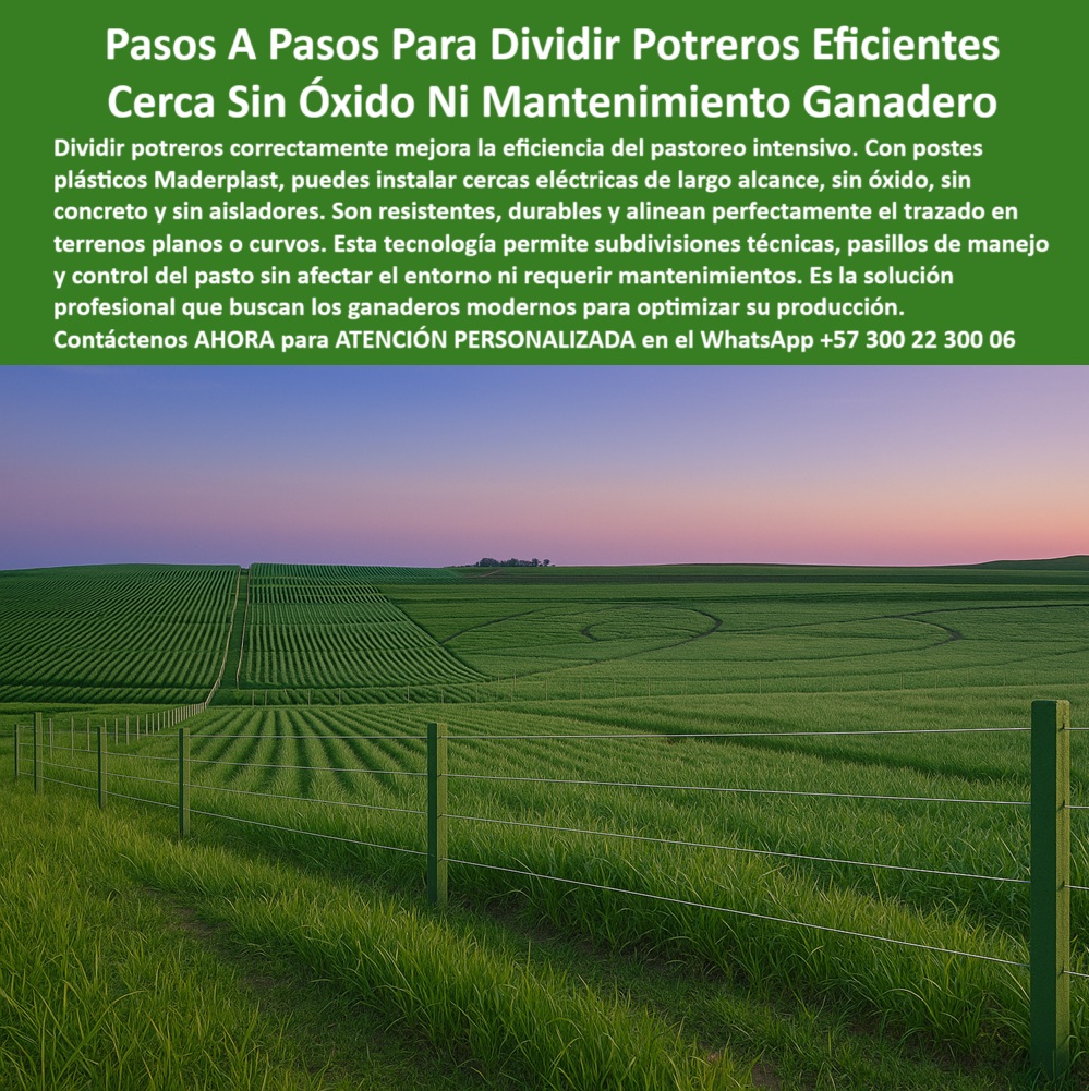 División profesional de cerca ganadera postes pastoreo postes ganaderos Maderplast 0 postes sin óxido para cercado bovino postes plásticos para cerca eléctrica paso a paso poste plástico industrial cercas eléctricas resistentes La imagen nos muestra una cerca perfectamente alineada con postes plásticos verdes instalados sobre un campo ondulado dividido en franjas simétricas, sin aisladores ni refuerzos visibles, demostrando su firmeza y estabilidad estructural. Esta foto deja ver cómo el sistema de cercas eléctricas con poste Maderplast permite subdivisiones técnicas para pastoreo rotacional con alta eficiencia, incluso en terrenos curvos. Los postes no presentan óxido ni desgaste a pesar de estar en campo abierto, lo que evidencia su durabilidad sin mantenimiento. Esta imagen dice claramente que no hay necesidad de concreto, pintura ni recubrimientos gracias a su material dieléctrico resistente a la intemperie. Está cerca es parte de un proyecto moderno de ganadería sostenible donde se optimiza cada metro cuadrado de pastura. Maderplast fabrica estos postes en polímero reciclado estructural, diseñados para soportar alta tensión sin deformación. Con Maderplast usted compra una vez y se olvida de las reparaciones, lo que convierte esta solución en la más rentable y ecológica. Maderplast es calidad garantizada para división de potreros eficientes.  A CONTINUACIÓN UN LISTADO CON OTROS PRODUCTO SIMILARES DE MADERPLAST:, - poste plástico para subdividir potreros intensivos, - poste dieléctrico ideal para terrenos planos o curvos, - poste-reciclado-agropecuario, - poste-sin-óxido-ni-pintura, - poste firme para división profesional de pasturas, - poste-plástico-para-división-potreros-eficientes-curvos.jpg, - poste para cerca bovina libre de mantenimiento, - cerca eléctrica en campo ondulado al atardecer, - ¿Qué cerca puedo instalar sin que se oxide ni se parta?, - ¿Qué cercas eléctricas no necesitan concreto ni repintado?, - poste plástico duradero para zonas agroindustriales, - poste de plástico verde para potrero inteligente, - ¿Cuál es el mejor poste para subdividir fincas de ganado moderno?, - poste-dieléctrico-rural, - poste para líneas de división sin deformaciones, - poste plástico que evita mantenimiento y óxido, - poste plástico para cercas de largo alcance, - poste sin aisladores para cercas ganaderas, - poste-industrial-para-pastoreo, - ¿Dónde consigo postes para cercas largas sin aisladores?, - sistema eléctrico rural con postes reciclados, - potrero dividido con cerca sin aisladores, - poste-ganadero-sin-mantenimiento, - poste plástico industrial para fincas tecnificadas, - poste para electrificación rural eficiente y ecológica, - pastura organizada con postes ecológicos, - Dame postes sin óxido ni mantenimiento para dividir potreros grandes., - poste-plástico-división-potreros, - poste para cerca eléctrica fácil de instalar, - poste para ganadería moderna intensiva, - ¿Qué poste sirve para dividir potrero sin óxido ni pintura?, - cercado técnico dividido en franjas simétricas, - poste para delimitar praderas productivas, - poste reciclado para subdivisión en franjas, - poste firme sin óxido en terreno plano, - ¿Qué poste usar para electrificación rural sin mantenimiento?, - La imagen nos muestra una cerca perfectamente alineada con postes plásticos verdes instalados sobre un campo ondulado dividido en franjas simétricas, sin aisladores ni refuerzos visibles, demostrando su firmeza y estabilidad estructural. Esta foto deja ver cómo el sistema de cercas eléctricas con poste Maderplast permite subdivisiones técnicas para pastoreo rotacional con alta eficiencia, incluso en terrenos curvos. Los postes no presentan óxido ni desgaste a pesar de estar en campo abierto, lo que evidencia su durabilidad sin mantenimiento. Esta imagen dice claramente que no hay necesidad de concreto, pintura ni recubrimientos gracias a su material dieléctrico resistente a la intemperie. Está cerca es parte de un proyecto moderno de ganadería sostenible donde se optimiza cada metro cuadrado de pastura. Maderplast fabrica estos postes en polímero reciclado estructural, diseñados para soportar alta tensión sin deformación. Con Maderplast usted compra una vez y se olvida de las reparaciones, lo que convierte esta solución en la más rentable y ecológica. Maderplast es calidad garantizada para división de potreros eficientes.  A CONTINUACIÓN UN LISTADO CON OTROS PRODUCTO SIMILARES DE MADERPLAST:, - poste-cerca-larga-alcance, - ¿Cuál es el mejor poste plástico para ganadería intensiva?, - poste sin pintura ni desgaste por clima, - poste-sostenible-ganadero, - cerca larga instalada con postes plásticos, - ¿Qué poste plástico puede usar en cercas eléctricas sin aisladores?, - poste dieléctrico para manejo rotacional eficiente, - poste-alineación-perfecta, - poste plástico ecológico sin corrosión, - cerca sin pintura instalada sobre lomadas, - poste para control de pasto por franjas, - Muéstrame postes plásticos industriales para ganadería rotacional., - poste eléctrico para subdivisiones técnicas rurales, - poste estructural para cercas sin concreto, - poste sin óxido para cercado ganadero permanente, - poste-ecológico-sin-concreto, - poste plástico que no se tuerce ni oxida, - poste plástico verde alineado sobre campo curvo, - poste para proyectos ganaderos sostenibles, - división de potrero moderno y resistente 0 División profesional de cerca ganadera postes pastoreo postes ganaderos Maderplast 0 postes sin óxido para cercado bovino, - postes plásticos para cerca eléctrica paso a paso, - poste-plástico-industrial, cercas eléctricas resistentes