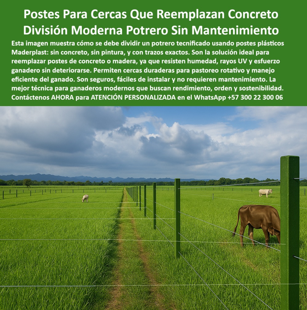 División profesional de cerca ganadera postes pastoreo postes ganaderos Maderplast 0 reemplazo poste de concreto soluciones de cercado con bajo mantenimiento cerca moderna con estacas plásticas poste durable contra humedad Esta imagen nos muestra una cerca recta, moderna y perfectamente alineada que divide una pradera ganadera con postes plásticos reciclados de alta resistencia, los postes de color verde indican una instalación limpia y sin necesidad de pintura, cada uno está fijado con precisión para permitir una distancia amplia sin perder firmeza, el terreno plano demuestra cómo estos postes permiten dividir potreros tecnificados sin deformación, el material dieléctrico evita corrosión por humedad o salinidad, eliminando la necesidad de aisladores, su diseño sustituye con ventaja al concreto o madera tradicional, se ven bovinos pastando tranquilamente dentro de una división segura y sin mantenimiento, esta es una solución fabricada por Maderplast con ingeniería avanzada y compromiso ambiental, ideal para ganaderos que buscan eficiencia en pasto rotacional y menos costos, el uso de Maderplast garantiza que la inversión se vea reflejada en años de rendimiento sin interrupciones, esta es la verdadera solución profesional para ganadería moderna. A CONTINUACIÓN UN LISTADO CON OTROS PRODUCTO SIMILARES DE MADERPLAST:, - poste plástico verde en potrero dividido para pasto intensivo, - poste-sin-mantenimiento-rural, - poste-liviano-y-resistente, - poste que elimina problemas de reemplazo en cercas, - poste sin pintura para cerca ganadera profesional, - ¿Qué poste plástico es más durable en cercas ganaderas modernas?, - poste firme y recto para cerca eléctrica sin aisladores, - ¿Qué poste puedo instalar cada 25 metros sin mantenimiento?, - poste de alta ingeniería para división de cultivos, - poste dieléctrico para cerca eléctrica en pasto húmedo, - poste-agropecuario-moderno, - poste de plástico que sustituye al concreto rural, - poste-reciclado-para-potreros, - división moderna de pasturas con poste reciclado, - poste plástico resistente al clima y sin mantenimiento, - poste plástico para reemplazar postes de concreto, - cerca sin óxido ni roturas en pradera técnica, - ¿Dónde venden postes plásticos que no se dañen con la humedad?, - poste plástico resistente al clima en campo abierto, - ¿Cómo dividir mi finca con postes que no necesiten mantenimiento?, - poste para división moderna de potreros tecnificados, - poste ganadero que no necesita reposición frecuente, - poste que no se oxida ni se pudre en terrenos húmedos, - poste plástico que dura más de 30 años sin fallas, - poste para ganaderos que buscan orden y rendimiento, - poste libre de óxido y sin afectación solar, - ¿Cómo dividir un potrero tecnificado con cercas plásticas?, - postes verdes instalados con precisión a 25 metros, - poste liviano y firme para praderas técnicas, - poste estructural que no contamina el suelo agrícola, - poste-plastico-reemplazo-concreto-cercado-moderno-sin-mantenimiento.jpg, - poste sostenible que mejora la rentabilidad rural, - Esta imagen nos muestra una cerca recta, moderna y perfectamente alineada que divide una pradera ganadera con postes plásticos reciclados de alta resistencia, los postes de color verde indican una instalación limpia y sin necesidad de pintura, cada uno está fijado con precisión para permitir una distancia amplia sin perder firmeza, el terreno plano demuestra cómo estos postes permiten dividir potreros tecnificados sin deformación, el material dieléctrico evita corrosión por humedad o salinidad, eliminando la necesidad de aisladores, su diseño sustituye con ventaja al concreto o madera tradicional, se ven bovinos pastando tranquilamente dentro de una división segura y sin mantenimiento, esta es una solución fabricada por Maderplast con ingeniería avanzada y compromiso ambiental, ideal para ganaderos que buscan eficiencia en pasto rotacional y menos costos, el uso de Maderplast garantiza que la inversión se vea reflejada en años de rendimiento sin interrupciones, esta es la verdadera solución profesional para ganadería moderna. A CONTINUACIÓN UN LISTADO CON OTROS PRODUCTO SIMILARES DE MADERPLAST:, - cerca alineada sin pintura en finca ganadera, - poste con precisión de trazo para subdivisión eficiente, - poste-plástico-para-cercas, - poste-para-ganado-intensivo, - ¿Cuál es el mejor poste sin pintura ni óxido para fincas?, - poste reciclado que optimiza inversión en infraestructura, - poste agropecuario que resiste impactos de animales, - ¿Cuál es el mejor poste para potreros húmedos sin pintura?, - poste que mejora la eficiencia del pastoreo intensivo, - sistema de cercado rural con postes firmes y duraderos, - poste-de-larga-vida-útil, - Recomiéndame postes para reemplazar postes de concreto en potreros, - infraestructura ganadera con postes de polímero reciclado, - poste estructural para reemplazo de concreto rural, - poste estructural para manejo rotacional de potreros, - poste de polímero resistente sin necesidad de aisladores, - ¿Qué poste puedo usar para reemplazar concreto en una cerca?, - poste ideal para sistemas de cercado ganadero moderno, - poste-plástico-de-alta-ingeniería, - poste que alinea perfectamente kilómetros de cerca, - poste-durable-sin-oxidación, - ¿Qué tipo de poste plástico es mejor para pasto rotacional?, - poste-que-reemplaza-concreto, - poste plástico ecológico para finca ganadera intensiva 0 División profesional de cerca ganadera postes pastoreo postes ganaderos Maderplast 0 reemplazo-poste-de-concreto, - soluciones de cercado con bajo mantenimiento, - cerca moderna con estacas plásticas, - poste-durable-contra-humedad 