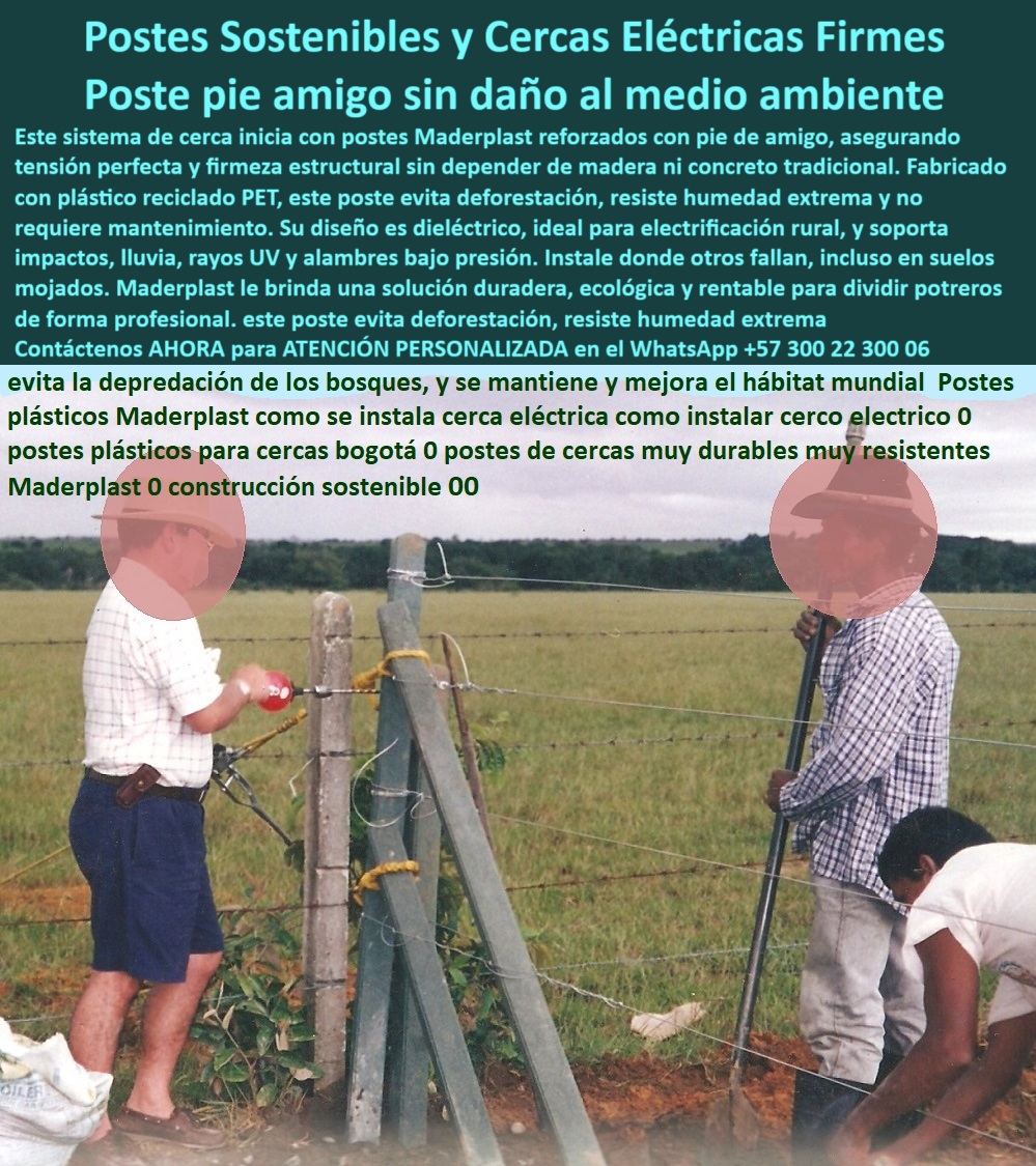 Paso A Paso Diseño Eficiente De Cercas Eléctricas Postes Dieléctricos Maderplast 0 estacones plásticos anti humedad instalación de postes plásticos con alambre bajo tensión Postes sin mantenimiento en sistema electrificado varas Esta imagen muestra el proceso de instalación de una cerca eléctrica en potrero usando un poste plástico reciclado con pie de amigo, se ve claramente cómo tres operarios ajustan alambres sobre terreno húmedo mientras el poste verde permanece firme, su diseño estructural reciclado evita que se pudra, se oxide o se raje, el poste está anclado sin necesidad de concreto ni madera, Maderplast fabrica este sistema para dividir potreros de forma técnica y sostenible, soporta impactos, rayos UV, humedad y tensión eléctrica sin deformarse, se adapta perfectamente a terrenos inclinados o mojados como los que se encuentran en el Huila o los Llanos Orientales, ideal para ganadería intensiva, electrificación rural o subdivisión de praderas, Maderplast garantiza hasta 25 años sin mantenimiento, su uso evita tala de árboles y reduce costos operativos, ofreciendo una solución rentable, ecológica y duradera para cualquier proyecto agropecuario.  A CONTINUACIÓN UN LISTADO CON OTROS PRODUCTO SIMILARES DE MADERPLAST:, - poste dieléctrico ecológico para potrero rural, - poste-pie-de-amigo-reforzado, - Mejor poste reciclado para cercado ganadero resistente a clima extremo, - poste-dieléctrico-ganadero, - poste para electrificación sin concreto ni madera, - poste-electrico-plastico-pie-de-amigo-cercado-tecnico-ganadero.jpg, - ¿Qué poste me sirve para dividir potreros con electricidad?, - poste ecológico reciclado para dividir potreros, - poste-ecológico-sostenible, - poste sin pintura para electrificación rural, - poste técnico para divisiones agropecuarias inteligentes, - poste con pie de amigo sin mantenimiento, - estructura reforzada para electrificación ganadera con reciclado, - poste sostenible para cerramientos ganaderos eficientes, - poste plástico para tensado de alambres eléctricos, - poste seguro para cercas técnicas sostenibles, - instalación de poste plástico con pie de amigo en potrero, - sistema de tensión para cerca ganadera con poste reciclado, - poste-para-electricidad-rural, - poste Maderplast firme instalado sobre tierra húmeda, - poste con alta resistencia a rayos UV, - poste plástico libre de óxido y astillas, - ¿Dónde venden postes reciclados para ganado en clima húmedo?, - poste maderplast para solución ganadera definitiva, - poste estructural fuerte para impacto de ganado, - Esta imagen muestra el proceso de instalación de una cerca eléctrica en potrero usando un poste plástico reciclado con pie de amigo, se ve claramente cómo tres operarios ajustan alambres sobre terreno húmedo mientras el poste verde permanece firme, su diseño estructural reciclado evita que se pudra, se oxide o se raje, el poste está anclado sin necesidad de concreto ni madera, Maderplast fabrica este sistema para dividir potreros de forma técnica y sostenible, soporta impactos, rayos UV, humedad y tensión eléctrica sin deformarse, se adapta perfectamente a terrenos inclinados o mojados como los que se encuentran en el Huila o los Llanos Orientales, ideal para ganadería intensiva, electrificación rural o subdivisión de praderas, Maderplast garantiza hasta 25 años sin mantenimiento, su uso evita tala de árboles y reduce costos operativos, ofreciendo una solución rentable, ecológica y duradera para cualquier proyecto agropecuario.  A CONTINUACIÓN UN LISTADO CON OTROS PRODUCTO SIMILARES DE MADERPLAST:, - ¿Qué poste técnico usar para tensar alambre en finca húmeda?, - poste verde reforzado tensando cerca eléctrica en finca rural, - poste fácil de instalar con herramienta manual, - ¿Cómo hacer una cerca eléctrica sin usar cemento ni madera?, - operarios instalan cerca técnica con poste de concreto, - poste liviano para reemplazar madera o cemento, - Recomiéndame un poste plástico ecológico para potrero electrificado, - poste-plástico-para-potreros, - poste con soporte lateral para máxima firmeza, - poste-reciclado-para-cercas, - poste plástico para cerca eléctrica ganadera, - poste reciclado resistente para terrenos húmedos, - cerca eléctrica con poste estructural plástico en campo, - poste-sin-mantenimiento, - ¿Cuál es el mejor poste para cerca eléctrica rural?, - poste técnico resistente al clima húmedo en zona rural, - poste-anti-humedad, - poste robusto reciclado con tecnología de punta, - poste-para-climas-extremos, - ¿Cómo instalar un poste con pie de amigo en finca?, - Poste sin mantenimiento para electrificación rural sostenible, - poste ecológico dieléctrico con soporte lateral instalado, - poste ideal para zonas tropicales con humedad, - poste libre de mantenimiento en climas extremos, - poste para instalación rápida y sin errores, - poste-resistente-a-impactos, - poste dieléctrico para electrificación en fincas, - poste firme para ganado intensivo en rotación, - poste sin óxido ni pintura para divisiones de ganado, - ¿Qué poste puedo instalar sin concreto en zonas tropicales?, - poste económico que no se pudre ni parte 0 Paso A Paso Diseño Eficiente De Cercas Eléctricas Postes Dieléctricos Maderplast 0 estacones-plásticos-anti-humedad, - instalación de postes plásticos con alambre bajo tensión, - Postes sin mantenimiento en sistema electrificado varas