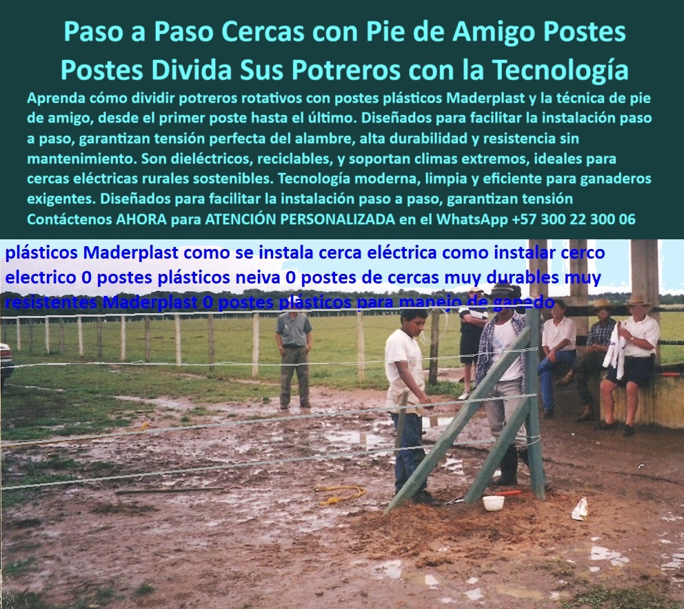 Paso A Paso Diseño Eficiente De Cercas Eléctricas Postes Dieléctricos Maderplast 0 postes eléctrico sistema de paso ganadero soluciones rurales con enfoque sostenibilidad templado ajustado alambres eléctricos sistema de guías La imagen nos muestra una capacitación práctica en campo donde se enseña la instalación paso a paso de cercas eléctricas con postes plásticos reciclados en una finca ganadera posiblemente ubicada en Neiva Colombia. Esta foto deja ver cómo un poste estructural con pie de amigo sostiene múltiples alambres eléctricos sin aisladores, sobre un terreno húmedo y lodoso, garantizando tensión firme y seguridad operativa. La escena incluye técnicos y ganaderos observando la instalación, que se realiza sin concreto, sin pintura, sin oxidación y sin fracturas. Estos postes dieléctricos son seguros para contacto animal, livianos, fáciles de anclar, sostenibles y resistentes al clima extremo. Maderplast ofrece esta solución con respaldo técnico y años de experiencia en instalación de cercas rurales inteligentes. Gracias a su composición plástica sólida, no atraen termitas ni hongos, y eliminan mantenimientos costosos. Maderplast convierte un poste en una inversión duradera y rentable, ideal para proyectos agropecuarios modernos. A CONTINUACIÓN UN LISTADO CON OTROS PRODUCTO SIMILARES DE MADERPLAST:, - poste para ganadería con mínimo mantenimiento, - poste para dividir potreros sin concreto, - Postes verdes plásticos usados en división de corral, - poste-para-alambre-eléctrico, - Poste plástico con pie de amigo instalado en terreno húmedo, - poste-sin-oxidación, - poste plástico paso a paso cercas eléctricas, - poste plástico paso a paso cerca electrica ganadera neiva.jpg, - poste-reciclado-sin-concreto, - poste para divisiones intensivas de ganado, - Herramientas de instalación de cerca con poste de polímero, - ¿Cómo se tensa correctamente un alambre eléctrico con guía?, - ¿Cuál es el mejor poste sin concreto para cercas ganaderas?, - ¿Qué poste sirve para dividir potreros con alambre eléctrico sin aisladores?, - poste-sin-mantenimiento, - poste plástico sin pintura ni oxidación, - Alambre eléctrico tensado sobre postes reciclados plásticos, - poste-eléctrico-para-potreros, - poste dieléctrico para templado sin fallas, - Poste instalado en finca ganadera con técnica profesional, - Poste dieléctrico más duradero para cercas eléctricas rurales, - poste para alambres eléctricos ajustados, - poste reciclado para electrificación rural, - poste de guía para tensión eléctrica, - Ganaderos reunidos observando instalación de poste eléctrico, - poste de instalación técnica sin herramientas, - poste dieléctrico para instalaciones rurales, - poste ecológico para cerramientos ganaderos, - poste reciclado para sistemas eléctricos ganaderos, - poste para zonas de alta pluviosidad, - Esta foto deja ver cómo un poste estructural con pie de amigo sostiene múltiples alambres eléctricos sin aisladores, sobre un terreno húmedo y lodoso, garantizando tensión firme y seguridad operativa. La escena incluye técnicos y ganaderos observando la instalación, que se realiza sin concreto, sin pintura, sin oxidación y sin fracturas. Estos postes dieléctricos son seguros para contacto animal, livianos, fáciles de anclar, sostenibles y resistentes al clima extremo. Maderplast ofrece esta solución con respaldo técnico y años de experiencia en instalación de cercas rurales inteligentes. Gracias a su composición plástica sólida, no atraen termitas ni hongos, y eliminan mantenimientos costosos. Maderplast convierte un poste en una inversión duradera y rentable, ideal para proyectos agropecuarios modernos. A CONTINUACIÓN UN LISTADO CON OTROS PRODUCTO SIMILARES DE MADERPLAST:,  ¿Dónde venden postes dieléctricos para fincas rurales en Neiva?, - poste-con-pie-de-amigo, - Poste estructural que no requiere pintura ni mantenimiento, - poste sintético fácil de instalar en campo, - poste sin mantenimiento para terrenos húmedos, - poste-durable-para-finca, - poste plástico de alta resistencia mecánica, - poste-fácil-de-instalar, - ¿Cómo instalar una cerca eléctrica con postes reciclados paso a paso?, - poste plástico usado en Neiva Colombia, - Enséñame cómo instalar postes eléctricos plásticos paso a paso, - poste-plástico-eléctrico, - poste-dieléctrico-para-ganadería, - poste para proyectos ganaderos intensivos, - ¿Qué poste instalar en zonas húmedas con cercas ganaderas eléctricas?, - Mejores postes reciclados para dividir potreros con alambre, - poste plástico sin aisladores, - Poste estructural en zona rural con lodo y pasto, - La imagen nos muestra una capacitación práctica en campo donde se enseña la instalación paso a paso de cercas eléctricas con postes plásticos reciclados en una finca ganadera posiblemente ubicada en Neiva Colombia. - poste rural sostenible para electrificación, - poste estructural para sistemas rotacionales, - poste para cerca eléctrica modular, - Escena educativa sobre instalación de postes dieléctricos rurales, - Demostración técnica de cerca eléctrica con guía de tensión, - poste sin astillas ni fracturas por tensión, - Sistema de cercado eléctrico con paso ganadero en campo, - poste con pie de amigo para esquinas 0 Paso A Paso Diseño Eficiente De Cercas Eléctricas Postes Dieléctricos Maderplast 0 postes eléctrico sistema de paso ganadero soluciones rurales con enfoque sostenibilidad templado ajustado alambres eléctricos sistema de guías 0 
