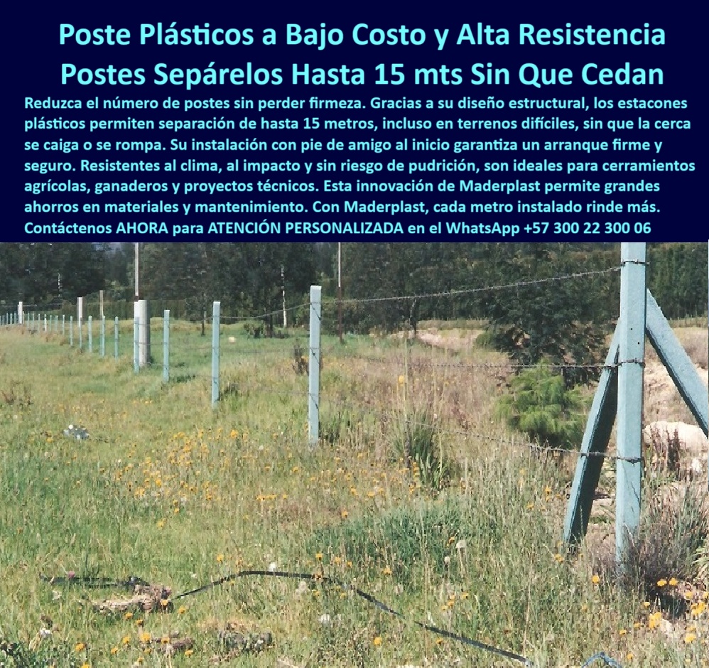 Pie De Amigo Poste De Arranque Poste De Puerta Postes De Broches Maderplast 0 estructuras modulares para agricultura técnica poste plástico para licitación Postes instalados sin pudrirse ni romperse poste división de potrero Esta imagen nos muestra una cerca eléctrica instalada con postes plásticos de alta resistencia, ubicada en la autopista al norte de Bogotá, donde han soportado más de 25 años sin pudrirse ni romperse, los postes visibles mantienen su forma estructural y el tensado de alambres se mantiene perfecto, gracias al uso de pie de amigo reforzado desde el arranque, estos postes son una solución ideal para ganadería intensiva y praderas de difícil acceso, su diseño en polímero reciclado evita el uso de pintura o recubrimientos, no atraen insectos ni se degradan con la lluvia o el sol, la instalación técnica permite separar los postes hasta 15 metros, reduciendo materiales y mano de obra, son dieléctricos, seguros y livianos, una elección sostenible que responde a las exigencias del campo moderno, Maderplast ofrece esta solución certificada para quienes buscan productividad sin mantenimientos, la confianza del campo colombiano está representada en postes Maderplast que no ceden con el tiempo, la imagen muestra el impacto positivo de una inversión duradera.  A CONTINUACIÓN UN LISTADO CON OTROS PRODUCTO SIMILARES DE MADERPLAST:, - Cómo instalar cerca rural con postes a 15 metros, - poste agrícola técnico, - poste-para-cercas-eléctricas, - poste-plástico-agropecuario, - Cercado con postes de polímero resistentes al tiempo, - poste para zonas inclinadas, - poste para cerramientos rurales, - poste ganadero sin pintura, - Postes ganaderos con pie de amigo en suelos blandos, - poste que no se pudre, - poste plástico sin mantenimiento, - Mejor poste ganadero para terrenos húmedos o inclinados, - ¿Cuál es el mejor poste para dividir potreros sin mantenimiento?, - Poste plástico para cercas eléctricas duraderas sin mantenimiento, - poste plástico 15 metros, - poste estructural para cercas, - poste resistente al clima, - poste para terrenos difíciles, - poste plástico que no se rompe, - poste fácil de instalar, - Postes plásticos para dividir potreros con clima extremo, - poste ecológico duradero, - poste-para-terrenos-difíciles, - poste plástico reciclado, - Esta imagen nos muestra una cerca eléctrica instalada con postes plásticos de alta resistencia, ubicada en la autopista al norte de Bogotá, donde han soportado más de 25 años sin pudrirse ni romperse, los postes visibles mantienen su forma estructural y el tensado de alambres se mantiene perfecto, gracias al uso de pie de amigo reforzado desde el arranque, estos postes son una solución ideal para ganadería intensiva y praderas de difícil acceso, su diseño en polímero reciclado evita el uso de pintura o recubrimientos, no atraen insectos ni se degradan con la lluvia o el sol, la instalación técnica permite separar los postes hasta 15 metros, reduciendo materiales y mano de obra, son dieléctricos, seguros y livianos, una elección sostenible que responde a las exigencias del campo moderno, Maderplast ofrece esta solución certificada para quienes buscan productividad sin mantenimientos, la confianza del campo colombiano está representada en postes Maderplast que no ceden con el tiempo, la imagen muestra el impacto positivo de una inversión duradera.  A CONTINUACIÓN UN LISTADO CON OTROS PRODUCTO SIMILARES DE MADERPLAST:,  poste-rural-sin-mantenimiento, - poste largo sin refuerzo, - ¿Dónde venden postes plásticos resistentes para ganadería?, - poste para praderas húmedas, - Sistema de cercas eléctricas con postes sostenibles, - poste para cerca eléctrica, - Poste reciclado para dividir potreros de forma eficiente, - poste-ecológico-reciclado, - Poste dieléctrico que resiste humedad impacto y sol, - Postes instalados sin pudrirse ni ceder por impactó, - poste dieléctrico seguro, - Postes plásticos para ganadería en terrenos difíciles, - poste de bajo costo, - Postes para praderas húmedas sin pintura ni óxido, - Poste reciclado técnico para pastoreo rotacional, - poste para división de potreros, - poste plástico alta resistencia, - - poste rural económico, - poste-plástico-resistente-autopista-norte-bogotá-25-años-sin-daño.jpg, - poste con pie de amigo, - poste para cercas eficientes, - poste-ganadero-durable, - ¿Cómo instalar postes de cerca a 15 metros de distancia?, - poste para ganadería sostenible, - Cercas rurales con postes reciclados resistentes al sol, - ¿Qué poste aguanta el clima y la humedad sin romperse?, - Poste plástico agrícola con instalación a 15 metros, - poste-para-pastoreo-intensivo, - poste-de-larga-vida, - poste-plástico-resistente, - ¿Qué tipo de poste es mejor que el de cemento?, - poste-con-pie-de-amigo 0 Pie De Amigo Poste De Arranque Poste De Puerta Postes De Broches Maderplast 0 estructuras modulares para agricultura técnica, - poste plástico para licitación, - Postes instalados sin pudrirse ni romperse, - poste división de potrero