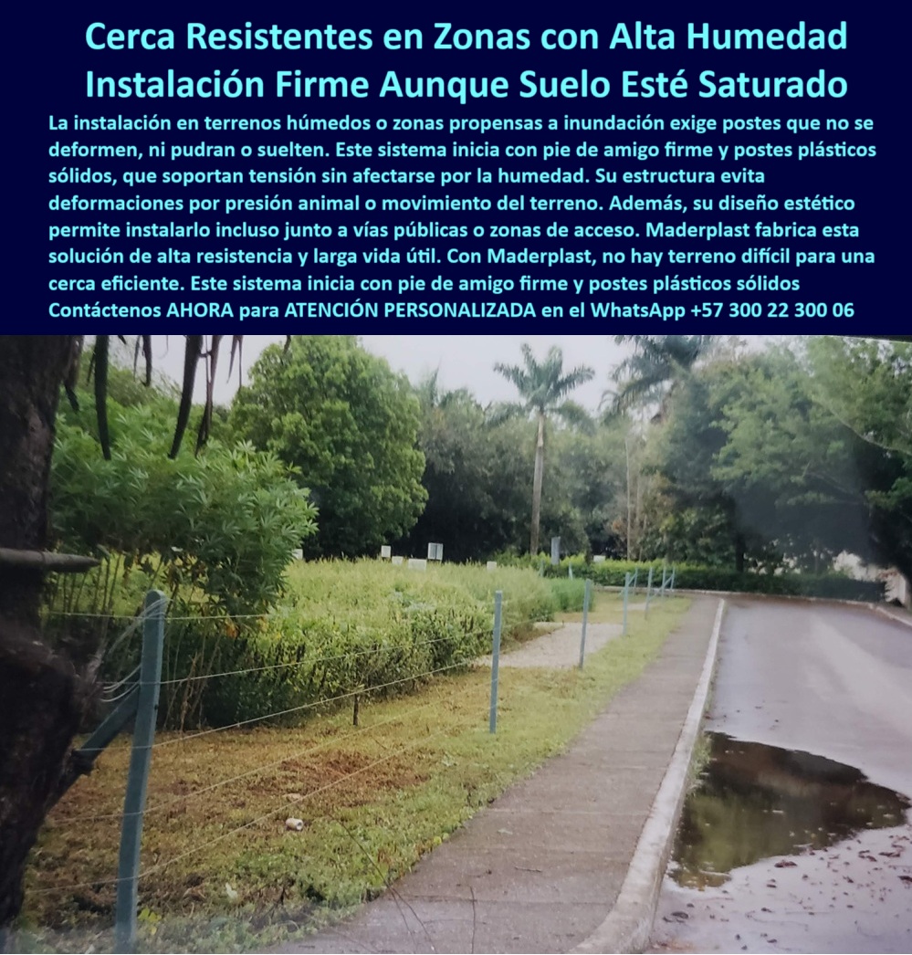 Pie De Amigo Poste De Arranque Poste De Puerta Postes De Broches Maderplast 0 poste para presion animal extrema Cerca eléctrica instalada en potrero inundable diseños de muros livianos con perfiles reciclables Pie De Amigo PP Esta imagen nos muestra una cerca con postes plásticos instalados hace más de 30 años en el centro de investigación Corpoica, hoy Savia, en la vía Villavicencio – Puerto López antes del peaje, la separación entre postes es de 25 metros, en terreno húmedo y junto a una vía, los postes no se han podrido, no se han caído ni deformado, están en funcionamiento real y sin mantenimiento, su pie de amigo mantiene la línea recta a pesar del suelo saturado, el diseño estructural dieléctrico y reciclado resiste presión animal sin ceder, esta solución ha demostrado que supera ampliamente al cemento o a la madera, Maderplast brinda una alternativa robusta, ecológica y rentable para dividir potreros en zonas críticas, incluso con charcos o riesgo de inundación, con Maderplast usted invierte una vez y se olvida de reemplazos, esta tecnología es confiable, técnica y probada en campo, ideal para ganaderos de precisión y proyectos agroindustriales en zonas húmedas.  A CONTINUACIÓN UN LISTADO CON OTROS PRODUCTO SIMILARES DE MADERPLAST:, - poste plástico duradero para proyectos forestales, - poste-para-praderas-encharcadas, - Poste reciclado ideal para proyectos agroecológicos, - poste plástico de alta durabilidad comprobada, - Estructura ganadera sostenible en zona de alta humedad, - poste-sin-mantenimiento-real, - Poste reciclado para cerramientos de larga duración, - Cerca con postes plásticos a 25 metros sin refuerzo, - poste plástico que no se hunde en suelos blandos, - ¿Cómo instalar una cerca eléctrica en terreno mojado?, - poste plástico que no requiere pintura, - poste plástico que resiste 30 años sin fallas, - ¿Cuál es el mejor poste para suelos saturados?, - poste-plástico-para-vía-rural, - poste-para-cercas-electrificadas, - poste-plástico-suelo-húmedo, - poste plástico ideal para sabanas y planicies, - Postes plásticos alineados junto a vía rural mojada, - poste plástico con resistencia a agua estancada, - ¿Dónde encuentro postes para dividir zonas húmedas?, - poste plástico reciclado para alta humedad, - Perfil plástico alineado sobre terreno rural blando, - Poste estructural de polímero para suelos blandos, - poste plástico para reemplazar concreto rural, - Poste para dividir terrenos agrícolas con alta humedad, - poste-plástico-alta-humedad, - Esta imagen nos muestra una cerca con postes plásticos instalados hace más de 30 años en el centro de investigación Corpoica, hoy Savia, en la vía Villavicencio – Puerto López antes del peaje, la separación entre postes es de 25 metros, en terreno húmedo y junto a una vía, los postes no se han podrido, no se han caído ni deformado, están en funcionamiento real y sin mantenimiento, su pie de amigo mantiene la línea recta a pesar del suelo saturado, el diseño estructural dieléctrico y reciclado resiste presión animal sin ceder, esta solución ha demostrado que supera ampliamente al cemento o a la madera, Maderplast brinda una alternativa robusta, ecológica y rentable para dividir potreros en zonas críticas, incluso con charcos o riesgo de inundación, con Maderplast usted invierte una vez y se olvida de reemplazos, esta tecnología es confiable, técnica y probada en campo, ideal para ganaderos de precisión y proyectos agroindustriales en zonas húmedas.  A CONTINUACIÓN UN LISTADO CON OTROS PRODUCTO SIMILARES DE MADERPLAST:, - poste plástico instalado cerca a la vía, - poste plástico para zonas lluviosas y encharcadas, - poste plástico que ahorra mano de obra, - Poste con pie de amigo junto a andén en sabana, - Mejores postes para potreros con presión de ganado, - ¿Qué poste sirve para terrenos que se inundan?, - poste plástico estructural para terrenos difíciles, - ¿Qué poste dura más de 30 años en potreros?, - poste plástico sin deformación impresión animal, - Sistema de cerca eficiente para climas lluviosos, - poste plástico que no se cae ni se tuerce, - poste-instalado-30-años, - poste plástico perfecto para ganadería intensiva, - Poste que soporta presión sin agrietarse ni hundirse, - poste plástico que evita roturas por tensión, - poste plástico con pie de amigo profesional, - poste plástico seguro para predios agrícolas, - poste plástico certificado por la experiencia, - poste plástico con instalación técnica confiable, - poste-firme-sin-concreto, - Postes de concreto instalados sobre terreno saturado, - poste plástico que resiste inundaciones rurales, - poste-resistente-al-clima-extremo, - Cercado de 30 años sin oxidarse ni torcerse, - Poste plástico con prueba real de 30 años de uso, - poste plástico con 30 años sin mantenimiento, - poste-plastico-para-terrenos-humedos-savia-villavicencio.jpg, - poste plástico para ganaderos sostenibles, - poste plástico para dividir terrenos húmedos, - poste-reciclado-con-garantía 0 Pie De Amigo Poste De Arranque Poste De Puerta Postes De Broches Maderplast 0 poste-para-presion-animal-extrema, - Cerca  eléctrica instalada en potrero inundable, - diseños de muros livianos con perfiles reciclables, Pie De Amigo PP