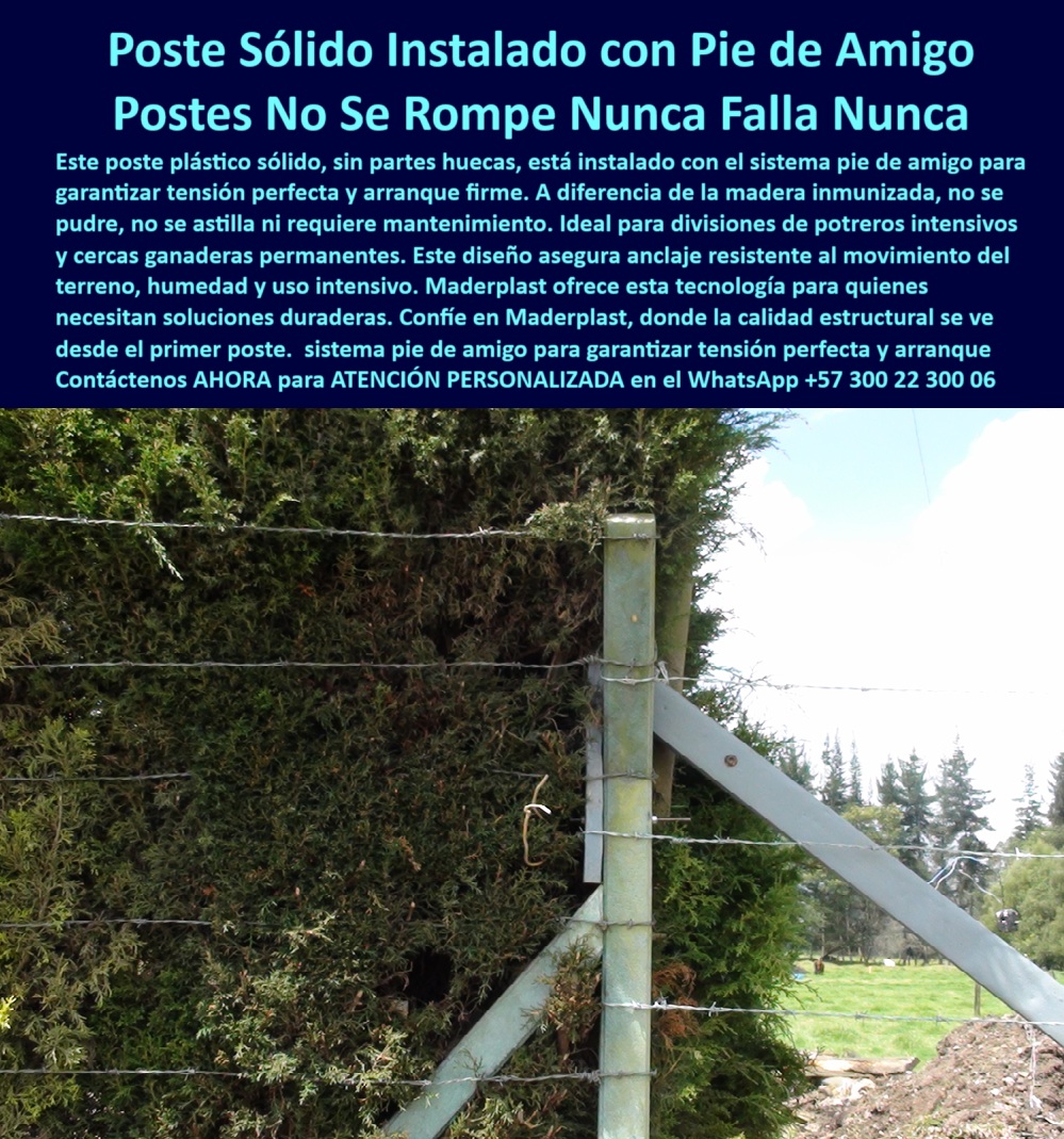 Pie De Amigo Poste De Arranque Poste De Puerta Postes De Broches Maderplast 0 poste plástico sólido sin partes huecas sustitutos de madera inmunizada para cercas postes plásticos para cerca de ganado intensivo tipos de postes Esta imagen nos muestra un poste plástico sólido sin partes huecas instalado desde el año 2001 en un cultivo de flores en Cajicá, su propósito ha sido funcionar como estructura de soporte para una barrera contra el viento y el polvo, aún se mantiene en pie después de más de 20 años sin oxidarse, astillarse ni deformarse, el sistema de pie de amigo visible garantiza tensión perfecta del alambre y resistencia estructural permanente, su diseño sólido sin huecos lo hace más fuerte que la madera inmunizada y más estable que el concreto en terrenos agrícolas, esta tecnología de Maderplast es ideal para floricultura, ganadería, cerramientos agrícolas y divisiones técnicas en condiciones climáticas exigentes, los postes no requieren pintura, no atraen hongos ni insectos, se instalan fácilmente con herramientas manuales o eléctricas, con Maderplast usted invierte una vez y protege sus cultivos por décadas, la calidad está garantizada por el tiempo y por la experiencia directa de los floricultores de la región. A CONTINUACIÓN UN LISTADO CON OTROS PRODUCTO SIMILARES DE MADERPLAST:, - poste plástico con más de 20 años instalado, - poste plástico que no se oxida en intemperie, - poste plástico que no se astilla ni raja, - poste-plástico-en-floricultura, - poste-para-viento-en-cultivos, - poste plástico técnico para floricultura intensiva, - poste-resistente-con-tensión, - poste plástico probado por floricultores colombianos, - poste plástico sólido instalado desde 2001, - Poste plástico para cultivos florales con viento fuerte, - poste-plástico-instalado-en-cajicá, - poste plástico para división de predios agrícolas, - poste plástico para soporte de barrera vegetal, - ¿Qué poste aguanta 20 años sin dañarse?, - poste plástico para estructuras de sombra rural, - poste plástico útil en viveros de alto valor, - Poste de color verde opaco sin mantenimiento visible, - poste plástico para instalación sin concreto, - Poste que sustituye madera inmunizada sin mantenimiento, - poste plástico ecológico para floricultura sostenible, - Estructura plástica rural con alambre tenso horizontal, - poste plástico con tornillo para alambre tenso, - poste plástico para cercas de jardín perimetral, - poste plástico para zonas de viento constante, - ¿Qué poste es resistente para flores en Cajicá?, - poste plástico compatible con red cortaviento, - Poste estructural con pie de amigo y 20 años de uso, - Poste plástico sólido instalado en Cajicá desde 2001, - poste plástico para uso ganadero y agrícola, - Poste plástico firme instalado en cultivo de flores en Cajicá, - poste plástico resistente a vientos agrícolas, - Poste estructural sólido sin partes huecas ni corrosión, - poste plástico con pie de amigo reforzado, - poste-sólido-para-flores, - poste plástico de larga duración para flores, - Esta imagen nos muestra un poste plástico sólido sin partes huecas instalado desde el año 2001 en un cultivo de flores en Cajicá, su propósito ha sido funcionar como estructura de soporte para una barrera contra el viento y el polvo, aún se mantiene en pie después de más de 20 años sin oxidarse, astillarse ni deformarse, el sistema de pie de amigo visible garantiza tensión perfecta del alambre y resistencia estructural permanente, su diseño sólido sin huecos lo hace más fuerte que la madera inmunizada y más estable que el concreto en terrenos agrícolas, esta tecnología de Maderplast es ideal para floricultura, ganadería, cerramientos agrícolas y divisiones técnicas en condiciones climáticas exigentes, los postes no requieren pintura, no atraen hongos ni insectos, se instalan fácilmente con herramientas manuales o eléctricas, con Maderplast usted invierte una vez y protege sus cultivos por décadas, la calidad está garantizada por el tiempo y por la experiencia directa de los floricultores de la región. A CONTINUACIÓN UN LISTADO CON OTROS PRODUCTO SIMILARES DE MADERPLAST:, - ¿Qué poste sirve como barrera de viento en cultivos?, - Cerca agrícola instalada desde 2001 aún funcional, - Poste en zona montañosa con vegetación protegida, - Cerca plástica con pie de amigo y refuerzo para viento, - poste-para-cercas-de-cultivos, - Poste agrícola resistente para floricultura de exportación, - ¿Cuál poste es mejor que la madera inmunizada?, - poste-plástico-sin-huecos, - Pie de amigo asegurando tensado de cerca agrícola, - poste-plástico-que-no-se-rompe, - poste plástico instalado en cultivo de flores, - poste plástico sin partes huecas para cultivos, - poste-con-más-de-20-años, - poste plástico que no se pudre en el tiempo, - poste-plástico-sólido-cultivo-flores-cajicá-soporte-viento.jpg, - poste plástico que reemplaza madera inmunizada, - Poste usado como cortaviento en floricultura técnica, - poste-plástico-con-pie-de-amigo, - ¿Dónde consigo postes sólidos sin partes huecas?, - Soporte para barrera natural vegetal en zona agrícola, - poste plástico para soporte estructural agrícola 0 Pie De Amigo Poste De Arranque Poste De Puerta Postes De Broches Maderplast 0 poste plástico sólido sin partes huecas, - sustitutos de madera inmunizada para cercas, - postes plásticos para cerca de ganado intensivo, - tipos de postes