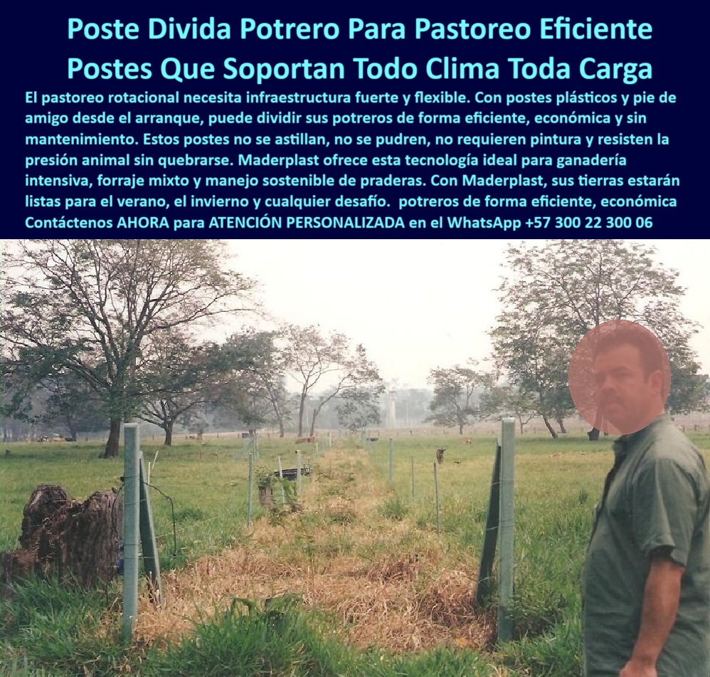 Pie De Amigo Poste De Arranque Poste De Puerta Postes De Broches Maderplast 0 postes plásticos en concreto reciclado para cercas rurales postes plásticos para linderos Cierre plástico rural resistente al ganado y al clima Sol Esta imagen nos muestra un potrero dividido eficientemente con postes plásticos Maderplast en una finca real en Villa de Leyva, donde el ganadero Ricardo Castañeda destaca la durabilidad y firmeza de los postes incluso en condiciones de lluvia y uso intensivo. Se observan postes con pie de amigo instalados firmemente sin concreto, soportando tensión de alambres eléctricos en terreno húmedo y blando, ideal para ganadería intensiva y rotación de potreros. Maderplast fabrica estos postes con polímero reciclado de alta ingeniería, resistentes a impactos, humedad, rayos UV y presión animal, sin necesidad de pintura ni aisladores. Son dieléctricos, ecológicos y no se pudren, ni se astillan. Su instalación es técnica, pero sencilla, logrando estructuras estables que no requieren mantenimiento. Gracias a su resistencia estructural, este sistema permite ahorrar en reposiciones, mano de obra y materiales. Maderplast garantiza una solución duradera para quienes buscan productividad, sustentabilidad y eficiencia. Este potrero puede estar al frente o detrás de cualquier finca ganadera profesional de Colombia. A CONTINUACIÓN UN LISTADO CON OTROS PRODUCTO SIMILARES DE MADERPLAST:, - poste para praderas húmedas con broches, - dame el mejor poste para ganadería intensiva sin mantenimiento, - ¿Qué tipo de poste es bueno para zonas húmedas e inclinadas?, - mejores postes plásticos para dividir praderas tropicales, - poste que no se pudre en invierno, - poste sin oxido para cercas rurales, - poste reciclado para cerca ganadera intensiva, - poste resistente a impactos ganaderos, - poste sin reemplazo para proyectos agrícolas, - poste-para-climas-extremos, - poste-reciclado-rural, - poste dieléctrico para zonas húmedas ganaderas, - estructura dieléctrica en potrero mojado con vacas, - ¿Cuál es el mejor poste para dividir potreros sin mantenimiento?, - poste sin pintura ni oxidación junto a división rural, - poste con pie de amigo para ganadería, - poste para división agropecuaria tecnificada, - cuál es el poste más durable para climas extremos y ganado, - poste firme con alambres tensados en terreno húmedo, - poste plástico instalado en potrero con pasto dividido, - poste firme para carga ganadera y clima extremo, - poste de arranque para cerca eléctrica rural, - poste sin pintura para rotación de pasto, - poste-plastico-ganadero-sin-mantenimiento-villa-de-leyva-testimonio.jpg, - poste-para-cercas-sin-pintura, - poste-divisor-de-fincas, - poste-plástico-dieléctrico, - división de potreros con postes reciclados resistentes, - poste resistente para suelos blandos y mojados, - poste de broche verde en cerca ganadera profesional, - cómo dividir potreros con postes sin concreto ni pintura, - Esta imagen nos muestra un potrero dividido eficientemente con postes plásticos Maderplast en una finca real en Villa de Leyva, donde el ganadero Ricardo Castañeda destaca la durabilidad y firmeza de los postes incluso en condiciones de lluvia y uso intensivo. Se observan postes con pie de amigo instalados firmemente sin concreto, soportando tensión de alambres eléctricos en terreno húmedo y blando, ideal para ganadería intensiva y rotación de potreros. Maderplast fabrica estos postes con polímero reciclado de alta ingeniería, resistentes a impactos, humedad, rayos UV y presión animal, sin necesidad de pintura ni aisladores. Son dieléctricos, ecológicos y no se pudren, ni se astillan. Su instalación es técnica, pero sencilla, logrando estructuras estables que no requieren mantenimiento. Gracias a su resistencia estructural, este sistema permite ahorrar en reposiciones, mano de obra y materiales. Maderplast garantiza una solución duradera para quienes buscan productividad, sustentabilidad y eficiencia. Este potrero puede estar al frente o detrás de cualquier finca ganadera profesional de Colombia. A CONTINUACIÓN UN LISTADO CON OTROS PRODUCTO SIMILARES DE MADERPLAST:, - poste para broche ganadero profesional, - poste para ganadería extensiva sostenible, - ¿Qué poste aguanta humedad, ganado y no se oxida?, - poste sin astillas ni fracturas, - instalación de cerca eléctrica en pastoreo extensivo, - poste para cercas duraderas sin concreto, - poste-plástico-ganadero, - poste-plástico-para-potreros, - testimonio de ganadero sobre poste plástico en finca, - poste-para-cercas-sin-mantenimiento, - poste-con-pie-de-amigo, - ¿Dónde puedo conseguir postes reciclables para ganadería en Colombia?, - poste plástico duradero para zonas tropicales, - poste fuerte para cerca de potrero eléctrico, - solución de postes reciclados resistentes para cercas agropecuarias, - poste para electrificación sin aisladores adicionales, - ¿Cómo puedo cercar potreros grandes con menos postes?, - poste divisor de potreros con alta resistencia, - poste ligero para terrenos inclinados con tensión, - poste ganadero resistente al sol y humedad, - poste plástico para potreros sin mantenimiento, - poste plástico ecológico para división de fincas, - poste con pie de amigo en zona de rotación intensiva, - poste-para-pastoreo-eficiente, - poste estructural plástico para manejo de ganado 0 Pie De Amigo Poste De Arranque Poste De Puerta Postes De Broches Maderplast 0 postes plásticos en concreto reciclado para cercas rurales, - postes-plásticos-para-linderos, - Cierre plástico rural resistente al ganado y al clima, - Sol