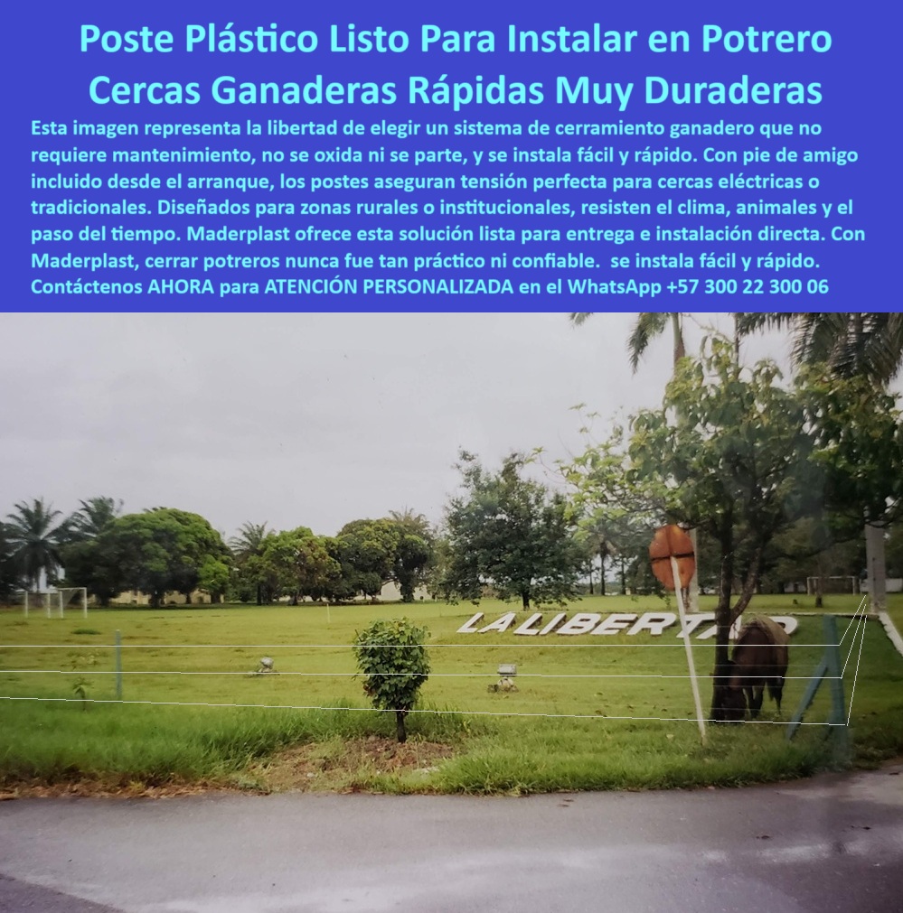 Pie De Amigo Poste De Arranque Poste De Puerta Postes De Broches Maderplast 0 tipos de postes plásticos para cerramientos Dónde comprar postes para instalar cerca ganadera fácil sistemas productivos con cerca eléctrica PP Esta imagen dice muy claramente cómo la libertad también es poder elegir cercas ganaderas que no se oxidan, no se parten y no necesitan refuerzos. Se muestra un sistema de cerramiento Maderplast instalado junto a la entrada de una finca rotulada como “La Libertad”, que transmite el mensaje de independencia frente a la madera y el concreto. Los postes están derechos, alineados y listos para funcionar sin obra pesada, pintura ni reemplazos. El sistema técnico con pie de amigo asegura tensión perfecta en el alambre y firmeza en todo tipo de terreno. Ideal para ganaderos que requieren rapidez, durabilidad y sostenibilidad. Este cerramiento es ejemplo de eficiencia rural moderna, con poste plástico que se instala en minutos. Perfecto para zonas con animales, clima húmedo y demanda de resultados inmediatos. Maderplast convierte el cerramiento ganadero en una solución ecológica, rentable y sin dolores de cabeza. Instale una vez, y disfrute por décadas. A CONTINUACIÓN UN LISTADO COMPLETO CON OTROS PRODUCTO SIMILARES DE MADERPLAST:, - poste plástico que no se oxida ni se parte, - sistema de cerramiento ganadero sin mantenimiento, - postes para proyectos rurales de instalación express, - poste plástico fuerte y fácil de transportar, - cerca eléctrica ganadera lista para uso inmediato, - ¿Qué poste es el más fácil de instalar en potrero?, - tipos de postes plásticos para potrero eficiente, - ¿Qué poste puedo poner sin usar herramientas pesadas?, - poste para división de potrero sin albañilería, - ¿Cuál es el poste más rápido para hacer una cerca ganadera?, - sistema-ganadero-sostenible, - poste-inmediato-para-cerca, - poste-ecológico-maderplast, - poste técnico listo para anclar alambre ganadero, - poste-fácil-de-instalar, - poste para cerramiento Maderplast instalación rápida, - ¿Dónde consigo postes listos para poner cerca?, - postes para dividir potreros sin necesidad de pintura, - instalación directa de poste plástico sin maquinaria, - postes ganaderos plásticos para inicio de proyecto, - poste-instalación-rápida-en-potreros-cerca-ganadera-libertad.jpg, - instalación de cerca ganadera lista para producción, - postes reciclados que no necesitan refuerzos, - cerca ganadera duradera con mínimo esfuerzo de montaje, - tecnología de cerramiento sin herramientas ni obra pesada, - cercas-sin-mantenimiento, - postes ideales para cerramientos institucionales rurales, - poste plástico Maderplast instalado junto a vía rural, - postes para cercas eléctricas con instalación rápida, - Esta imagen dice muy claramente cómo la libertad también es poder elegir cercas ganaderas que no se oxidan, no se parten y no necesitan refuerzos. Se muestra un sistema de cerramiento Maderplast instalado junto a la entrada de una finca rotulada como “La Libertad”, que transmite el mensaje de independencia frente a la madera y el concreto. Los postes están derechos, alineados y listos para funcionar sin obra pesada, pintura ni reemplazos. El sistema técnico con pie de amigo asegura tensión perfecta en el alambre y firmeza en todo tipo de terreno. Ideal para ganaderos que requieren rapidez, durabilidad y sostenibilidad. Este cerramiento es ejemplo de eficiencia rural moderna, con poste plástico que se instala en minutos. Perfecto para zonas con animales, clima húmedo y demanda de resultados inmediatos. Maderplast convierte el cerramiento ganadero en una solución ecológica, rentable y sin dolores de cabeza. Instale una vez, y disfrute por décadas. A CONTINUACIÓN UN LISTADO COMPLETO CON OTROS PRODUCTO SIMILARES DE MADERPLAST:, - poste-ganadero-plástico, - poste ecológico para instalación sin maquinaria, - postes erguidos sin oxidación ni deformación visibles, - poste plástico sin óxido ni quiebre para cercas, - poste plástico para cercas institucionales rurales, - soluciones prácticas para cercas ganaderas sin mantenimiento, - cerramiento ganadero duradero para climas exigentes, - ¿Qué poste no necesita pintura ni refuerzo?, - poste plástico de alta resistencia mecánica y ambiental, - poste ganadero plástico listo para instalación directa, - poste-de-arranque-rápido, - división-de-potreros-rápida, - solución ecológica y rápida para división de potreros, - pie de amigo firme en cerramiento ganadero inmediato, - postes-listos-para-potreros, - poste con pie de amigo para cerca fácil y rápida, - cerca alineada lista en finca con rotulación "La Libertad", - sistema de división de ganado para pastoreo eficiente, - poste duradero para zonas rurales de alta humedad, - poste-instalación-express, - cerca ganadera resistente y rápida de instalar, - postes plásticos listos para instalar cercas ganaderas 0 Pie De Amigo Poste De Arranque Poste De Puerta Postes De Broches Maderplast 0 tipos de postes plásticos para cerramientos, - Dónde comprar postes para instalar cerca ganadera fácil, - sistemas productivos con cerca  eléctrica, PP