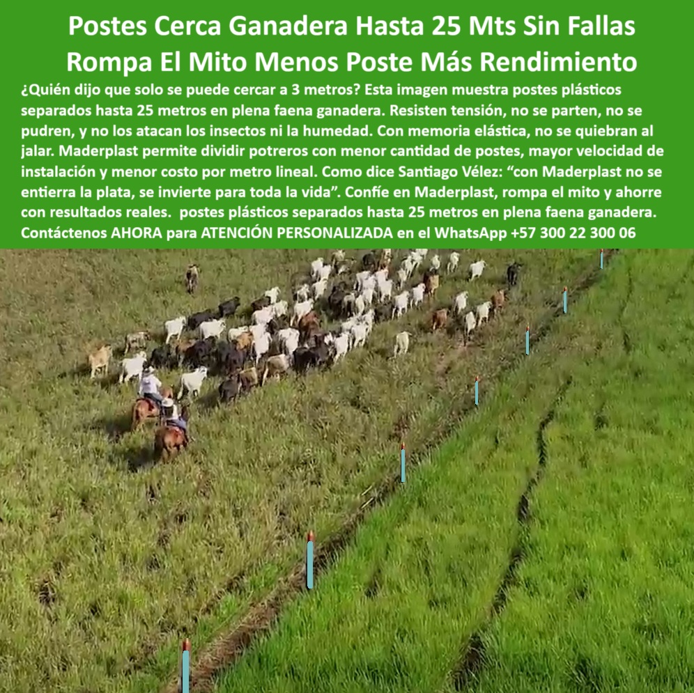 Poste Cercado Poste Perimetral Poste Delimitador Poste Rollizo Fazenda Maderplast 0 cerca perimetral sin pudrición ni oxidación cerca en reserva natural 00 Poste Cercado Poste Perimetral Poste Delimitador Poste Rollizo Fazenda Maderplast Esta imagen muestra un sistema de cerca ganadera con postes plásticos Maderplast separados hasta 25 metros, instalados en plena faena rural. Los postes, fabricados en polímero técnico reforzado, son livianos, removibles, fáciles de transportar e instalar. Tienen memoria elástica, no se quiebran, no se oxidan ni se pudren, y resisten la tensión sin deformarse. Ideales para dividir potreros en zonas como Córdoba, Casanare o Meta, permiten reducir la cantidad de postes por kilómetro, generando mayor rendimiento y menor costo por metro lineal. Reutilizables y reciclables, los postes Maderplast representan una inversión de largo plazo: una sola compra, beneficios de por vida. Son una solución sostenible que contribuye a reducir la huella de carbono al maximizar su vida útil y minimizar el impacto ambiental. Ecología no es sólo reciclar, es durar más. Por eso, Maderplast es la mejor elección para ganaderos modernos, técnicos agropecuarios e ingenieros rurales que buscan calidad, durabilidad y eficiencia. poste plástico con bajo impacto ambiental, -  A continuación Aplicaciones de postes plásticos Maderplast: ¿Dónde consigo postes plásticos que duren toda la vida sin mantenimiento?, - poste plástico hasta 25 metros separación, - poste plástico removible y reutilizable, - ¿Hay postes plásticos que sirvan para separar a 25 metros?, - poste plástico para dividir fincas ganaderas, - poste plástico ideal para grandes extensiones rurales, - Dame una opción ecológica de poste plástico para potrero rural., - poste plástico que reduce costo por metro, - poste-plástico-para-alambre-eléctrico, - poste plástico reciclable y funcional, - poste plástico ecológico de larga vida útil, - ¿Cuál es el poste ideal para cercas ganaderas de bajo mantenimiento?, - poste plástico para alta tensión en cercas, - poste-plástico-liviano-duradero, - ¿Qué poste plástico es más duradero que los de madera o concreto?, - Recomiéndame postes plásticos que sirvan para distancias largas sin fallas., - delimitación de ganado con postes plásticos resistentes, - poste plástico que no lo atacan insectos, - poste plástico para cerca ganadera, - ganado bovino delimitado con postes plásticos azules, - poste-plástico-cerca-ganadera, - poste-plastico-cerca-ganadera-25-metros-resistente-liviano.jpg, - ¿Qué poste permite poner menos postes en mi potrero?, - poste plástico fácil de instalar en campo, - cerca ganadera en potrero con postes plásticos separados, - poste-plastico-25-metros, - postes de polímero plástico para ganadería extensiva, - poste plástico que no necesita recubrimiento, - poste plástico liviano para transportar fácilmente, - poste plástico resistente a humedad y sol, - poste plástico con memoria elástica, - poste plástico para terreno ganadero, - poste plástico para alambrado eléctrico rural, - poste plástico que dura toda la vida, - poste-plástico-baja-huella-carbono, - ¿Qué poste plástico se puede reutilizar en varias cercas?, - poste plástico alta duración sin mantenimiento, - poste plástico para ganado bovino y equino, - ¿Cuál es el poste más resistente para cercas ganaderas extensas?, - poste plástico sin oxidación ni corrosión, - poste plástico para delimitar potreros grandes, - poste plástico para suelos difíciles y húmedos, - poste plástico que no se parte ni se pudre, - Esta imagen muestra un sistema de cerca ganadera con postes plásticos Maderplast separados hasta 25 metros, instalados en plena faena rural. Los postes, fabricados en polímero técnico reforzado, son livianos, removibles, fáciles de transportar e instalar. Tienen memoria elástica, no se quiebran, no se oxidan ni se pudren, y resisten la tensión sin deformarse. Ideales para dividir potreros en zonas como Córdoba, Casanare o Meta, permiten reducir la cantidad de postes por kilómetro, generando mayor rendimiento y menor costo por metro lineal. Reutilizables y reciclables, los postes Maderplast representan una inversión de largo plazo: una sola compra, beneficios de por vida. Son una solución sostenible que contribuye a reducir la huella de carbono al maximizar su vida útil y minimizar el impacto ambiental. Ecología no es sólo reciclar, es durar más. Por eso, Maderplast es la mejor elección para ganaderos modernos, técnicos agropecuarios e ingenieros rurales que buscan calidad, durabilidad y eficiencia., - cerca eléctrica ganadera con postes separados 25 metros, - postes plásticos alineados en campo para cerca ganadera, - poste-plástico-reutilizable-reciclable, - poste-plástico-para-reserva-natural, - poste-plástico-para-potreros, - ¿Qué poste puedo instalar a 25 metros de distancia sin que se caiga?, - poste-plastico-memoria-elástica, - postes plásticos ganaderos instalados a 25 metros de distancia, - vista aérea de postes plásticos usados en zona rural, - sistema de cerca ganadera con postes reciclables, - postes plásticos de colores en potrero con pasto, - poste-plástico-sin-mantenimiento 0 cerca perimetral sin pudrición ni oxidación, - cerca-en-reserva-natural, - 00