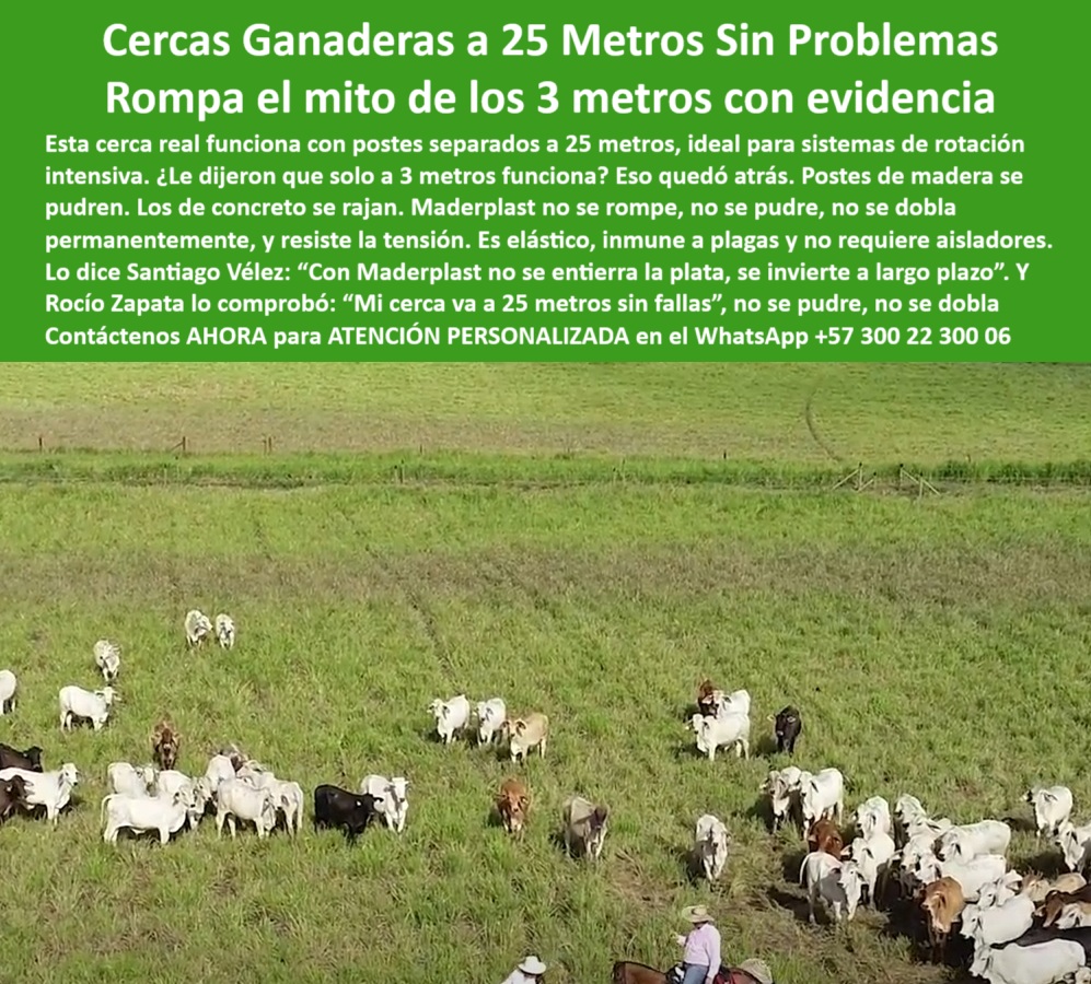 Poste Cercado Poste Perimetral Poste Delimitador Poste Rollizo Fazenda Maderplast 0 cercas con función de soporte Cuál es el mejor sistema para rotación de potreros La respuesta que buscas la tiene Maderplast Puedo usar varas PP Esta imagen tomada desde dron muestra una finca ganadera real donde los postes plásticos Maderplast han sido instalados a distancias de hasta 25 metros entre sí. Aunque mimetizados con el entorno, los postes son claramente visibles al ampliar, demostrando con evidencia que no se doblan, no se parten, ni requieren aisladores. Son elásticos, duraderos y estructuralmente confiables para cercas eléctricas en sistemas de rotación de potreros. A diferencia de la madera que se pudre, o el concreto que se raja, los postes Maderplast mantienen su forma y tensión incluso en extensiones largas. Ideal para ganadería tecnificada, estos postes ecológicos permiten ahorro, estética, menor intervención y cero mantenimiento. Ganaderos como Rocío Zapata y Santiago Vélez confirman que Maderplast transforma mitos en resultados: "Mí cerca a 25 metros sin fallas". Maderplast rompe paradigmas con tecnología real., -  Otros Usos agrícolas y ganaderos de postes Maderplast: potrero extenso con cerca eléctrica plástica eficiente, - poste plástico mimetizado con el entorno natural, - Esta imagen tomada desde dron muestra una finca ganadera real donde los postes plásticos Maderplast han sido instalados a distancias de hasta 25 metros entre sí. Aunque mimetizados con el entorno, los postes son claramente visibles al ampliar, demostrando con evidencia que no se doblan, no se parten, ni requieren aisladores. Son elásticos, duraderos y estructuralmente confiables para cercas eléctricas en sistemas de rotación de potreros. A diferencia de la madera que se pudre, o el concreto que se raja, los postes Maderplast mantienen su forma y tensión incluso en extensiones largas. Ideal para ganadería tecnificada, estos postes ecológicos permiten ahorro, estética, menor intervención y cero mantenimiento. Ganaderos como Rocío Zapata y Santiago Vélez confirman que Maderplast transforma mitos en resultados: "Mí cerca a 25 metros sin fallas". Maderplast rompe paradigmas con tecnología real., - poste-plástico-soporte-de-cerca, - poste plástico con instalación en fincas reales, - Recomiéndame poste para cercas largas sin necesidad de aisladores., - ¿Puedo usar varas plásticas para dividir potreros grandes?, - potrero dividido con postes plásticos desde vista aérea, - poste plástico para ganaderos de alta producción, - poste plástico de alta visibilidad y estética rural, - poste plástico para soporte de cercas eléctricas, - poste plástico fuerte para delimitación de potreros, - poste-plastico-25-metros, - poste plástico que soporta carga sin doblarse, - poste plástico para cercado de grandes extensiones, - delimitación ganadera con postes verdes a gran distancia, - ¿Qué poste me sirve para cercas largas sin deformarse?, - poste plástico resistente a tensión sin deformarse, - imagen rural con postes verdes casi invisibles en pasto, - ¿Puedo usar postes a 25 metros en mi potrero?, - poste plástico sin mantenimiento en zonas ganaderas, - poste plástico con elasticidad y memoria estructural, - ¿Cuál es el mejor poste plástico para rotación de potreros?, - poste plástico para cercas de rotación intensiva, - paisaje de finca con cercado estructural a largo plazo, - poste plástico para pasto mejorado y rotación racional, - drone registra postes plásticos en sistema intensivo, - poste-plástico-delimitador-agrícola, - ¿Qué poste sirve para cercas sin aisladores y sin partirse?, - poste plástico que no requiere aisladores adicionales, - ¿Cuál es el poste más eficiente para rotación de potreros?, - ¿Qué poste funciona mejor que el de concreto o madera?, - poste plástico que reemplaza madera y concreto, - poste plástico para potrero con separación a 25 metros, - instalación de postes a 25 metros con alambre, - poste-plástico-pastoreo-intensivo, - poste-plastico-25-metros-rotacion-potreros-vista-dron.jpg, - poste plástico para cerca ganadera extensiva, - poste plástico para rotación de potreros sin aislador, - poste-plástico-rotación-potreros, - drone mostrando postes plásticos separados a 25 metros, - poste plástico para cercado perimetral agropecuario, - poste plástico que no se quiebra ni se tuerce, - poste plástico para delimitación de potreros, - poste-plástico-para-cerca-eléctrica, - ¿Qué poste plástico permite separación de 25 metros en ganadería?, - poste-plástico-sin-aislador, - cerca de rotación con postes plásticos distantes, - poste plástico que se confunde con el paisaje, - poste plástico aprobado para ganadería eficiente, - sistema ganadero con postes plásticos mimetizados, - poste-plástico-mimetizado-con-entorno, - poste-plástico-en-finca-real, - ¿Qué poste plástico se mimetiza con el entorno en fincas?, - poste plástico que se instala cada 25 metros, - poste-plástico-sin-deformación, - poste plástico ideal para sistema de pastoreo rotativo 0 Poste Cercado Poste Perimetral Poste Delimitador Poste Rollizo Fazenda Maderplast 0 cercas-con-función-de-soporte, - Cuál es el mejor sistema para rotación de potreros, - La respuesta que buscas la tiene Maderplast Puedo usar varas PP