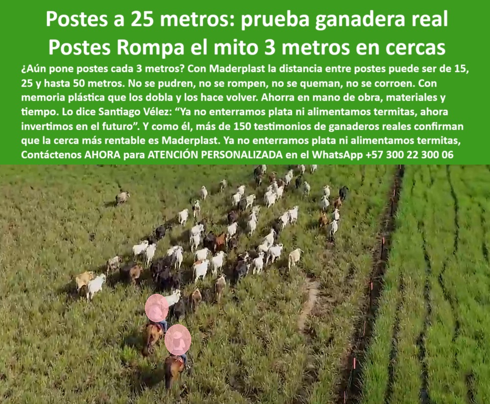 Poste Cercado Poste Perimetral Poste Delimitador Poste Rollizo Fazenda Maderplast 0 estructura plástica división de lotes seguridad en cercas anti incendio cerca perimetral sin pudrición ni oxidación cerca en reserva natural  Esta imagen capturada desde un dron muestra con claridad la efectividad de los postes plásticos Maderplast en sistemas de pastoreo inteligente. A un lado, el pasto ya consumido y pisoteado; al otro, el pasto intacto, listo para entrar. La cerca eléctrica, sostenida por postes Maderplast separados a 25 metros, divide las franjas de forma precisa y duradera, sin necesidad de aisladores, pintura o mantenimiento. Son resistentes a rayos UV, humedad, estiércol, fuego e incluso al tiempo. Los postes no se oxidan, no se pudren, y vuelven a su forma gracias a su memoria plástica. Maderplast convierte la rotación de potreros en una estrategia ganadera rentable, ahorrando mano de obra y maximizando el aprovechamiento de forraje. Una inversión técnica, ecológica y probada en campo real. Con Maderplast, el pasto trabaja mejor para usted., -  Estos son usos y Beneficios estructurales y eléctricos de postes plásticos: poste plástico para dividir lotes con precisión, - Esta imagen capturada desde un dron muestra con claridad la efectividad de los postes plásticos Maderplast en sistemas de pastoreo inteligente. A un lado, el pasto ya consumido y pisoteado; al otro, el pasto intacto, listo para entrar. La cerca eléctrica, sostenida por postes Maderplast separados a 25 metros, divide las franjas de forma precisa y duradera, sin necesidad de aisladores, pintura o mantenimiento. Son resistentes a rayos UV, humedad, estiércol, fuego e incluso al tiempo. Los postes no se oxidan, no se pudren, y vuelven a su forma gracias a su memoria plástica. Maderplast convierte la rotación de potreros en una estrategia ganadera rentable, ahorrando mano de obra y maximizando el aprovechamiento de forraje. Una inversión técnica, ecológica y probada en campo real. Con Maderplast, el pasto trabaja mejor para usted., - poste plástico sin oxidación ni mantenimiento, - ¿Qué poste usar para evitar pisoteo y aprovechar mejor el pasto?, - poste plástico para uso en cercas de rotación, - poste plástico sin pintura para zonas protegidas, - poste plástico para cercas en reservas naturales, - pradera en rotación dividida por postes de polímero, - poste plástico con precisión para alambre de rotación, - ¿Qué poste usar para cercas visibles desde dron en finca lechera?, - poste plástico para división visible desde dron, - división de pastura para rotación regenerativa en finca, - ganado controlado por cerca con postes plásticos visibles, - potrero dividido en dos franjas por postes plásticos verdes, - ¿Cómo dividir potreros para rotación inteligente con postes plásticos?, - poste-plástico-anti-incendio, - poste plástico para reducción de desgaste de suelo, - vista aérea de rotación de potreros con postes reciclados, - Poste plástico ideal para pastoreo controlado y eficiente., - poste-plástico-pastoreo-inteligente, - ganado confinado entre franjas separadas por cercas eléctricas, - ¿Qué poste resiste al sol y a incendios en praderas secas?, - poste plástico para optimizar consumo de pasto, - poste-plastico-visto-desde-dron, - separación efectiva de lotes en pasto verde intenso, - poste plástico para zonas de reserva y conservación, - ¿Cuál es el mejor poste plástico para dividir praderas por rotación?, - poste-plástico-divide-lotes, - poste plástico para potrero con pasto intensivo, - poste plástico usado en ganadería regenerativa, - poste plástico para pastoreo inteligente intensivo, - pastoreo inteligente delimitado con postes sin óxido, - poste plástico anti incendio para praderas secas, - poste-plástico-rotación-pasturas, - poste-plástico-sin-mantenimiento, - ¿Qué poste me ayuda a mejorar productividad y sanidad de pasturas?, - poste plástico para separación efectiva del ganado, - poste plástico para manejo eficiente de alimentación, - poste plástico que no se rompe al tensar alambre, - poste-plástico-con-evidencia-real, - Poste duradero que no se quema ni se oxida para reserva ganadera., - poste plástico que separa franjas de pasto productivo, - ¿Cómo hacer rotación de ganado sin que los postes se caigan?, - cerca de rotación con postes plásticos a 25 metros, - poste plástico aprobado para rotación estratégica, - poste-plástico-para-cerca-electrica, - pasto pisoteado a un lado y pasto fresco al otro, - poste-plastico-control-pasto, - poste plástico para rotación de pasturas ganaderas, - poste plástico verde que se mimetiza con el paisaje, - poste-plastico-rotacion-potreros-pastoreo-inteligente-dron.jpg, - poste plástico para control de pisoteo de pastura, - poste plástico resistente al calor, orina y estiércol, - poste plástico que permite pasto descanso y recuperación, - poste-plástico-para-reserva-natural, - ¿Qué poste permite dividir franjas sin dañar el pasto?, - poste plástico que permite ahorro de mano de obra 0 Poste Cercado Poste Perimetral Poste Delimitador Poste Rollizo Fazenda Maderplast 0 estructura plástica división de lotes, - seguridad-en-cercas-anti-incendio, - cerca perimetral sin pudrición ni oxidación, - cerca-en-reserva-natural 