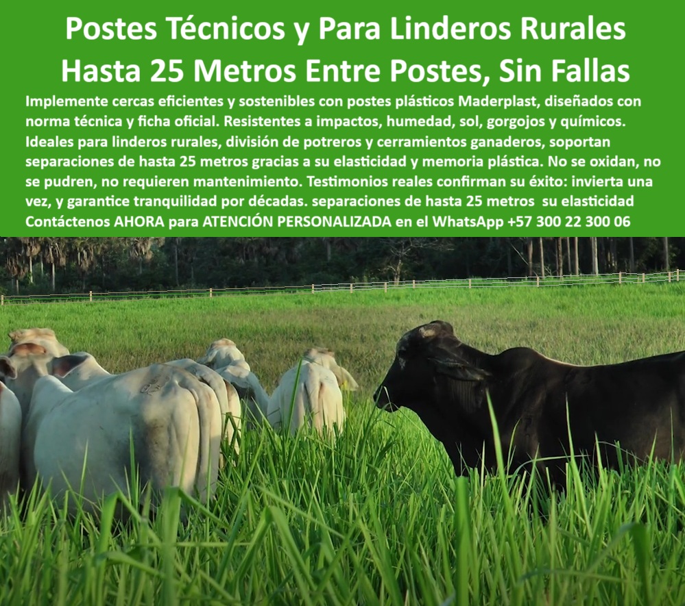 Poste Cercado Poste Perimetral Poste Delimitador Poste Rollizo Fazenda Maderplast 0 postes plásticos para cercas de linderos rurales compra de postes plásticos con ficha técnica oficial componente plástico con norma técnica La imagen muestra un potrero ganadero con postes plásticos Maderplast instalados con separación de hasta 25 metros. Aunque solo uno se aprecia en primer plano, la división completa del potrero es visible al fondo gracias a la alineación perfecta y a las puntas pintadas de los postes. Esta estrategia mejora la inspección visual a distancia y facilita el manejo técnico de linderos rurales. Los postes Maderplast están fabricados con polímeros reciclados estructurales, tienen ficha técnica, cumplen norma y resisten impactos, humedad, gorgojos, químicos y rayos UV. No se pudren, no se oxidan y no requieren mantenimiento. Con memoria plástica, soportan la tensión del alambre sin deformarse. Maderplast garantiza divisiones precisas, visibles y perdurables, diseñadas para compradores técnicos, ganaderos exigentes y proyectos rurales institucionales. La solución profesional para cercas visibles, rentables y normadas., -  Aquí lista de productos y Razones para elegir postes reciclados Maderplast: cercado lineal profesional con postes plásticos normados, - poste plástico con validación en campo real, - poste plástico con visibilidad mejorada en campo abierto, - La imagen muestra un potrero ganadero con postes plásticos Maderplast instalados con separación de hasta 25 metros. Aunque solo uno se aprecia en primer plano, la división completa del potrero es visible al fondo gracias a la alineación perfecta y a las puntas pintadas de los postes. Esta estrategia mejora la inspección visual a distancia y facilita el manejo técnico de linderos rurales. Los postes Maderplast están fabricados con polímeros reciclados estructurales, tienen ficha técnica, cumplen norma y resisten impactos, humedad, gorgojos, químicos y rayos UV. No se pudren, no se oxidan y no requieren mantenimiento. Con memoria plástica, soportan la tensión del alambre sin deformarse. Maderplast garantiza divisiones precisas, visibles y perdurables, diseñadas para compradores técnicos, ganaderos exigentes y proyectos rurales institucionales. La solución profesional para cercas visibles, rentables y normadas., - poste-plastico-visible-desde-lejos, - poste plástico verde en potrero con división al fondo, - poste plástico con pigmento estabilizado UV, - poste plástico apto para separación técnica de lotes, - poste-plastico-sin-deformacion, - poste plástico de instalación técnica profesional, - poste plástico ideal para cerca larga sin deformaciones, - Poste plástico certificado para división de terrenos agrícolas., - poste plástico reciclado para ganado y potrero, - poste-plastico-para-linderos-rurales, - poste plástico con ficha técnica oficial ganadera, - poste plástico con memoria estructural certificada, - poste plástico con elasticidad para separación de 25 metros, - división de potrero con sistema técnico de postes reciclados, - poste-plastico-cercas-tecnicas, - poste plástico dieléctrico sin aisladores externos, - poste plástico para cerramiento perimetral agrícola, - cerca ganadera con postes difíciles de ver sin pintura, - poste plástico con pintura visible para largas distancias, - poste plástico que cumple norma técnica de cerramiento, - ¿Cuál es el mejor poste plástico para potrero con norma técnica?, - Poste plástico con ficha técnica para linderos rurales visibles., - poste plástico para visualización desde drone o carretera, - división técnica de potrero con postes visibles pintados, - trazado de cerca rural con postes rectos y espaciados, - poste-plastico-lindero-rural-25-metros-norma-tecnica-visible.jpg, - poste plástico individual al frente y cercado visible al fondo, - ¿Qué poste plástico tiene ficha técnica y cumple norma rural?, - ¿Cuál poste cumple norma para separaciones de hasta 25 metros?, - poste plástico de precisión para trazados rurales, - poste-plastico-pintado-en-la-punta, - ¿Qué poste plástico se ve desde lejos y resiste el clima?, - poste plástico certificado para uso rural intensivo, - poste-plástico-estructural-rural, - poste-plástico-con-ficha-técnica, - poste-plástico-para-dividir-potreros, - poste plástico compatible con alambre de púas, - ¿Dónde comprar postes visibles para cercas largas sin mantenimiento?, - poste-plástico-con-norma-oficial, - ¿Qué poste resiste impacto, humedad y se ve desde lejos?, - poste plástico para cercas rectas y funcionales, - poste-plastico-25-metros-visibilidad, - poste plástico estructural con ficha técnica de resistencia, - ¿Qué poste puedo usar para dividir linderos a 25 metros?, - poste plástico sin pintura adicional ni mantenimiento, - poste plástico que resiste humedad, impacto y gorgojo, - potrero amplio con postes plásticos a gran distancia, - poste plástico apto para inspección visual remota, - poste plástico para sistemas normados de división, - poste plástico para división de linderos rurales, - sistema de cerramiento con postes visibles solo desde lejos, - Poste estructural plástico con pintura de identificación lejana., - ganado frente a poste plástico marcado en la punta 0 0 Poste Cercado Poste Perimetral Poste Delimitador Poste Rollizo Fazenda Maderplast 0 postes plásticos para cercas de linderos rurales, - compra de postes plásticos con ficha técnica oficial, - componente plástico con norma técnica, - 0