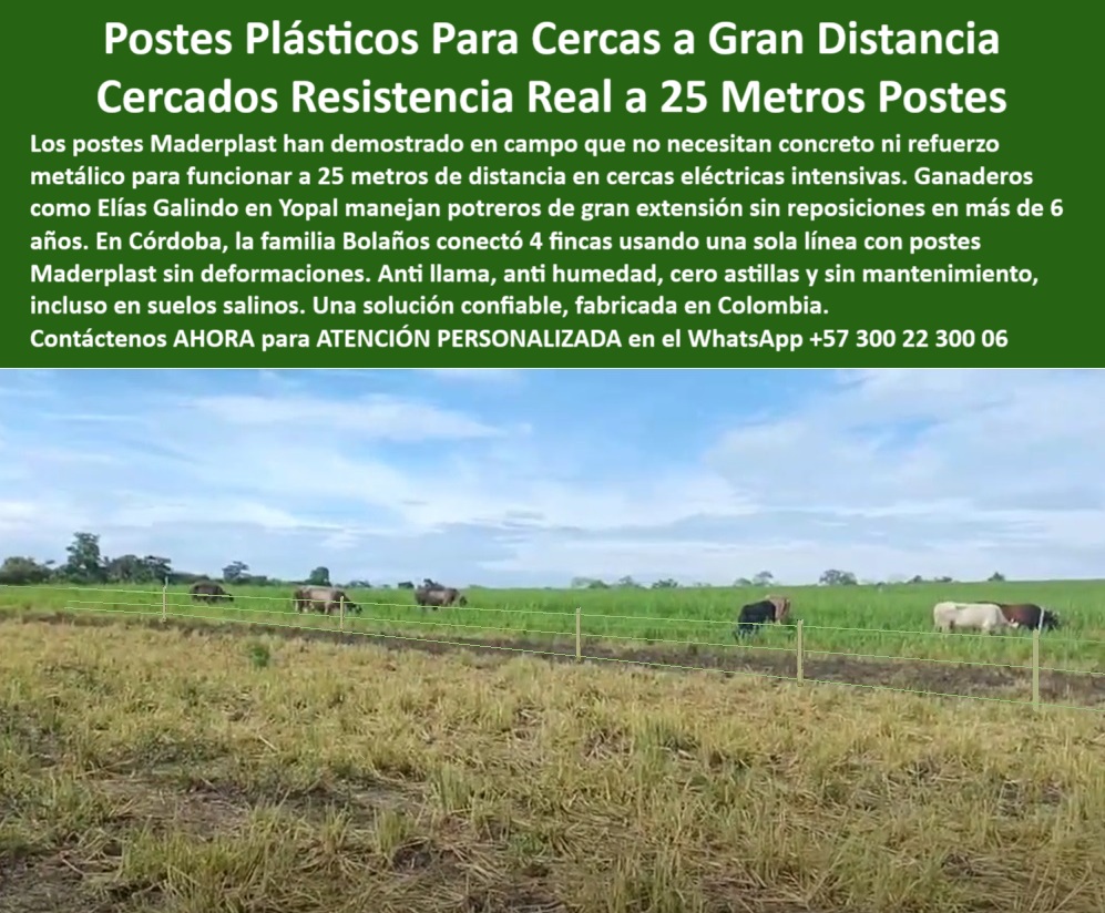 Poste De Cerca Eléctrica Pastoreo Intensivo Poste Gran Extensión A 25 Mts Maderplast 0 poste reciclado para ambientes salinos poste plástico fabricado en Colombia postes anti llama agrícolas postes plásticos de electrificada  La imagen muestra un sistema de pastoreo intensivo en acción: un potrero ya aprovechado y otro completamente verde, separado por una cerca con postes plásticos Maderplast instalados a 25 metros de distancia sin concreto ni refuerzos. Estos postes Maderplast están diseñados para resistir ambientes salinos, humedad constante y el impacto directo del ganado. Con más de seis años sin reposiciones en Yopal y experiencias exitosas como las de la familia Bolaños en Córdoba, estos postes han demostrado ser la mejor solución para dividir potreros de gran extensión. Son anti llama, reciclables, no se astillan, no se pudren y no requieren mantenimiento. Fabricados en Colombia para los retos reales del campo colombiano, Maderplast sigue siendo la opción de los ganaderos que buscan eficiencia, tecnología y sostenibilidad. LISTADO DE OTROS PRODUCTOS SIMILARES DE MADERPLAST:, - poste plástico para eficiencia productiva ganadera, - poste plástico para transición entre lotes ganaderos, - Poste fabricado en Colombia para ganadería de precisión., - poste-plastico-rotacion-potreros-gran-extension-colombia.jpg, - poste plástico ideal para sabanas de Yopal o Córdoba, - poste plástico con validación por ganaderos reales, - cerca técnica en sabana con postes sin concreto ni pintura, - poste plástico con prueba real en ganadería técnica, - Poste para rotación intensiva con separación funcional., - poste plástico para evitar sobrepastoreo intensivo, - poste-plástico-llama-agricola, - poste plástico resistente en praderas tropicales, - poste-plástico-para-ambiente-salino, - La imagen muestra un sistema de pastoreo intensivo en acción: un potrero ya aprovechado y otro completamente verde, separado por una cerca con postes plásticos Maderplast instalados a 25 metros de distancia sin concreto ni refuerzos. Estos postes Maderplast están diseñados para resistir ambientes salinos, humedad constante y el impacto directo del ganado. Con más de seis años sin reposiciones en Yopal y experiencias exitosas como las de la familia Bolaños en Córdoba, estos postes han demostrado ser la mejor solución para dividir potreros de gran extensión. Son anti llama, reciclables, no se astillan, no se pudren y no requieren mantenimiento. Fabricados en Colombia para los retos reales del campo colombiano, Maderplast sigue siendo la opción de los ganaderos que buscan eficiencia, tecnología y sostenibilidad. LISTADO DE OTROS PRODUCTOS SIMILARES DE MADERPLAST:, - poste plástico para mejorar uso del pasto por hectárea, - poste plástico que evita reposiciones en años, - poste plástico para dividir potrero desde el aire, - ¿Cuál poste puedo poner a 25 metros en finca grande?, - potrero de ganado delimitado con postes sin deformación, - poste-plastico-gran-extensión-ganadera, - poste plástico para cercas en rotación intensiva, - poste-plástico-dividir-potreros, - poste-plástico-rotación-intensiva, - poste plástico para ganadería con bajo impacto ambiental, - ¿Cuál poste funciona sin fallar en terrenos salinos?, - Poste plástico para dividir potreros sin mantenimiento., - poste plástico para dividir potreros sin concreto, - poste-plástico-córdoba-yopal-meta, - ¿Dónde comprar poste para pasto rotacional eléctrico?, - poste-plástico-reciclado-colombia, - poste plástico reciclado para suelos salinos, - Poste para electrificación ganadera a 25 metros sin concreto., - rotación ganadera tecnificada con postes plásticos, - poste-plástico-cerca-electrificada, - división productiva de pasto con cerca electrificada, - poste plástico para electrificación de potrero grande, - poste plástico funcional en suelos con salinidad, - poste plástico para manejo de pastoreo rotacional, - separación agrícola de fincas con cerca resistente, - poste plástico sin astillas ni mantenimiento, - ¿Qué poste usar para dividir pasto entre ciclos ganaderos?, - pastizal rotado con postes durables en terreno salino, - potrero dividido para rotación con postes plásticos reciclados, - poste plástico sin aisladores para línea continua, - poste plástico ideal para rotación de cargas animales, - imagen aérea de sistema de pastoreo intensivo, - línea de cercado con postes de 25 metros comprobados, - poste-plastico-25-metros-reales, - poste-plástico-para-pastura-controlada, - poste plástico duradero contra fuego, agua y barro, - ¿Qué poste sirve para rotación intensiva de potreros?, - poste plástico que no se deforma ni colapsa, - poste plástico para dividir fincas de gran extensión, - poste plástico con separación funcional de 25 metros, - poste plástico colombiano de alta duración, - estructura ganadera sostenible con postes colombianos, - Poste reciclado aprobado en suelos salinos ganaderos. 0 Poste De Cerca Eléctrica Pastoreo Intensivo Poste Gran Extensión A 25 Mts Maderplast 0 poste reciclado para ambientes salinos, - poste plástico fabricado en Colombia, - postes anti llama agrícolas, - postes plásticos de electrificada 