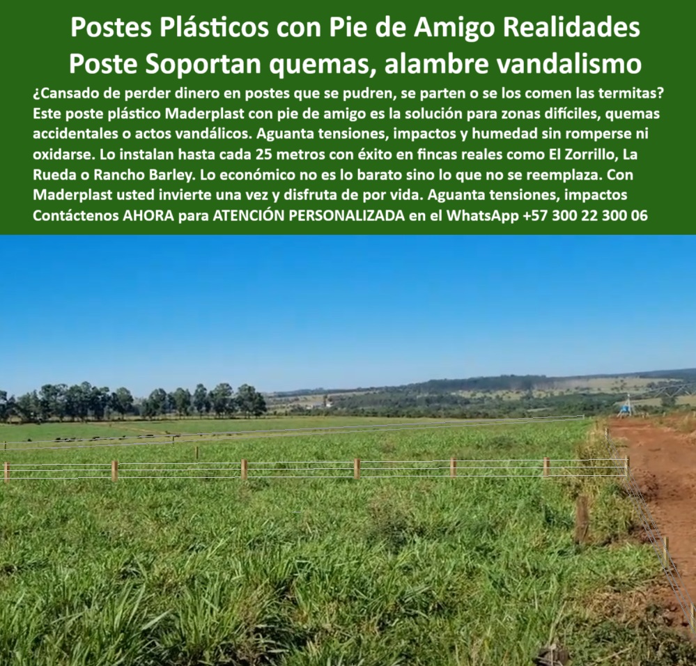Poste Para Cerco Eléctrico Poste De Alambre Púa Distancia A 25 Mts Maderplast 0 Poste plástico con pie de amigo instalado en finca Existe un poste que soporte quemas o vandalismo perfiles sintéticos para proyectos sostenibles  La imagen muestra un potrero cercado con postes plásticos Maderplast equipados con pie de amigo, instalados directamente en el suelo sin uso de concreto. Estos postes son ideales para zonas rurales con riesgo de incendios, vandalismo, humedad o alta tensión en el alambre. Fabricados con polímero reciclado estructural, los postes Maderplast no se oxidan, no se pudren, ni se fracturan. Gracias a su memoria plástica, absorben impactos y regresan a su forma original, garantizando una alineación permanente. La instalación es rápida y sin maquinaria pesada, optimizando costos y tiempos en fincas ganaderas. Con Maderplast, los ganaderos como los de El Zorrillo o Rancho Barley han comprobado que “lo barato es lo que no se reemplaza”. Los postes Maderplast son la mejor solución para cercas duraderas, seguras y sin mantenimiento. LISTADO DE OTROS PRODUCTOS SIMILARES DE MADERPLAST:, - poste reciclado que no se oxida ni parte, - poste de bajo costo por kilómetro sin reemplazo, - poste-resistente-a-impactos-y-humedad, - poste que no se pudre ni se fractura, - poste-plástico-con-pie-de-amigo, - poste plástico con pie de amigo para terreno difícil, - poste que soporta quemas en cercas ganaderas, - poste plástico para evitar robos y daños, - poste estructural ideal para sabanas ganaderas, - poste-plástico-instalado-en-finca-real, - ¿Dónde consigo poste plástico con pie de amigo?, - poste con alta resistencia para actos vandálicos, - poste-antivandálico-para-seguridad-rural, - poste-para-fincas-sin-mantenimiento, - La imagen muestra un potrero cercado con postes plásticos Maderplast equipados con pie de amigo, instalados directamente en el suelo sin uso de concreto. Estos postes son ideales para zonas rurales con riesgo de incendios, vandalismo, humedad o alta tensión en el alambre. Fabricados con polímero reciclado estructural, los postes Maderplast no se oxidan, no se pudren, ni se fracturan. Gracias a su memoria plástica, absorben impactos y regresan a su forma original, garantizando una alineación permanente. La instalación es rápida y sin maquinaria pesada, optimizando costos y tiempos en fincas ganaderas. Con Maderplast, los ganaderos como los de El Zorrillo o Rancho Barley han comprobado que “lo barato es lo que no se reemplaza”. Los postes Maderplast son la mejor solución para cercas duraderas, seguras y sin mantenimiento. LISTADO DE OTROS PRODUCTOS SIMILARES DE MADERPLAST:, - poste para delimitación de cultivos con seguridad, - poste visible con pie de refuerzo en campo abierto, - Poste Maderplast que soporte tensión de alambre y vandalismo, - poste-reciclado-con-protección-avanzada, - poste fuerte para protección perimetral rural, - ¿Cuál poste aguanta vandalismo y quemas para potreros?, - poste plástico anclado directamente al suelo rural, - sistema de postes plásticos contra quemas y robos, - poste Maderplast ideal para reemplazo de madera, - ¿Qué poste es mejor para zonas con incendios o humedad?, - poste ecológico que no requiere mantenimiento, - poste con pie de amigo instalado en zona rural amplia, - cercado firme con poste plástico sin mantenimiento, - poste sin astillas para proyectos sostenibles, - ¿Cuál es el poste ideal para finca en zona conflictiva?, - Recomiéndame poste antivandálico para cerca de finca sin concreto, - poste-que-soporta-vandalismo-y-quemas, - poste sin fundación de concreto para potreros, - división ganadera con postes reciclables antivandalismo, - poste plástico sin concreto para zonas calientes, - poste antivandalismo para zonas rurales, - poste alineado para 25 metros sin deformación, - poste-plastico-pie-de-amigo-antivandalico-ganaderia-sin-concreto.jpg, - poste con pie de apoyo para suelo blando, - ¿Qué poste reemplaza la madera sin mantenimiento?, - poste con memoria plástica sin desalineación, - poste-maderplast-para-potreros-extremos, - poste Maderplast sin concreto en finca productiva, - Poste con pie de amigo resistente a humedad y ataques, - poste de polímero para dividir grandes potreros, - estructura reciclada instalada en sabana ganadera, - poste de instalación rápida sin herramientas pesadas, - poste-sin-concreto-para-suelos-blandos, - poste seguro para ganadería en zonas críticas, - ¿Qué poste puedo instalar en finca sin concreto?, - ¿Qué poste plástico sirve para zonas afectadas por incendios rurales?, - cercado ecológico con postes resistentes al vandalismo, - poste sin pintura para climas extremos, - poste para finca con humedad y alto impacto, - poste-para-cercas-en-zonas-húmedas, - poste firme para finca afectada por incendios, - poste resistente para cercas de 25 metros 0 Poste Para Cerco Eléctrico Poste De Alambre Púa Distancia A 25 Mts Maderplast 0 Poste plástico con pie de amigo instalado en finca, - ¿Existe un poste que soporte quemas o vandalismo, - perfiles sintéticos para proyectos sostenibles, 