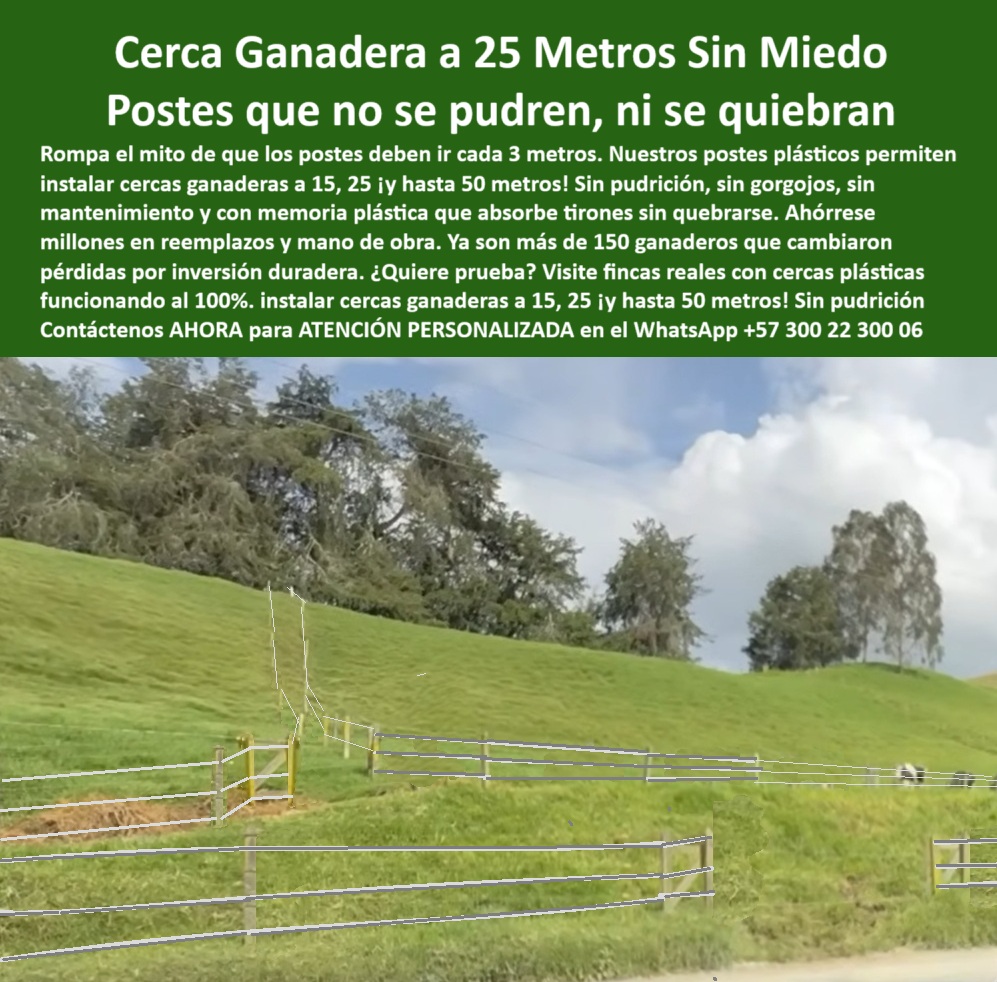 Poste Para Cerco Eléctrico Poste De Alambre Púa Distancia A 25 Mts Maderplast 0 cerramientos ligeros con perfiles reciclados Qué poste plástico aguanta más tiempo sin mantenimiento pasos para hacer tu cerca estacones reciclados Esta imagen muestra una división de potreros en terreno inclinado, realizada con postes plásticos Maderplast instalados a 25 metros de distancia, sin concreto. Gracias a su resistencia estructural y memoria plástica, los postes Maderplast absorben jalones del ganado sin romperse ni deformarse. Esta solución permite implementar pastoreo rotacional inteligente, maximizando el aprovechamiento del pasto y permitiendo que el suelo se recupere del pisoteo. Es una inversión ecológica, libre de mantenimiento, ideal para ganaderos que desean eficiencia productiva, sostenibilidad y reducción de costos operativos. Maderplast, líder en soluciones técnicas para cercas ganaderas, ofrece postes duraderos, livianos y reciclables que transforman el campo. LISTADO DE OTROS PRODUCTOS SIMILARES DE MADERPLAST:, - poste plástico para rotación inteligente de pasturas, - Poste ecológico que permita cercar a 25 metros., - sistema de cerca ligera para rotación de potreros, - poste plástico para reemplazo de madera o concreto, - Dame un poste plástico para dividir potreros en colinas., - poste-liviano-sin-concreto, - poste-plastico-para-potreros-inclinados-rotacion-tecnificada.jpg, - ¿Cómo cercar potreros en pendientes sin dañar el suelo?, - poste plástico reciclado para cerramientos ligeros, - poste-para-cercas-electrificadas, - poste-para-aprovechar-pasto, - poste plástico resistente al clima y al uso intensivo, - uso de poste plástico para conservar suelos ganaderos, - división de pasto intensivo con postes plásticos, - postes a 25 metros en potreros con desnivel, - poste plástico que no se oxida ni quiebra, - poste plástico para maximizar el uso del forraje, - Poste con resistencia para rotación de pasto intensivo., - poste plástico para manejo ecológico del pasto, - poste plástico para pendientes sin refuerzo adicional, - ¿Cuál poste usar para división de pasto rotacional?, - ¿Qué poste usar para cercas en suelos inclinados sin mantenimiento?, - ¿Qué poste plástico usar para ganado en suelos inclinados?, - poste plástico para parcelación de pasto regenerativo, - poste-sin-mantenimiento, - poste-reciclado-alto-desempeño, - poste plástico que absorbe jalones sin romperse, - poste plástico sin pudrición en cercas de rotación, - poste plástico para manejo racional del suelo, - poste plástico con memoria elástica para cercas, - cercado plástico en potrero inclinado con pasto verde, - Esta imagen muestra una división de potreros en terreno inclinado, realizada con postes plásticos Maderplast instalados a 25 metros de distancia, sin concreto. Gracias a su resistencia estructural y memoria plástica, los postes Maderplast absorben jalones del ganado sin romperse ni deformarse. Esta solución permite implementar pastoreo rotacional inteligente, maximizando el aprovechamiento del pasto y permitiendo que el suelo se recupere del pisoteo. Es una inversión ecológica, libre de mantenimiento, ideal para ganaderos que desean eficiencia productiva, sostenibilidad y reducción de costos operativos. Maderplast, líder en soluciones técnicas para cercas ganaderas, ofrece postes duraderos, livianos y reciclables que transforman el campo. LISTADO DE OTROS PRODUCTOS SIMILARES DE MADERPLAST:, - imagen de cerca en colina con postes reciclados  poste plástico técnico para cerco en pradera inclinada, - postes plásticos instalados en ladera ganadera, - poste plástico liviano para terrenos en declive, - poste plástico para separación de potreros intensivos, - cerca eléctrica de alambre en loma con postes livianos, - poste plástico para cercas eléctricas a 25 metros, - postes plásticos alineados sin concreto en pradera, - poste-ecológico-para-potreros, - poste plástico para subdivisión de pasturas en pendiente, - cerca técnica sobre terreno en pendiente natural, - poste plástico para recuperación de suelo ganadero, - poste plástico para división de potreros sostenibles, - ¿Qué poste aguanta cercas de alambre en laderas?, - poste plástico para división de potreros en ladera, - ¿Dónde venden postes que no se pudren ni quiebran?, - poste plástico que soporta tracción sin mantenimiento, - poste-resistente-al-traccion, - poste plástico para reducción de erosión por ganado, - Poste reciclado que no se dañe en terrenos difíciles., - poste-plástico-pendiente-inclinada, - poste-para-dividir-potreros, - poste-para-rotación-pastoreo, - poste plástico para ahorro de costes por hectárea, - poste plástico para instalación sin concreto en lomas,  0 Poste Para Cerco Eléctrico Poste De Alambre Púa Distancia A 25 Mts Maderplast 0 cerramientos ligeros con perfiles reciclados, - Qué poste plástico aguanta más tiempo sin mantenimiento, pasos-para-hacer-tu-cerca, - estacones-reciclados