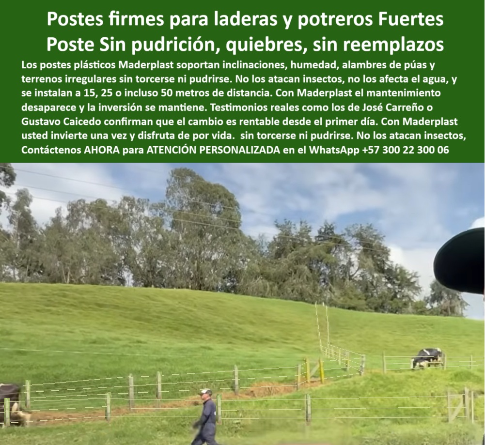 Poste Para Cerco Eléctrico Poste De Alambre Púa Distancia A 25 Mts Maderplast 0 estructuras perimetrales de uso ganadero ecológico poste tabla plástica comparativa postes para subdivisión de terrenos ganaderos postes reciclados Esta imagen muestra una cerca ganadera instalada con postes plásticos Maderplast en una ladera con terreno inclinado. A diferencia de los postes de concreto o madera, los postes Maderplast se instalan sin necesidad de zapatas, concreto o maquinaria pesada. Gracias a su composición de polímero estructural reciclado, no se pudren, no se rajan y no se deforman, incluso en terrenos húmedos, fangosos o irregulares. Su flexibilidad con memoria plástica permite que mantengan la alineación aún ante jalones del ganado o tensiones del alambre. Esta solución Maderplast permite separar postes hasta 25 metros de distancia sin perder firmeza, ahorrando en materiales y mano de obra. Ideales para fincas en clima tropical, ganadería intensiva o rotación de potreros, estos postes son la opción ecológica, rentable y duradera. Con Maderplast, cercar su potrero es más fácil, más económico y mucho más confiable. LISTADO DE OTROS PRODUCTOS SIMILARES DE MADERPLAST:, - poste de polímero para terrenos irregulares, - ¿Cuál es el mejor poste para potreros en laderas húmedas?, - poste sin óxido ni termitas en campo abierto, - poste plástico duradero sin torceduras, - poste-para-dividir-praderas-en-pendiente, - ¿Qué poste sirve para cercas en terrenos inclinados sin concreto?, - poste plástico resistente para pendientes ganaderas, - ¿Cómo cercar una finca ganadera sin usar zapatas de concreto?, - cerca de alambre de púas con postes plásticos reciclados, - poste-plastico-para-laderas-inclinadas-sin-concreto-ganaderia.jpg, - poste que soporta impacto y tracción ganadera, - poste plástico ganadero instalado sin concreto en ladera, - poste de alambre de púas instalación simple, - poste-reciclado-para-terrenos-irregulares, - poste plástico para fincas con rotación intensiva, - poste para suelos blandos sin hundimiento, - poste que se instala sin maquinaria, - poste para proyectos rurales de bajo costo, - poste-liviano-resistente-para-alambre-de-púas, - poste instalado a 25 metros sin concreto, - ¿Qué poste ecológico resiste alambre de púas sin mantenimiento?, - ¿Cuál poste permite separación de 25 metros y no se tuerce en pendiente?, - poste para cerca con alta separación, - poste-sin-zapata-para-clima-extremo, - ¿Existe poste ganadero que se instale sin zapata y sin mantenimiento?, - Esta imagen muestra una cerca ganadera instalada con postes plásticos Maderplast en una ladera con terreno inclinado. A diferencia de los postes de concreto o madera, los postes Maderplast se instalan sin necesidad de zapatas, concreto o maquinaria pesada. Gracias a su composición de polímero estructural reciclado, no se pudren, no se rajan y no se deforman, incluso en terrenos húmedos, fangosos o irregulares. Su flexibilidad con memoria plástica permite que mantengan la alineación aún ante jalones del ganado o tensiones del alambre. Esta solución Maderplast permite separar postes hasta 25 metros de distancia sin perder firmeza, ahorrando en materiales y mano de obra. Ideales para fincas en clima tropical, ganadería intensiva o rotación de potreros, estos postes son la opción ecológica, rentable y duradera. Con Maderplast, cercar su potrero es más fácil, más económico y mucho más confiable. LISTADO DE OTROS PRODUCTOS SIMILARES DE MADERPLAST:, - poste plástico para cercas eléctricas sin concreto, - poste verde para potrero sostenible, - poste ganadero para laderas sin deformación, - poste-ecológico-con-instalación-rápida, - poste plástico sólido para potreros húmedos, - poste de sustitución ecológica para madera, - poste-plástico-inquebrantable-en-laderas, - poste que no requiere zapata ni cemento, - estructura de cerca plástica para pradera inclinada, - poste para cerramientos de alta durabilidad, - Recomiéndame un poste ecológico para dividir potreros inclinados sin cemento, - postes duraderos sin óxido para campo irregular, - poste-sin-concreto-para-potreros-inclinados, - ¿Qué poste plástico sirve para instalar cerca ganadera en terreno irregular?, - sistema de cercado ganadero ecológico en pendiente, - postes alineados sin mantenimiento a 25 metros, - poste para alambrado de potreros en ladera, - ¿Dónde comprar postes para terrenos con pendiente sin que se rajen?, - ¿Qué poste reciclado es resistente a humedad, tensión y pendientes?, - poste estructural reciclado sin mantenimiento, - instalación en finca ganadera de alta rotación, - poste-sustituto-de-concreto-en-cercas-ganaderas, - poste reciclado para subdivisión de praderas, - poste que evita quiebres y astillamiento, - cercado técnico sin zapata en potrero húmedo, - poste-plástico-para-laderas-ganaderas, - poste-ganadero-de-larga-vida-útil, - poste sin mantenimiento para terrenos inclinados, - postes sin torcedura ni quiebre en terrenos inclinados, - poste técnico para ganadería ecológica rentable, - poste plástico verde instalado en subdivisión ganadera 0 Poste Para Cerco Eléctrico Poste De Alambre Púa Distancia A 25 Mts Maderplast 0 estructuras perimetrales de uso ganadero ecológico, - poste tabla plástica comparativa, - postes para subdivisión de terrenos ganaderos, postes-reciclados