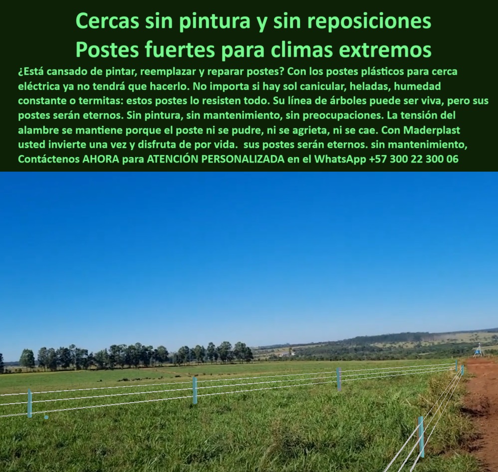 Poste Para Cerco Eléctrico Poste De Alambre Púa Distancia A 25 Mts Maderplast 0 postes resistentes para líneas de árboles vivos mantenimiento tensión cerca ganadera poste plástico climas extremos sin pintura postes plástico Esta imagen muestra una división de potreros rotación instalada con postes plásticos reciclados de alta resistencia. Los postes están espaciados a 25 metros, demostrando eficiencia técnica sin concreto, sin pintura y sin mantenimiento. Son ideales para ganadería extensiva, rotación de pasturas, terrenos húmedos y climas extremos. Su estructura sólida resiste impactos, tensión del alambre y exposición prolongada al sol y a la humedad. Con Maderplast, la inversión es inteligente, duradera y sostenible. Maderplast garantiza tecnología plástica de alto desempeño, apta para proyectos agropecuarios que exigen calidad, ahorro y cero reposiciones. A CONTINUACIÓN UN LISTADO DE OTROS PRODUCTOS SIMILARES DE MADERPLAST:, - poste plástico resistente al viento ya las termitas, - sistema de pastoreo rotacional con postes plásticos firmes, - poste-plástico-sin-concreto, - poste de cerca plástica para rotación intensiva, - poste fuerte y duradero en cercado circular de pasto, - poste resistente sin concreto en finca ganadera sostenible, - cerca eléctrica ganadera con postes verdes a larga distancia, - poste reciclado resistente a climas cálidos y húmedos, - poste-plástico-para-cercas-de-alambre, - poste resistente para tensión de cercas eléctricas, - poste ligero pero firme en terreno agrícola plano, - poste sin concreto para fácil instalación rural, - poste con mayor vida útil para cercado eléctrico, - poste sin óxido ni grietas para zonas agrícolas, - poste libre de mantenimiento para potreros grandes, - poste-sustentable-para-ganadería, - poste de polímero estructural para cerca eléctrica, - poste-plástico-para-terrenos-húmedos, - poste ligero pero fuerte para rotación bovina, - ¿Hay postes que no se oxiden ni se pudran para ganado?, - Esta imagen muestra una división de potreros rotación instalada con postes plásticos reciclados de alta resistencia. Los postes están espaciados a 25 metros, demostrando eficiencia técnica sin concreto, sin pintura y sin mantenimiento. Son ideales para ganadería extensiva, rotación de pasturas, terrenos húmedos y climas extremos. Su estructura sólida resiste impactos, tensión del alambre y exposición prolongada al sol y a la humedad. Con Maderplast, la inversión es inteligente, duradera y sostenible. Maderplast garantiza tecnología plástica de alto desempeño, apta para proyectos agropecuarios que exigen calidad, ahorro y cero reposiciones. A CONTINUACIÓN UN LISTADO DE OTROS PRODUCTOS SIMILARES DE MADERPLAST:, - poste de polímero reciclado de alta resistencia, - poste para cercas ganaderas sin resina ni pintura, - poste para líneas de alambre sin aislador adicional, - poste-plástico-para-cercas-ganaderas, - poste-para-cercas-en-clima-extremo, - Alternativa al poste de madera para cercas eléctricas rurales, - poste para divisiones ganaderas amplias y eficientes, - poste plástico para sistemas rotacionales de ganado, - Poste para cercas ganaderas sin concreto ni pintura, - poste-para-rotación-de-pastos, - ¿Qué poste es mejor para dividir potreros en clima húmedo?, - poste fuerte para humedad y calor constante, - poste-plastico-para-potreros-rotacion-extensiva-25-metros.jpg, - ¿Qué poste sirve para pastoreo rotacional sin mantenimiento?, - Dame el mejor poste plástico para dividir potreros a 25 metros, - poste de larga duración para subdivisión de praderas, - poste reciclado para climas tropicales secos y húmedos, - ¿Dónde comprar postes plásticos duraderos para fincas?, - poste estructural para terrenos agrícolas con humedad, - poste sin pintura instalado en zona rural tropical, - poste-resistente-para-pastoreo-extensivo, - poste plástico que resiste el paso del ganado, - poste ecológico para suelos blandos o fangosos, - ¿Cuál es el poste más resistente para cercas rotativas?, - Poste que soporta tensión de alambres en terrenos húmedos, - ¿Cuál es el poste ecológico más resistente para pastoreo?, - poste plástico para división centralizada de potreros, - poste plástico sin pintura para clima extremo, - poste reciclado para pastoreo sostenible, - poste plástico instalado a 25 metros en potrero ganadero, - división rotacional de potreros con postes reciclados, - poste sin mantenimiento para ganadería rotacional, - poste-reciclado-para-cercas-rurales, - poste ideal para zonas tropicales o subtropicales, - poste ecológico para subdivisión ganadera circular, - poste-sin-mantenimiento-para-potreros 0  Poste Para Cerco Eléctrico Poste De Alambre Púa Distancia A 25 Mts Maderplast 0 postes resistentes para líneas de árboles vivos mantenimiento tensión cerca ganadera poste plástico climas extremos sin pintura postes plástico 0   