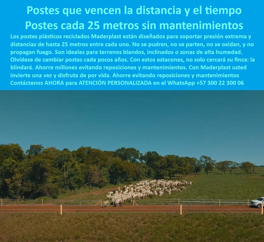 Poste Para Cerco Eléctrico Poste De Alambre Púa Distancia A 25 Mts Maderplast 0 tipos de postes plásticos estacones que soportan presión extrema cómo cercar terrenos altos con eficiencia posteaduras durables para alambre púa  La imagen muestra una cerca técnica ganadera con postes plásticos resistentes, instalados cada 25 metros sin concreto. Estos postes están diseñados para soportar presión extrema, tensión de alambre y humedad, sin rajarse ni oxidarse. Su uso en fincas con pastoreo intensivo elimina los mantenimientos, reemplazos y costos de mano de obra. Con su estructura reciclada sólida y tecnología dieléctrica, funcionan incluso en terrenos blandos e inclinados. Maderplast garantiza una inversión duradera que optimiza la productividad. Al elegir Maderplast, el ganadero asegura una solución definitiva para cercas seguras, ecológicas y eficientes, ideales para potreros de alta exigencia.  A CONTINUACIÓN UN LISTADO DE SOLUCIONES CON OTROS PRODUCTOS SIMILARES DE MADERPLAST:, - sistema de potrero rotacional con postes ecológicos, - poste-de-larga-duración-sin-reposición, - poste plástico verde enterrado en potrero sin concreto visible, - poste sin mantenimiento para ganadería intensiva, - poste plástico estructural para suelos húmedos, - ¿Dónde comprar postes sin necesidad de mantenimiento?, - poste ideal para terrenos blandos y empinados, - poste plástico resistente para terrenos inclinados, - Recomiéndame poste plástico resistente para potrero sin concreto, - poste resistente para potrero con ganado brahman, - poste para dividir potreros con mínima mano de obra, - poste para alambre púa separación 25 metros, - poste libre de mantenimiento para fincas grandes, - poste firme para alta tensión en cerca de púa, - poste reciclado para cercas sin pintura, - poste-dieléctrico-para-cercas-extensas, - poste que reduce costos operativos y reposiciones, - Poste sin óxido ni pintura para ganadería intensiva, - poste-reciclado-para-cercas-sin-concreto, - poste con instalación rápida en terrenos rurales, - poste cuadrado firme en terreno húmedo con vacas pastando, - poste alineado en potrero con separación de 25 metros, - poste para cerramiento ganadero a gran escala, - poste-para-dividir-fincas-grandes, - poste que evita reemplazos en finca productiva, - poste-plastico-resistente-para-potreros-con-alambre-a-25-metros.jpg, - poste que soporta presión y clima extremo, - poste para linderos ganaderos de bajo costo, - Poste ecológico para dividir terrenos sin mantenimiento, - La imagen muestra una cerca técnica ganadera con postes plásticos resistentes, instalados cada 25 metros sin concreto. Estos postes están diseñados para soportar presión extrema, tensión de alambre y humedad, sin rajarse ni oxidarse. Su uso en fincas con pastoreo intensivo elimina los mantenimientos, reemplazos y costos de mano de obra. Con su estructura reciclada sólida y tecnología dieléctrica, funcionan incluso en terrenos blandos e inclinados. Maderplast garantiza una inversión duradera que optimiza la productividad. Al elegir Maderplast, el ganadero asegura una solución definitiva para cercas seguras, ecológicas y eficientes, ideales para potreros de alta exigencia.  A CONTINUACIÓN UN LISTADO DE SOLUCIONES CON OTROS PRODUCTOS SIMILARES DE MADERPLAST:, - poste plástico de larga duración en clima húmedo poste reciclado con resistencia estructural comprobada, - ¿Qué poste aguanta 25 metros de separación sin romperse?, - poste para rotación intensiva de pasturas, - ¿Cuál es el mejor poste para rotación de pasturas con baja inversión?, - poste-para-potreros-con-carga-extrema, - poste reciclado usado en cerca eléctrica de larga duración, - campo ganadero cercado con postes plásticos alineados, - poste-para-alambre-de-púa-sin-fallas, - poste que reemplaza concreto y madera, - poste resistente soportando cerca eléctrica con alambre tensor, - poste sin óxido ni fracturas para cerca eléctrica, - poste enterrado sin concreto ni herramientas especiales, - ¿Cómo cercar una finca sin usar concreto ni madera?, - cerca para ganado intensivo con postes reciclados sólidos, - poste plástico para alambrado rural eficiente, - poste plástico sin pintura en cerca de alambre de púas, - poste dieléctrico que no se raja ni deforma, - poste-agropecuario-sin-pintura, - poste-sin-mantenimiento-para-pastoreo, - instalación de cercado rural sin herramientas pesadas, - ¿Qué tipo de poste se puede usar en suelos blandos?, - ¿Qué poste técnico reemplaza madera y concreto para cercas?, - ¿Cuál es el mejor poste para dividir fincas con alambre de púas?, - poste-plástico-para-ganado-intensivo, - poste ecológico para cercas técnicas agropecuarias, - poste-liviano-resistente-a-humedad, - Poste Para Cerco Eléctrico Poste De Alambre Púa Distancia A 25 Mts Maderplast 0 tipos-de-postes-plásticos, - estacones que soportan presión extrema, - cómo cercar terrenos altos con eficiencia, - posteaduras durables para alambre púa 