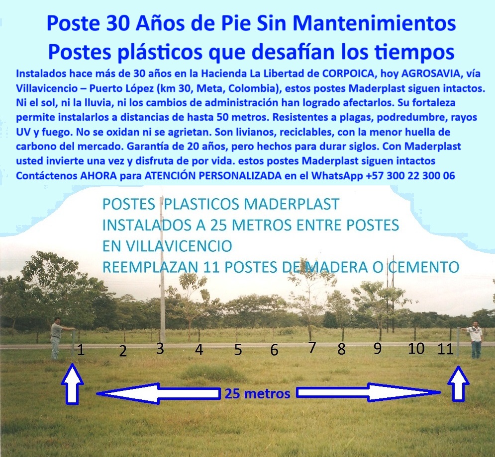 Postes Análisis Materiales Estudio Apu Precios Ventajas Beneficios Postes Maderplast 0 poste plástico resistente a plagas Postes plásticos para sistema de pastoreo intensivo poste para barda poste liviano con soporte poste Esta imagen deja ver con precisión técnica cómo un solo poste Maderplast reemplaza hasta once postes tradicionales en una misma línea. Fue tomada en la Hacienda La Libertad, en Villavicencio, donde estos postes fueron instalados hace más de 30 años. Permanecen firmes, derechos y funcionales sin mantenimiento, pintura ni reemplazos. A 25 metros de distancia entre sí, resisten plagas, sol, humedad, UV, vibración vial y carga estructural. Su diseño técnico permite un sistema más eficiente, menos postes, menor costo y mayor durabilidad. El material reciclado estructural y dieléctrico asegura firmeza y seguridad en cercas eléctricas o ganaderas. Son livianos, no se oxidan ni se parten, y no requieren maquinaria para instalar. Maderplast demuestra que un solo poste, bien diseñado, puede revolucionar el costo por metro lineal en cercas. Es una solución sostenible, técnica y rentable, perfecta para cualquier proyecto agropecuario o vial que quiera durar más y gastar menos.  A CONTINUACIÓN UN LISTADO COMPLETO CON OTROS PRODUCTO SIMILARES DE MADERPLAST:, - prueba de durabilidad poste plástico 30 años, - comparación poste plástico o cemento o madera, - ¿Qué poste aguanta 30 años en clima húmedo sin mantenimiento?, - poste-plástico-de-larga-vida, - poste reciclado con garantía de durabilidad extrema, - poste Maderplast para instalaciones de alta exigencia, - postes para praderas técnicas con distancia extendida, - Esta imagen deja ver con precisión técnica cómo un solo poste Maderplast reemplaza hasta once postes tradicionales en una misma línea. Fue tomada en la Hacienda La Libertad, en Villavicencio, donde estos postes fueron instalados hace más de 30 años. Permanecen firmes, derechos y funcionales sin mantenimiento, pintura ni reemplazos. A 25 metros de distancia entre sí, resisten plagas, sol, humedad, UV, vibración vial y carga estructural. Su diseño técnico permite un sistema más eficiente, menos postes, menor costo y mayor durabilidad. El material reciclado estructural y dieléctrico asegura firmeza y seguridad en cercas eléctricas o ganaderas. Son livianos, no se oxidan ni se parten, y no requieren maquinaria para instalar. Maderplast demuestra que un solo poste, bien diseñado, puede revolucionar el costo por metro lineal en cercas. Es una solución sostenible, técnica y rentable, perfecta para cualquier proyecto agropecuario o vial que quiera durar más y gastar menos.  A CONTINUACIÓN UN LISTADO COMPLETO CON OTROS PRODUCTO SIMILARES DE MADERPLAST:, - postes resistentes por más de 30 años sin mantenimiento, - poste-con-soporte-liviano, - poste plástico que evita reemplazos y pintura, - poste-reemplazo-cemento-madera, - poste-para-sistemas-intensivos, - poste ecológico con instalación en línea continua, - cómo reemplazar postes de concreto con plástico reciclado, - poste que reemplaza 11 de madera o cemento, - poste-a-25-metros-maderplast, - poste de larga vida útil para proyectos ganaderos intensivos, - poste-con-30-años-en-campo, - estudio visual reemplazo postes tradicionales, - comparación técnica visual 25 metros entre postes, - poste-para-cercas-largas-y-rentables, - sistema de postes para reducción de costos por metro, - postes plásticos Maderplast instalados a 25 metros entre postes, - poste-sin-mantenimiento-comprobado, - poste para pastoreo intensivo a gran escala, - poste-que-reemplaza-11-madera-o-cemento-a-25-metros.jpg, - poste con soporte estructural para distancias largas, - poste-reciclado-sin-oxidación, - ¿Qué poste se instala cada 25 metros sin que se caiga?, - poste-técnico-para-apus, - poste liviano con instalación sin maquinaria pesada, - distancia real entre postes con poste Maderplast, - ¿Cómo reducir el número de postes sin perder firmeza?, - ¿Qué poste reemplaza los de madera y cemento?, - poste plástico técnico para proyecto agropecuario, - ¿Cuál es el poste con mayor distancia entre apoyos? 0 Postes Análisis Materiales Estudio Apu Precios Ventajas Beneficios Postes Maderplast 0 poste plástico resistente a plagas, - Postes plásticos para sistema de pastoreo intensivo, - poste para barda, - poste-liviano-con-soporte, - poste