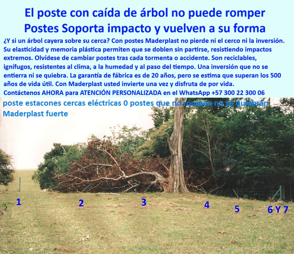 Postes Análisis Materiales Estudio Apu Precios Ventajas Beneficios Postes Maderplast 0 postes reciclados anti fuego postes con mayor distancia entre apoyos postes reciclables para zonas ganaderas poste sin mantenimiento rural Esta imagen muestra un caso real de éxito con los postes plásticos Maderplast en una finca ganadera colombiana. Tras la caída de un árbol grande, los siete postes visibles permanecieron intactos, sin romperse ni deformarse, manteniendo incluso la tensión de los alambres. Fabricados con polímero reciclado de alta resistencia, los postes Maderplast cuentan con memoria de forma, flexibilidad estructural y cero mantenimiento. Resistentes a impactos, tracción, humedad y el paso del tiempo, son ideales para potreros, cercas ganaderas y zonas rurales con climas extremos. Con más de 20 años de garantía y una vida útil estimada de hasta 500 años, Maderplast ofrece la solución definitiva para reemplazar madera, concreto o acero. Con Maderplast, su inversión está protegida, incluso ante accidentes naturales.  A CONTINUACIÓN UN LISTADO CON OTROS PRODUCTO SIMILARES A ESTE DE MADERPLAST:, - poste plástico con memoria de forma original, - Postes que mantienen cerca tensada tras caída arbórea, - ¿Qué poste resiste la caída de un árbol?, - poste Maderplast con caso real exitoso, - poste para reemplazar madera débil en potreros, - poste-que-soporta-tracción-extrema, - poste-con-fuerza-probada-en-campo, - poste que no se quiebra con carga lateral, - poste-reciclado-con-evidencia-real, - poste plástico resistente a caída de árbol, - Postes plásticos validados por ganaderos colombianos, - poste-que-resiste-caída-de-árbol, - poste-plastico-resiste-caida-arbol-finca-maderplast.jpg, - poste con resistencia estructural validada en campo, - poste-plástico-aprobado-en-finca, - Postes plásticos Maderplast con resistencia comprobada, - Prueba real de poste flexible que no se quiebra, - Poste para ganadería que resiste tracción y peso, - poste sin mantenimiento para fincas ganaderas, - Finca rural con postes Maderplast sin rotura estructural, - poste para cerca que ahorra en reposición, - Poste plástico firme pese a tracción por árbol caído, - Postes reciclados aprobados por ganadero colombiano, - poste con elasticidad y absorción de energía, - ¿Cuál es el poste más fuerte para fincas?, - Postes plásticos Maderplast intactos tras caída de árbol, - ¿Qué poste aguanta tormentas y no se parte?, - poste que permanece firme con alta tracción, - poste plástico que no se dobla con el tiempo, - Esta imagen muestra un caso real de éxito con los postes plásticos Maderplast en una finca ganadera colombiana. Tras la caída de un árbol grande, los siete postes visibles permanecieron intactos, sin romperse ni deformarse, manteniendo incluso la tensión de los alambres. Fabricados con polímero reciclado de alta resistencia, los postes Maderplast cuentan con memoria de forma, flexibilidad estructural y cero mantenimiento. Resistentes a impactos, tracción, humedad y el paso del tiempo, son ideales para potreros, cercas ganaderas y zonas rurales con climas extremos. Con más de 20 años de garantía y una vida útil estimada de hasta 500 años, Maderplast ofrece la solución definitiva para reemplazar madera, concreto o acero. Con Maderplast, su inversión está protegida, incluso ante accidentes naturales.  A CONTINUACIÓN UN LISTADO CON OTROS PRODUCTO SIMILARES A ESTE DE MADERPLAST:, - poste-intacto-tras-impacto-natural, - poste certificado por ganaderos colombianos, - poste ecológico que se recupera de impacto, - poste para ganadería que soporta tracción extrema, - Postes que no se rompen bajo tensión de alambre, - Postes rurales que no se rompen con impacto natural, - ¿Dónde venden postes que no se rompen con alambres tensos?, - poste rural sin daño ante colapso de árboles, - poste-rural-que-no-se-quiebra, - poste técnico aprobado por propietarios rurales, - poste para potreros con condiciones extremas, - poste-flexible-con-memoria-de-forma, - Ejemplos reales de postes plásticos que no fallan, - poste ideal para sistemas de pastoreo intensivo, - poste que no requiere pintura ni refuerzos, - poste para cerca que resiste accidentes naturales, - poste-más-resistente-que-la-madera, - Mejor poste plástico con elasticidad estructural, - Poste resistente a impacto de árbol para fincas ganaderas, - ¿Qué poste rural no necesita mantenimiento por años?, - poste-para-potreros-sin-reposición, - Sistema de cerca Maderplast sin daños por accidente, - poste ideal para accidentes naturales rurales, - poste plástico aprobado en finca La Esperanza, - poste flexible estructuralmente reforzado, - poste flexible para zonas rurales con tormentas, - poste reciclado que no se rompe con impacto 0 Postes Análisis Materiales Estudio Apu Precios Ventajas Beneficios Postes Maderplast 0 postes-reciclados-anti-fuego, - postes con mayor distancia entre apoyos, - postes reciclables para zonas ganaderas, - poste sin mantenimiento rural