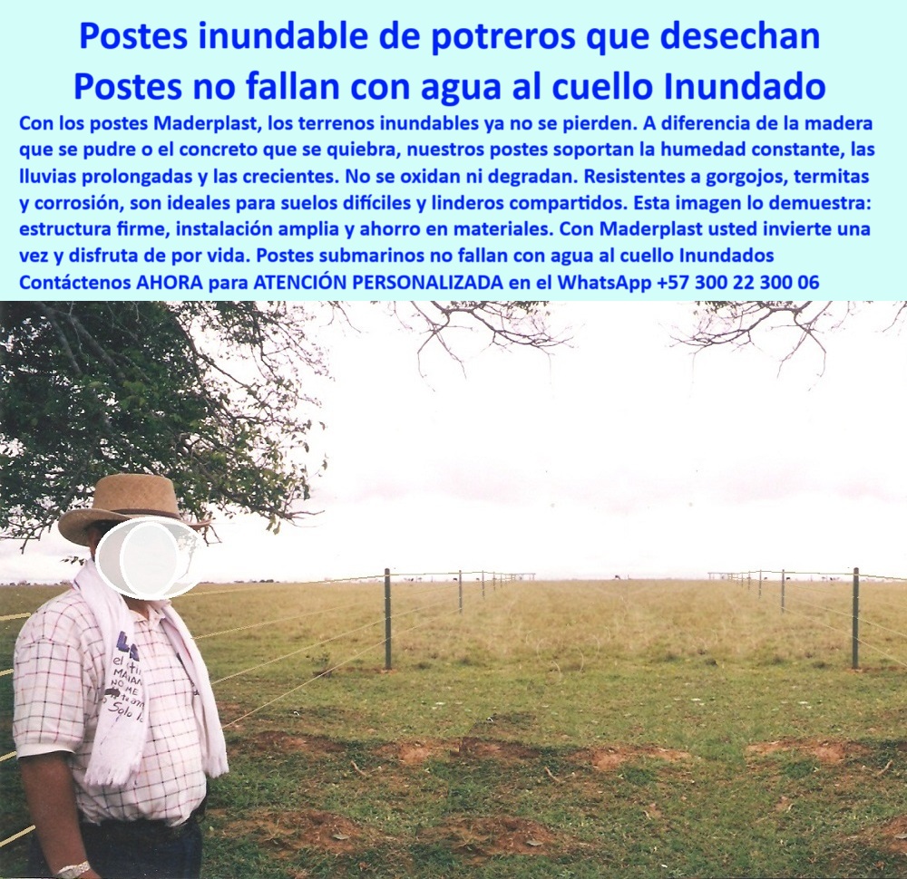 Postes Análisis Precios Económicos Poste Bajo Costo Estudio Precios APU Maderplast 0 cercas sostenibles para linderos compartidos guía para instalar postes en zonas rurales cómo construir corral barato con postes plásticos PP La imagen muestra un terreno propenso a inundación donde los postes plásticos Maderplast siguen en pie, firmes y sin señales de deterioro. Estos postes están diseñados para soportar condiciones extremas como agua estancada, lluvias prolongadas y humedad constante sin oxidarse, pudrirse ni deformarse. Fabricados con polímero estructural reciclado, garantizan resistencia a termitas, gorgojos y corrosión. Son ideales para cercas ganaderas en zonas bajas, linderos rurales compartidos o potreros desechados por suelos difíciles. Los productos Maderplast ofrecen una inversión segura, de alta durabilidad, ecológica y sin mantenimiento, que resiste hasta con el agua al cuello. A CONTINUACIÓN UN LISTADO CON OTROS PRODUCTO SIMILARES A ESTE DE MADERPLAST:, - poste verde en finca ganadera con humedad extrema constante, - Dame el mejor poste plástico para terrenos inundables, - poste-plástico-para-llanuras-húmedas, - poste seguro para ganado en terrenos impredecibles, - poste que resiste gorgojos y termitas en zonas tropicales, - poste-para-potreros-bajos-y-anegados, - ¿Dónde consigo postes que no se dañen con lluvias?, - poste plástico para terrenos inundables y con agua estancada, - poste firme para dividir propiedades rurales inundables, - poste confiable para electrificación ganadera en llanuras, - poste-para-cercas-sin-reposición, - poste que reemplazar madera podrida por inundación, - imagen de poste plástico frente a terreno propenso a inundación, - poste que no se pudre en suelo encharcado rural, - poste económico para corral en zonas de inundación, - poste ecológico para cercas sumergidas por lluvias prolongadas, - poste con resistencia técnica comprobada en terreno fangoso, - poste resistente a plagas y agua al cuello en potrero, - poste reciclado de alta ingeniería para potreros inundables, - poste-sin-mantenimiento-en-zonas-húmedas, - ¿Qué tipo de poste puede usar en terrenos con mucha humedad?, - poste sin pintura para ambientes salinos y húmedos, - poste ligero que evita los costos de reemplazo, - poste-de-agua-al-cuello-ganadería, - poste resistente a humedad y termitas para potreros, - poste-para-potreros-encharcados, - poste plástico instalado en terreno inundable con cerca eléctrica, - La imagen muestra un terreno propenso a inundación donde los postes plásticos Maderplast siguen en pie, firmes y sin señales de deterioro. Estos postes están diseñados para soportar condiciones extremas como agua estancada, lluvias prolongadas y humedad constante sin oxidarse, pudrirse ni deformarse. Fabricados con polímero estructural reciclado, garantizan resistencia a termitas, gorgojos y corrosión. Son ideales para cercas ganaderas en zonas bajas, linderos rurales compartidos o potreros desechados por suelos difíciles. Los productos Maderplast ofrecen una inversión segura, de alta durabilidad, ecológica y sin mantenimiento, que resiste hasta con el agua al cuello. A CONTINUACIÓN UN LISTADO CON OTROS PRODUCTO SIMILARES A ESTE DE MADERPLAST:, - poste de fácil instalación en áreas anegadas, - poste sin oxidación para zonas ganaderas húmedas, - instalación de cerca plástica en suelo encharcado y fangoso, - poste plástico para fincas ganaderas en suelos difíciles, - poste dieléctrico para cercas eléctricas en zonas fangosas, - poste durable que evita contaminación por óxido, - poste-resistente-a-humedad-constante, - poste que se puede instalar sin maquinaria pesada, - poste para proyectos de cercado sostenible en tierras bajas, - ¿Qué poste no se pudre en agua ni se oxida con humedad?, - poste ideal para linderos compartidos entre fincas rurales, - poste plástico anti óxido para áreas rurales con lluvia diaria, - poste sostenible para dividir potreros en zonas húmedas, - poste que resiste agua al cuello sin deformarse, - poste-sostenible-contra-humedad-extrema, - poste plástico para control perimetral en sabanas inundables, - poste firme y reciclado sobre campo inundado en sabana, - ¿Cuál es el mejor poste para potreros bajos y húmedos?, - Poste para dividir terrenos ganaderos con alto nivel freático, - ¿Qué poste sirve para zonas donde el potrero se inunda?, - poste que soporta crecientes y humedad sin mantenimiento, - ¿Qué poste plástico sirve para inundaciones y no falla?, - Poste ideal para ganadería en zonas con agua estancada, - poste estructural para potreros con lluvias prolongadas, - solución plástica para cercados ganaderos con agua estancada, - poste-que-no-se-pudre-ni-oxida, - ¿Hay postes que no se oxiden con agua constante?, - poste-plástico-inundación-potrero-humedad-constante-maderplast, - poste-plástico-para-terrenos-inundables 0 Postes Análisis Precios Económicos Poste Bajo Costo Estudio Precios APU Maderplast 0 cercas sostenibles para linderos compartidos, - guía para instalar postes en zonas rurales, - cómo construir corral barato con postes plásticos, - PP