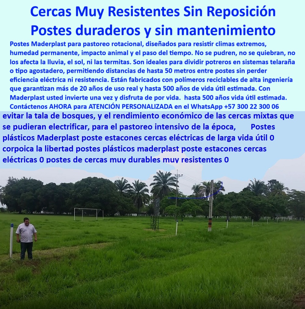 Postes Análisis Precios Económicos Poste Bajo Costo Estudio Precios APU Maderplast 0 instalación de cercas para tierras planas espacio paso potrero Poste reciclado para reemplazar estacones de madera División de potreros Postes La imagen muestra una instalación real de postes plásticos Maderplast en una finca con pasto abundante y terreno llano, ideal para sistemas de pastoreo intensivo. Estos postes reciclables, resistentes a la humedad, al fuego y a los impactos, están instalados con separación de hasta 25 metros sin fallas. Gracias a su fabricación con polímero técnico de alta ingeniería, los postes Maderplast no requieren pintura ni mantenimiento, lo que representa una solución definitiva frente a la madera o el concreto. Están diseñados para funcionar por más de 20 años en condiciones climáticas extremas. Son ideales para ganaderos, ingenieros agrónomos, y responsables de cercas perimetrales, rurales o institucionales que buscan eficiencia, durabilidad y retorno de inversión.  A CONTINUACIÓN UN LISTADO COMPLETO CON OTROS PRODUCTO SIMILARES DE MADERPLAST:, - poste estructural para división de fincas ganaderas, - cercado ganadero ecológico con postes reciclados Maderplast, - sistema de electrificación de potrero con postes reciclados, - poste-plástico-reciclado-para-cercas-en-potreros-húmedos-maderplast, - poste plástico verde instalado en finca con vacas y pasto intenso, - ¿Qué poste plástico reemplaza madera o concreto en cercas ganaderas?, - ¿Qué poste es mejor para pastoreo intensivo en tierras llanas?, - poste reciclado para reemplazar estacones de madera, - poste ecológico resistente instalado en sistema de potrero, - poste sin corrosión ni mantenimiento por décadas, - poste plástico para linderos ecológicos perimetrales, - poste sostenible para pastoreo intensivo rentable, - Recomendación de poste sin oxidación ni pintura para terrenos rurales, - poste plástico para cerramiento sin oxidación, - postes de polímero en campo plano con pasto crecido, - poste de alta durabilidad para zonas rurales, - poste para sistema de electrificación sin aisladores, - poste ecológico para cercas de pastoreo rotacional, - división ganadera con postes sin pintura en terreno húmedo, - poste técnico para ahorro en precios unitarios apu, - postes Maderplast alineados sin oxidación en terreno llano, - postes plásticos visibles instalados en praderas verdes, - poste-sustituto-de-madera, - poste plástico para ahorrar en instalación de cercas, - ¿Cuáles postes me sirven para instalar a 25 metros de distancia?, - instalación rural de cerca con postes plásticos sin mantenimiento, - poste para terrenos agrícolas húmedos sin podredumbre, - La imagen muestra una instalación real de postes plásticos Maderplast en una finca con pasto abundante y terreno llano, ideal para sistemas de pastoreo intensivo. Estos postes reciclables, resistentes a la humedad, al fuego y a los impactos, están instalados con separación de hasta 25 metros sin fallas. Gracias a su fabricación con polímero técnico de alta ingeniería, los postes Maderplast no requieren pintura ni mantenimiento, lo que representa una solución definitiva frente a la madera o el concreto. Están diseñados para funcionar por más de 20 años en condiciones climáticas extremas. Son ideales para ganaderos, ingenieros agrónomos, y responsables de cercas perimetrales, rurales o institucionales que buscan eficiencia, durabilidad y retorno de inversión.  A CONTINUACIÓN UN LISTADO COMPLETO CON OTROS PRODUCTO SIMILARES DE MADERPLAST:, - cercado sostenible en finca con postes anclados a tierra, - poste de polímero con soporte para terrenos blandos, - poste para división de potreros con alta resistencia, - poste plástico ideal para zonas con termitas, - poste-reciclado-para-potreros, - Dame el mejor poste plástico para dividir potreros en zonas húmedas, - poste plástico certificado para electrificación rural, - ¿Qué postes puedo usar para dividir potreros sin que se pudran?, - Poste ecológico y reciclado para electrificar cercas de grandes fincas, - poste plástico ligero con anclaje firme, - poste plástico resistente al fuego y rayos uv, - ¿Hay postes para cercas sin mantenimiento y sin pintura?, - poste plástico sin mantenimiento para potrero intensivo, - poste-plástico-para-división-rural, - poste diseñado para cercas de alta exigencia técnica, - poste-resistente-a-humedad, - poste-para-pastoreo-intensivo, - poste-de-25-metros-entre-soportes, - ¿Dónde comprar postes plásticos que duren más de 20 años?, - poste ganadero para tierras húmedas y llanas, - poste-para-terreno-blando, - poste sin pintura resistente a plagas y humedad, - poste plástico de largo alcance con pie de amigo, - poste plástico para subdivisión profesional de praderas, - poste-plástico-sin-mantenimiento, - poste-ecológico-para-cercas, - ¿Cuál es el poste más duradero y económico para cercas eléctricas?, - poste-durable-en-clima-extremo, - poste reciclable para proyectos de cercas técnicas 0 Postes Análisis Precios Económicos Poste Bajo Costo Estudio Precios APU Maderplast 0 instalación de cercas para tierras planas, - espacio paso potrero, - Poste reciclado para reemplazar estacones de madera, División de potreros Postes