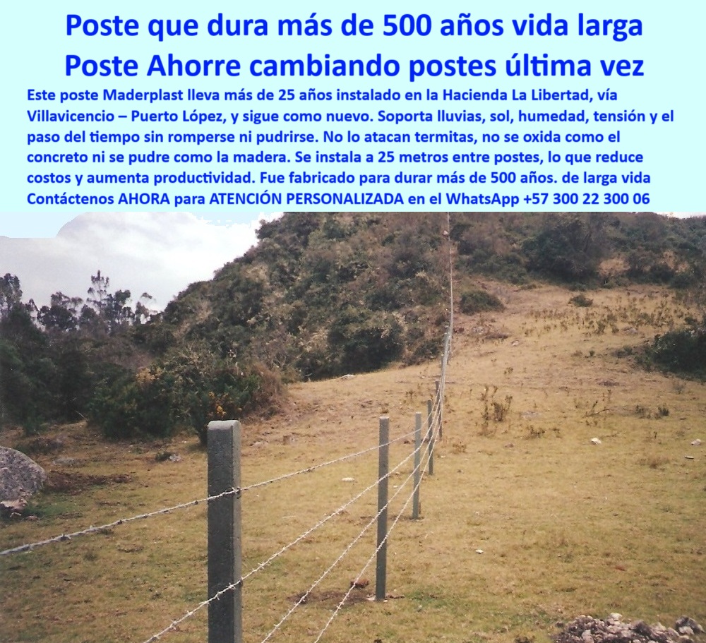 Postes Para Conservación De Cuencas Poste Forestal Ecológico Reciclable Maderplast 0 Poste Anti Deslizamiento para Borde de Aismo Postes para delimitar zonas de restauración Poste para Estabilidad Geotécnica Poste Maderplast En esta imagen se observa un sistema de cercado en terreno inclinado con separación de 8 metros entre postes Maderplast, instalados desde hace más de 25 años en la Hacienda La Libertad, vía Villavicencio - Puerto López. Está pendiente montañosa exige máxima estabilidad y durabilidad. Sin embargo, los postes plásticos Maderplast se mantienen intactos, sin rajaduras, oxidación ni pudrición. Son ideales para restauración ecológica, delimitación de cuencas, zonas de amortiguación ambiental y proyectos geotécnicos. No requieren concreto, pintura ni aisladores, y se instalan fácilmente incluso en condiciones difíciles. Gracias a su tecnología reciclada y resistencia estructural, Maderplast ofrece la única solución que verdaderamente resiste en zonas de alta pendiente por décadas. LISTADO DE OTROS PRODUCTOS SIMILARES DE MADERPLAST:, - poste plástico técnico para control de zonas inclinadas, - poste plástico para instalar en montaña sin concreto, - poste plástico ideal para restauración de nacederos, - poste plástico de largo plazo para zonas protegidas, - poste plástico para pendientes con vegetación nativa, - poste-plástico-borde-abismo, - cercado en talud sin deformaciones visibles, - delimitación ecológica a gran distancia entre postes, - instalación de postes en borde natural sin refuerzo, - poste plástico para instalación en terreno accidentado, - poste plástico para división en zonas geotécnicas, - poste plástico en pendiente inclinada con cerca visible, - estructura con poste plástico para control ambiental, - ¿Cuál poste aguanta pendientes inclinadas y humedad?, - poste plástico con separación de hasta 8 metros, - poste-plástico-terreno-inclinado, - poste plástico con resistencia en laderas inclinadas, - poste plástico para líneas de contorno ecológico, - delimitación forestal con postes plásticos reciclables, - ¿Dónde comprar poste para restauración ecológica?, - poste-plastico-laderas-pronunciadas, - poste plástico para divisiones en parques naturales, - poste-plastico-para-restauracion, - poste-resistente-al-desgaste-natural, - poste-plastico-para-cuencas, - poste plástico para delimitar bordes de abismos, - poste-geotecnico-sin-concreto, - instalación de cerca ecológica en montaña empinada, - poste plástico para terrenos montañosos inclinados, - poste-reciclado-zona-montañosa, - ¿Cuál es el poste ideal para zonas de conservación?, - poste plástico para terrenos con alta pendiente, - poste plástico para zonas de manejo ambiental, - Poste para delimitar cuencas hídricas y nacederos., - poste plástico resistente a erosión y desplazamiento, - poste-ecologico-para-conservacion, - poste plástico en terreno empinado sin oxidación, - poste plástico con más de 25 años instalado, - poste plástico funcional en sistemas agroforestales, - poste plástico para delimitación en áreas de conservación, - sistema de postes sin concreto en ladera ganadera, - poste plástico sin deformación en pendientes largas, - Poste reciclado para restauración ecológica forestal., - poste plástico reciclado para conservación de cuencas, - poste plástico para cercas en suelos rocosos, - poste plástico ideal para fincas con taludes o lomas, - Poste con estabilidad en taludes y laderas., - ¿Qué poste sirve para cercas en laderas empinadas?, - poste-plastico-cercado-natural, - En esta imagen se observa un sistema de cercado en terreno inclinado con separación de 8 metros entre postes Maderplast, instalados desde hace más de 25 años en la Hacienda La Libertad, vía Villavicencio - Puerto López. Esta pendiente montañosa exige máxima estabilidad y durabilidad. Sin embargo, los postes plásticos Maderplast se mantienen intactos, sin rajaduras, oxidación ni pudrición. Son ideales para restauración ecológica, delimitación de cuencas, zonas de amortiguación ambiental y proyectos geotécnicos. No requieren concreto, pintura ni aisladores, y se instalan fácilmente incluso en condiciones difíciles. Gracias a su tecnología reciclada y resistencia estructural, Maderplast ofrece la única solución que verdaderamente resiste en zonas de alta pendiente por décadas. LISTADO DE OTROS PRODUCTOS SIMILARES DE MADERPLAST:, - poste plástico ecológico para restauración forestal, - Poste técnico para zonas geotécnicas sin concreto., - ¿Qué poste se puede instalar en montaña sin concreto?, - poste-plástico-terreno-inclinado-conservación-cuenca-montaña.jpg, - Poste plástico para bordes de montaña con inclinación., - poste plástico que soporta humedad y ángulos extremos, - imagen de cercado técnico con postes en montaña 0 Postes Para Conservación De Cuencas Poste Forestal Ecológico Reciclable Maderplast 0 Poste Anti-Deslizamiento para Borde de Abismo, - Postes para delimitar zonas de restauración, - Poste para Estabilidad Geotécnica, - Poste Maderplast