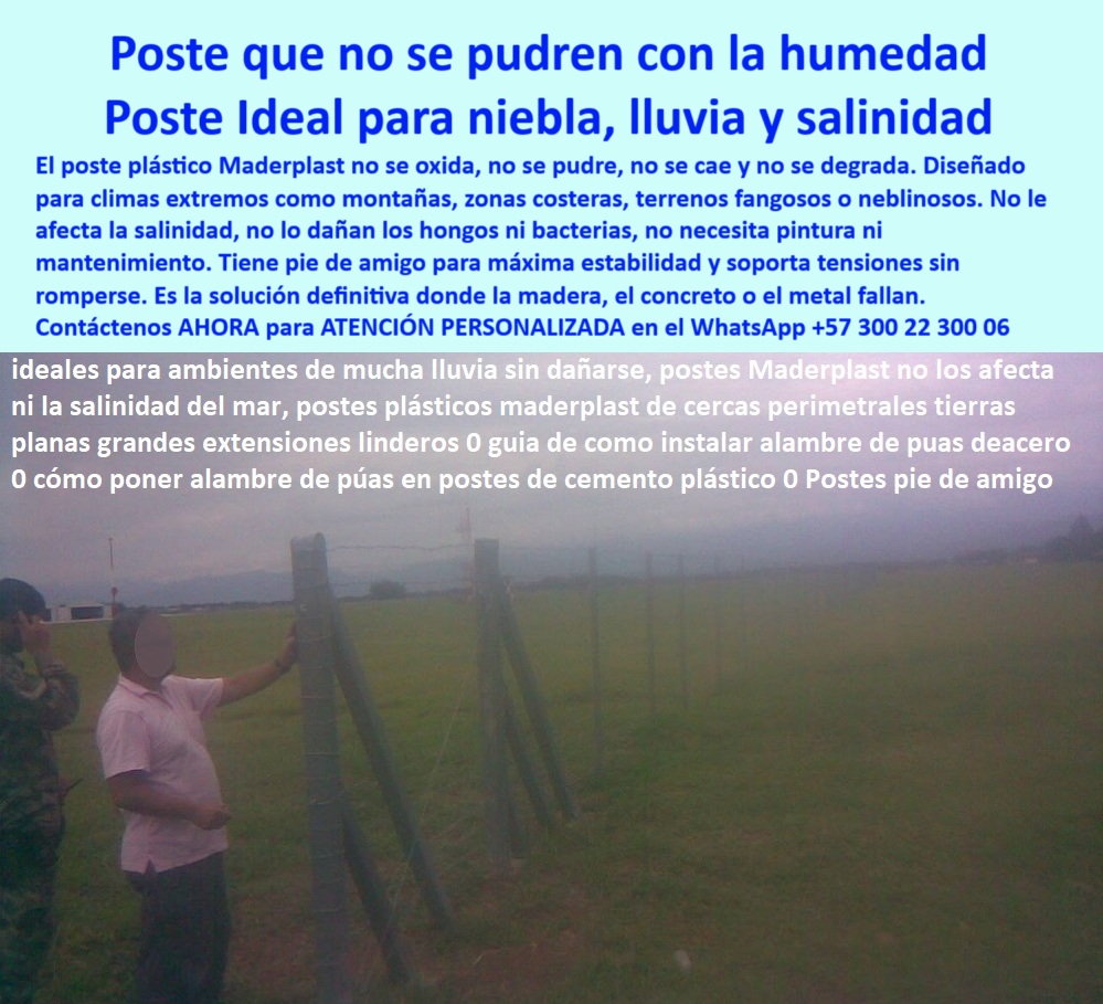 Postes Para Conservación De Cuencas Poste Forestal Ecológico Reciclable Maderplast 0 Poste para Bosque Húmedo Poste Montañés Postes para protección de taludes Postes para zonas montañosas Postes para delimitación de áreas En esta imagen, se observa una cerca técnica instalada en zona húmeda y neblinosa, utilizando postes plásticos Maderplast que resisten humedad, salinidad, moho y bacterias sin oxidarse ni requerir pintura. Los postes Maderplast son ideales para terrenos montañosos, costeros o fangosos, donde la madera o el concreto fallan rápidamente. Equipados con pie de amigo, ofrecen estabilidad estructural sin fracturas. No absorben agua, no se degradan y conservan su firmeza durante décadas. Esta solución garantiza un cercado duradero, ecológico y libre de mantenimiento, incluso bajo condiciones climáticas extremas. LISTADO DE OTROS PRODUCTOS SIMILARES DE MADERPLAST:, - poste que no absorbe agua ni se agrieta, - poste reciclado resistente a salinidad y bacterias, - - poste ideal para líneas perimetrales forestales, - ¿Qué poste tiene pie de amigo y aguanta terrenos blandos?, - poste de plástico reforzado en terreno con humedad, - postes livianos para instalación manual en niebla, - poste-plástico-niebla-lluvia, - ¿Puedo instalar cercas en terrenos mojados sin que se pudran?, - poste técnico sin fractura para zonas salinas, - cerca con postes Maderplast sin mantenimiento en montaña, - ¿Qué poste plástico aguanta lluvia, hongos y oxidación?, - ¿Cómo cercar una finca montañosa sin que se caigan los postes?, - poste resistente para zonas costeras con salinidad, - poste-antihongos-cerca-forestal, - poste-sin-oxidación-zona-húmeda, - ¿Qué poste funciona en zonas de alta salinidad?, - poste Maderplast inmune al salitre y a la oxidación, - ¿Qué poste plástico funciona mejor en ambientes neblinosos y húmedos?, - poste-maderplast-con-pie-amigo, - cercado ecológico con poste plástico de pie de amigo, - postes anticorrosión para zonas húmedas tropicales, - poste económico para terrenos con alta humedad relativa, - poste plástico forestal para taludes inestables, - postes ecológicos que no se pudren con humedad, - poste-cercas-montañosas-estables, - En esta imagen, se observa una cerca técnica instalada en zona húmeda y neblinosa, utilizando postes plásticos Maderplast que resisten humedad, salinidad, moho y bacterias sin oxidarse ni requerir pintura. Los postes Maderplast son ideales para terrenos montañosos, costeros o fangosos, donde la madera o el concreto fallan rápidamente. Equipados con pie de amigo, ofrecen estabilidad estructural sin fracturas. No absorben agua, no se degradan y conservan su firmeza durante décadas. Esta solución garantiza un cercado duradero, ecológico y libre de mantenimiento, incluso bajo condiciones climáticas extremas. LISTADO DE OTROS PRODUCTOS SIMILARES DE MADERPLAST:, poste plástico para delimitación de áreas húmedas, - poste plástico para climas lluviosos sin oxidación, - poste dieléctrico para cercas con lluvia intensa, - poste estructural de alta durabilidad en clima neblinoso, - ¿Cuál es el poste más estable para zonas montañosas con humedad?, - ¿Qué tipo de poste ecológico no se oxida ni se pudre?, - poste para cercas perimetrales en laderas húmedas, - poste-maderplast-resistente-niebla-humedad-salinidad-montaña.jpg, - poste sin mantenimiento para lluvia y humedad, - ¿Cuál es el mejor poste para terrenos húmedos con niebla?, - ¿Cómo dividir una finca en montaña sin mantenimiento constante?, - poste-para-clima-extremo-húmedo, - poste-ecológico-zona-salina, - poste plástico para cercas en áreas fangosas, - postes estructurales que no fallan bajo lluvia, - división agropecuaria en montaña con poste sin pudrirse, - poste plástico Maderplast instalado en niebla densa rural, - poste-resistente-humedad-montaña, - poste plástico con protección contra hongos y bacterias, - cerca técnica con poste ecológico resistente a humedad, - poste resistente al moho y humedad constante, - poste aislante con resistencia técnica certificada para humedad, - poste-dieléctrico-zona-neblina, - instalación de cerca perimetral en niebla sin concreto, - postes para zonas montañosas de niebla constante, - poste Maderplast para terrenos con niebla densa, - poste-tecnificado-para-laderas, - poste con pie de amigo para alta estabilidad, - poste para delimitación en terrenos con alta humedad, - poste reciclable de alta durabilidad sin pudrición, - poste de cercas perimetrales para sabanas húmedas 0 Postes Para Conservación De Cuencas Poste Forestal Ecológico Reciclable Maderplast 0 Poste para Bosque Húmedo, - Poste Montañés, - Postes para protección de taludes, - Postes para zonas montañosas, - Postes para delimitación de áreas 
