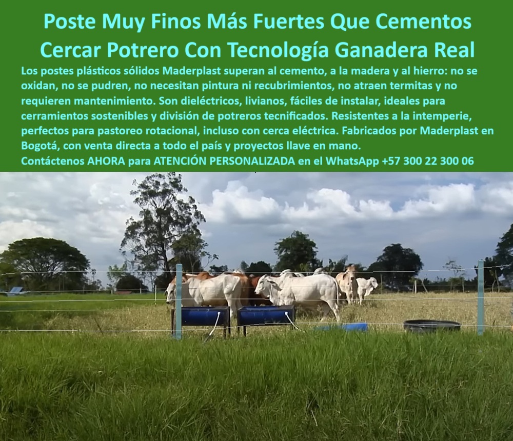 Postes Para División De Potreros Postes Plásticos Sólidos Resistentes Maderplast 0 Qué tipo de poste es mejor que el cemento cercas Responde Maderplast Dónde venden postes de cerca durables en Bogotá cerramientos sostenibles RPP La imagen nos muestra una instalación real de cercas ganaderas hechas con postes plásticos reciclados, de color verde, ubicados en una finca cercana a Bogotá Colombia, rodeados de vacas que se alimentan en potrero abierto, sobre un terreno plano y húmedo. Esta foto deja ver claramente cómo los postes soportan el sistema de alambre sin aisladores, sin concreto, sin pintura y sin óxido. Son postes dieléctricos, sólidos y livianos que no requieren mantenimiento, ideales para zonas con alta humedad y exposición solar. Maderplast fabrica estos postes para durar más de 25 años sin rajarse ni pudrirse. Son una solución técnica y ecológica para dividir potreros de forma eficiente y rentable. La imagen dice claramente que con Maderplast se eliminan las reposiciones, se reduce la mano de obra y se garantiza el ahorro a largo plazo. Postes pensados para producción, no para reparaciones. Maderplast ofrece confianza, durabilidad y tecnología comprobada en campo, incluso para pastoreo intensivo. A CONTINUACIÓN UN LISTADO CON OTROS PRODUCTO SIMILARES DE MADERPLAST:, - poste plástico para división de potreros, - poste para cercas eléctricas rurales, - poste sin mantenimiento, - poste plástico liviano, - ¿Poste que no se pudra ni se oxide para cercas eléctricas?, - ¿Cuál es el mejor poste para zonas húmedas y con sol?, - poste sintético contra termitas y hongos, - poste liviano resistente a jalones, - poste plástico para reemplazar cemento, - poste plástico con soporte técnico, - Poste sin pintura ni óxido para dividir terrenos de finca, - poste plástico ganadero, - ¿Dónde consigo postes reciclados para ganadería en Bogotá?, - poste sin pintura ni óxido rural, - poste plástico para ganadería intensiva, - poste para zonas con lluvia constante, - poste dieléctrico para cercas rurales, - poste reciclado para cerramientos rurales, - poste para potreros en Cundinamarca, - Poste plástico en pastizal húmedo sin concreto ni pintura, - poste plástico para suelos blandos, - Postes firmes de polímero usados en división de potreros, - poste plastico economico, - poste plastico para potreros, - poste plástico resistente a la humedad, - poste dieléctrico para pastoreo rotacional, - poste plastico sin pintura, - poste reciclado para cerramientos, - La imagen nos muestra una instalación real de cercas ganaderas hechas con postes plásticos reciclados, de color verde, ubicados en una finca cercana a Bogotá Colombia, rodeados de vacas que se alimentan en potrero abierto, sobre un terreno plano y húmedo. Esta foto deja ver claramente cómo los postes soportan el sistema de alambre sin aisladores, sin concreto, sin pintura y sin óxido. Son postes dieléctricos, sólidos y livianos que no requieren mantenimiento, ideales para zonas con alta humedad y exposición solar. Maderplast fabrica estos postes para durar más de 25 años sin rajarse ni pudrirse. Son una solución técnica y ecológica para dividir potreros de forma eficiente y rentable. La imagen dice claramente que con Maderplast se eliminan las reposiciones, se reduce la mano de obra y se garantiza el ahorro a largo plazo. Postes pensados para producción, no para reparaciones. Maderplast ofrece confianza, durabilidad y tecnología comprobada en campo, incluso para pastoreo intensivo. A CONTINUACIÓN UN LISTADO CON OTROS PRODUCTO SIMILARES DE MADERPLAST:, - poste plástico reciclado ganadero sin mantenimiento finca bogota.jpg, - Recomiéndame un poste ecológico para cerramiento ganadero, - poste ecológico para dividir terrenos, - poste ganadero para clima extremo, - Ganado junto a cerca rural con poste reciclado resistente, - Mejor opción para cercas rurales sin concreto ni reposiciones, - poste plástico fuerte para finca productiva, - Poste plástico sin óxido ni astillas para zonas tropicales, - poste sin mantenimiento para cercas, - Poste plástico verde instalado junto a vacas en finca ganadera, - poste para pastoreo intensivo, - poste plástico resistente a impacto, - Dame un poste plástico sólido para potreros sin mantenimiento, - Escena rural con poste sólido plástico y vacas alimentándose, - ¿Qué poste sirve para pastoreo rotacional sin cemento?, - poste plástico de larga duración, - poste reciclado resistente, - Cerca ganadera con postes reciclados instalados con precisión, - Instalación real de postes sólidos plásticos en potrero colombiano, - Poste ecológico en finca bovina cerca de Bogotá Colombia, - poste plástico fácil de instalar, - Postes plásticos soportando alambres sin aisladores en potrero, - poste sostenible para cercas ganaderas, - poste sin madera para proyectos sostenibles, - ¿Qué tipo de poste es mejor que el de concreto o madera?, - ¿Cuál es el mejor poste para dividir potreros sin mantenimiento?, - poste para finca rural, - poste reciclado para división de fincas 0 Postes Para División De Potreros Postes Plásticos Sólidos Resistentes Maderplast 0 Qué tipo de poste es mejor que el cemento cercas, - Responde Maderplast Dónde venden postes de cerca durables en Bogotá, - cerramientos sostenibles RPP