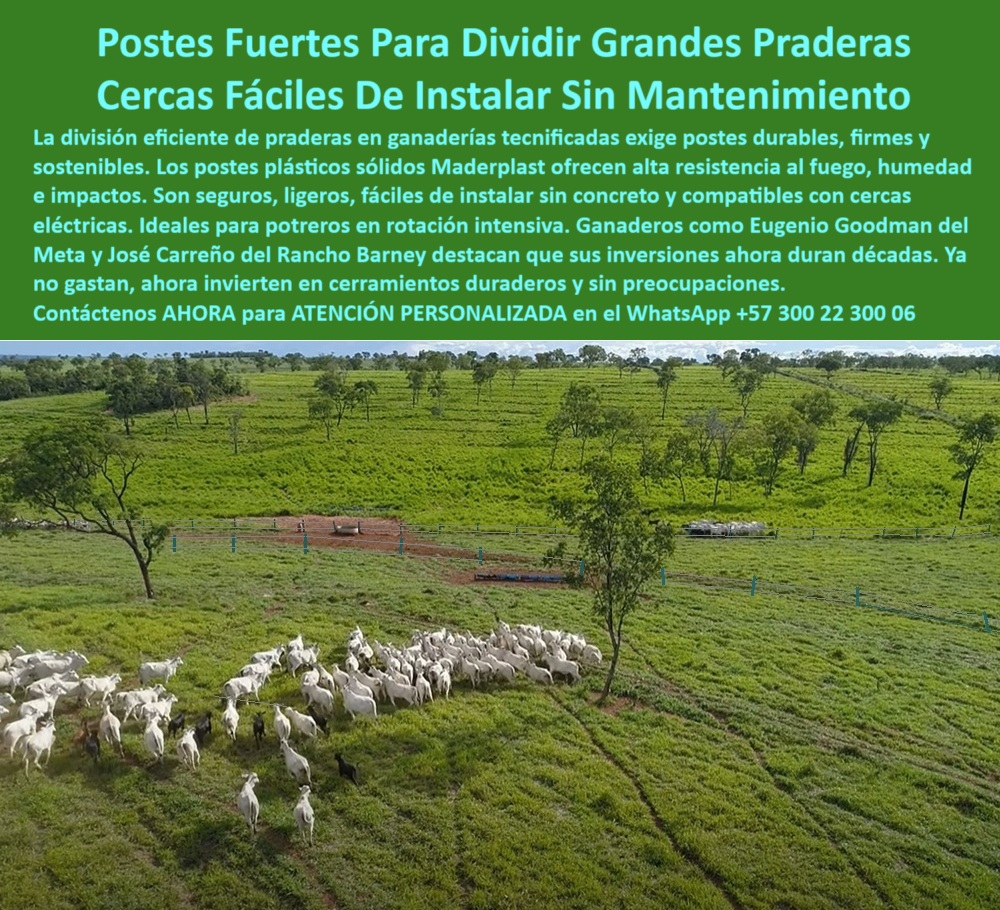 Postes Para División De Potreros Postes Plásticos Sólidos Resistentes Maderplast 0 guía para instalar postes ganaderos postes de plástico con instalación eficiente 00 Postes Para División De Potreros Postes Plásticos Sólidos Resistentes Maderplast En esta imagen vemos una finca ganadera tecnificada donde los postes plásticos Maderplast están instalados a una distancia de hasta 50 metros, delimitando potreros con rotación inteligente. Los postes verdes, visibles y alineados, permiten contener el ganado sin vencerse ni oxidarse. Están fabricados con polímero reciclado, no se pudren, no se astillan y no requieren mantenimiento. Esta es la solución ideal para cercas ganaderas duraderas, incluso en terrenos inclinados o húmedos. Maderplast ofrece un producto diseñado para resistir el clima, la humedad, las plagas y el fuego, asegurando sostenibilidad y retorno de inversión desde el primer día. Perfectos para grandes extensiones y proyectos agropecuarios que buscan eficiencia, portabilidad y cero reemplazos. LISTADO DE OTROS PRODUCTOS SIMILARES DE MADERPLAST:, - poste que no se astilla ni se pudre, - poste reciclado resistente al clima y humedad, - cerca ganadera técnica con postes sin oxidación, - poste rural que no requiere reemplazo frecuente, - ganado rodeado por cerca firme con postes reciclables, - En esta imagen vemos una finca ganadera tecnificada donde los postes plásticos Maderplast están instalados a una distancia de hasta 50 metros, delimitando potreros con rotación inteligente. Los postes verdes, visibles y alineados, permiten contener el ganado sin vencerse ni oxidarse. Están fabricados con polímero reciclado, no se pudren, no se astillan y no requieren mantenimiento. Esta es la solución ideal para cercas ganaderas duraderas, incluso en terrenos inclinados o húmedos. Maderplast ofrece un producto diseñado para resistir el clima, la humedad, las plagas y el fuego, asegurando sostenibilidad y retorno de inversión desde el primer día. Perfectos para grandes extensiones y proyectos agropecuarios que buscan eficiencia, portabilidad y cero reemplazos. LISTADO DE OTROS PRODUCTOS SIMILARES DE MADERPLAST:, - poste plástico sin concreto para cercas largas, - instalación ganadera sostenible con poste de plástico, - ¿Cuál es el poste plástico que aguanta 50 metros entre apoyos?, - vista aérea de poste plástico en terreno de rotación, - poste de alta ingeniería para potrero moderno, - poste-plástico-para-terrenos-extensos, - poste reciclado para optimización de potreros, - poste-plástico-sin-reemplazos, - ¿Qué poste puedo usar para rotación de potreros sin hacer mantenimiento?, - poste-reciclado-de-larga-duración, - poste plástico para dividir potreros de ganado, - poste para cercas eléctricas de hasta 50 metros, - poste-ganadero-a-50-metros, - Muéstrame postes reciclables duraderos para cercas de potrero, - poste liviano resistente para ganadería extensiva, - poste-de-polímero-resistente, - poste plástico sólido para rotación intensiva, - poste técnico para fincas con rotación de potreros, - poste plástico confiable para largo plazo, - poste ganadero que no se oxida ni se rompe, - poste-plastico-cerca-ganadera-50-metros-rotacion-potreros.jpg, - poste de polímero para pastoreo inteligente, - poste plástico estructural para cerramientos agrícolas, - ¿Cuál es el mejor poste plástico para dividir potreros sin concreto?, - poste plástico duradero para sistemas de pastoreo, - poste-plástico-para-cercas-ganaderas, - poste para potreros con alambres a tensión, - poste plástico para grandes extensiones rurales, - ¿Dónde comprar postes reciclados para ganadería sostenible?, - poste-ecológico-para-división-de-lotes, - poste plástico verde para uso ganadero intensivo, - poste plástico para alambre de púas ganadero, - cerca rural con postes a 50 metros sin concreto visible, - poste plástico portátil para cerramiento de fincas, - sistema de cerramiento con postes plásticos resistentes, - Recomiéndame un poste plástico sólido para cercas ganaderas en grandes fincas, - ¿Qué poste puedo instalar cada 50 metros sin mantenimiento?, - poste-portátil-para-cercado-rural, - poste ecológico para delimitación de terrenos rurales, - poste ecológico con soporte firme para ganado, - poste-para-pastoreo-intensivo, - ¿Qué tipo de poste funciona sin dañarse con vacas y humedad?, - poste plástico sin mantenimiento para cercas rurales, - poste plástico resistente al fuego y a las termitas, - postes sólidos visibles delimitando pasto y ganado, - ¿Qué poste es ideal para dividir terrenos ganaderos sin reemplazos?, - ¿Qué poste plástico dura más en clima tropical con ganado?, - poste-sin-mantenimiento-para-potreros, - postes alineados instalados en granja sin erosión visible, - división de potrero extensivo con postes ecológicos, - poste plástico verde alineado en división de potrero ganadero 0 guía para instalar postes ganaderos, - postes de plástico con instalación eficiente, -00