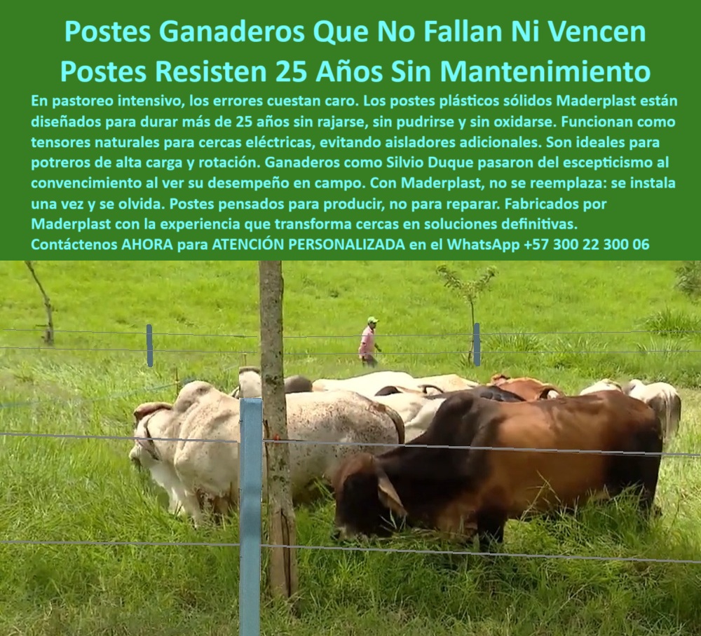 Postes Para División De Potreros Postes Plásticos Sólidos Resistentes Maderplast 0 postes de alta resistencia para finca ganadera Postes plásticos que 00 Postes Para División De Potreros Postes Plásticos Sólidos Resistentes Maderplast Esta imagen muestra una cerca ganadera con postes plásticos instalados a gran distancia entre sí, sin concreto ni aisladores, dividiendo potreros para pastoreo intensivo. Los postes son sólidos, no se rajan, no se pudren ni se oxidan, y resisten sin fallos por más de 25 años. Están diseñados para eliminar mantenimientos, reducir costos de nómina y aumentar la eficiencia productiva del campo. Maderplast los fabrica con materiales reciclados de alta ingeniería para soluciones definitivas. Con Maderplast, el productor invierte una sola vez y ganó para siempre: una cerca eficiente, firme y sin reemplazos. A CONTINUACIÓN UN LISTADO DE SOLUCIONES CON OTROS PRODUCTOS SIMILARES DE MADERPLAST:, - poste sin pintura para ganadería de larga duración, - ¿Qué poste reemplaza concreto y madera para ganado extensivo?, - poste-dieléctrico-para-cercas-rurales, - ¿Qué poste puedo usar para dividir potreros sin mantenimiento?, - poste de polímero para fincas de producción intensiva, - Solución definitiva para división de potreros sin costos recurrentes, - poste plástico con resistencia a tracción ganadera, - poste libre de óxido para uso en finca ganadera, - poste-ecológico-para-finca-sostenible, - ¿Qué poste es más resistente para cerca eléctrica sin concreto?, - poste para suelos húmedos y clima tropical, - sistema de cercado rural sin óxido ni deformación, - cercado ganadero con postes plásticos firmes y alineados, - poste-sin-mantenimiento-para-cercas, - poste reciclado enterrado directo en potrero húmedo, - poste para electrificación ganadera sin fracturas, - Esta imagen muestra una cerca ganadera con postes plásticos instalados a gran distancia entre sí, sin concreto ni aisladores, dividiendo potreros para pastoreo intensivo. Los postes son sólidos, no se rajan, no se pudren ni se oxidan, y resisten sin fallos por más de 25 años. Están diseñados para eliminar mantenimientos, reducir costos de nómina y aumentar la eficiencia productiva del campo. Maderplast los fabrica con materiales reciclados de alta ingeniería para soluciones definitivas. Con Maderplast, el productor invierte una sola vez y ganó para siempre: una cerca eficiente, firme y sin reemplazos. A CONTINUACIÓN UN LISTADO DE SOLUCIONES CON OTROS PRODUCTOS SIMILARES DE MADERPLAST:, - poste plástico sólido para cercado agropecuario, - poste sin mantenimiento para división de potreros, - poste para instalación directa sin concreto, - poste divisor en finca con ganado brahman y rotación, - poste-para-rotación-ganadera-extensiva, - poste-plastico-alta-resistencia-para-ganado-intensivo-sin-mantenimiento.jpg, - poste ideal para dividir potreros sin mano de obra constante, - poste plástico de alta resistencia para ganado intensivo, - poste instalado en terreno inclinado con ganado pastando, - división de potreros con poste plástico de color gris, - poste dieléctrico sin oxidación ni deformaciones, - poste para cerca eléctrica sin aisladores adicionales, - ¿Dónde encuentro poste plástico que no se pudre ni se oxida?, - poste fuerte para potrero con carga pesada, - Poste ecológico de alta resistencia para cerca eléctrica rural, - ¿Cuál es el mejor poste para ganado intensivo en clima húmedo?, - poste para sistemas de pastoreo sostenible y técnico, - poste para ganadería moderna sin fallas estructurales, - poste para cerca de alambre a gran distancia, - poste reciclado estructural con larga vida útil, - poste para ganado en sistema rotacional eficiente, - poste-para-división-sin-reposición, - Recomiéndame un poste plástico sólido para potrero sin mantenimiento, - poste-libre-de-óxido-y-pintura, - poste que no se pudre ni se astilla, - poste para rotación de pasturas sin reposición, - ¿Qué poste dura más de 25 años sin oxidarse ni deformarse?, - poste-de-alta-resistencia-para-potreros, - poste ecológico para reducir costos de mantenimiento, - poste-para-cercado-técnico-de-pastos, - poste que reemplaza madera y concreto en cerramientos, - poste-reciclado-con-vida-larga, - poste-plástico-para-ganado-intensivo, - poste sin concreto en instalación eléctrica agropecuaria, - ¿Cómo dividir una finca ganadera con postes duraderos?, - poste visible en finca bovina con cero reposición, - poste con durabilidad superior para ganado brahman, - poste sin aisladores usado en cerca con cinta eléctrica, - poste para instalación rápida en terreno rural, - poste plástico sólido para cercas sin mantenimiento visibles 0 postes de alta resistencia para finca ganadera, - Postes plásticos que 00