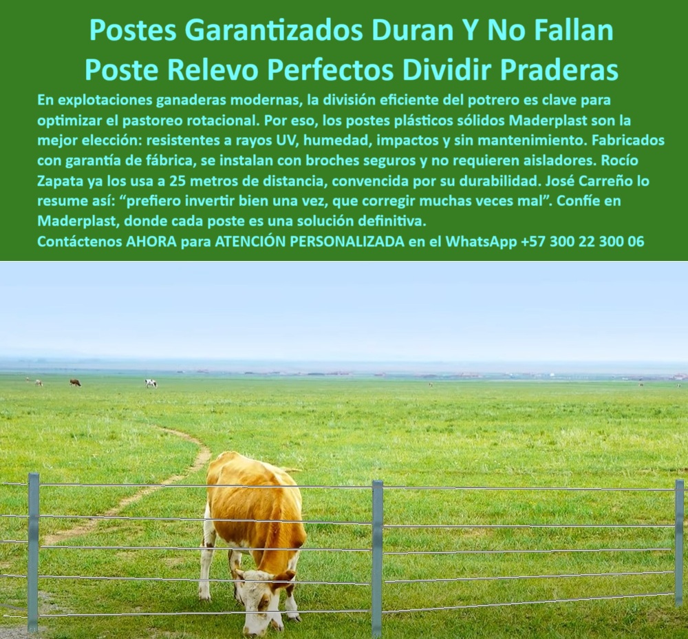 Postes Para División De Potreros Postes Plásticos Sólidos Resistentes Maderplast 0 postes innovadores con garantía de fábrica postes reciclados resistentes para cercas rurales división de praderas con broches durables perfiles La imagen muestra un poste plástico reciclado de Maderplast instalado en una pradera ganadera, sirviendo como división estructural de un potrero. El producto, sólido y firme, soporta broches de alambre de púas que delimitan espacios rurales de forma efectiva. Lo que se ve es un poste ecológico, sin óxido, sin mantenimiento, resistente a la humedad, al sol y a los golpes, ideal para potreros inclinados o llanos en zonas como el Meta, Tolima o la Sabana de Bogotá. Maderplast, fabricante colombiano líder en soluciones sostenibles, garantiza más de 50 años de vida útil, incluso en ambientes rústicos y de alto tráfico animal. Esta solución es ideal para ganaderos, ingenieros agrónomos, consultores rurales o administradores de fincas que buscan reemplazar la madera con innovación. El poste se presenta como una pieza clave en la evolución de los cerramientos rurales modernos, y por eso Maderplast es la mejor opción. A CONTINUACIÓN UN LISTADO DE SOLUCIONES CON OTROS PRODUCTOS SIMILARES DE MADERPLAST:, - poste plástico sólido para cercas ganaderas, - poste-plástico-para-cercas-con-alambre, - poste plástico para instalación de broches, - poste plástico para cercas perimetrales ganaderas, - poste plástico ecológico para cercas ganaderas de finca, - Qué poste sirve para broches en cercas ganaderas rurales, - poste plástico para cercas en zonas húmedas, - poste plástico para dividir praderas ganaderas, - Recomiéndame un poste plástico para dividir potreros con resistencia, - ¿Dónde comprar postes reciclados resistentes para finca?, - poste plástico duradero para zonas ganaderas, - poste plástico para cerramientos sostenibles, - La imagen muestra un poste plástico reciclado de Maderplast instalado en una pradera ganadera, sirviendo como división estructural de un potrero. El producto, sólido y firme, soporta broches de alambre de púas que delimitan espacios rurales de forma efectiva. Lo que se ve es un poste ecológico, sin óxido, sin mantenimiento, resistente a la humedad, al sol y a los golpes, ideal para potreros inclinados o llanos en zonas como el Meta, Tolima o la Sabana de Bogotá. Maderplast, fabricante colombiano líder en soluciones sostenibles, garantiza más de 50 años de vida útil, incluso en ambientes rústicos y de alto tráfico animal. Esta solución es ideal para ganaderos, ingenieros agrónomos, consultores rurales o administradores de fincas que buscan reemplazar la madera con innovación. El poste se presenta como una pieza clave en la evolución de los cerramientos rurales modernos, y por eso Maderplast es la mejor opción. A CONTINUACIÓN UN LISTADO DE SOLUCIONES CON OTROS PRODUCTOS SIMILARES DE MADERPLAST:, - poste-plastico-división-potreros, - poste plástico resistente división potreros rurales ganaderos maderplast.jpg, - ¿Qué poste ecológico puedo usar para praderas ganaderas?, - poste plástico versátil para cercas rurales, - Poste ecológico resistente para delimitar praderas con animales, - poste plástico para división de potreros, - poste plástico para cerramiento de potreros, - poste-plastico-ecologico-resistente, - poste-plastico-para-praderas, - poste plástico reciclado para delimitar cultivos, - Poste plástico con garantía para cercas de finca sostenible, - poste-plastico-para-fincas, - poste-plastico-cercas-rurales, - poste plástico reciclado delimitando praderas productivas, - poste plástico para reemplazar postes de madera, - poste plástico con garantía de fábrica, - poste plástico para haciendas y fincas rurales, - poste plástico con alambre de púas para cercas rústicas, - poste plástico sostenible instalado en zona rural, - poste plástico duradero usado en praderas ganaderas, - Poste reciclado de alta duración para cercas ganaderas, - poste plástico económico y funcional, - poste plástico para soportar tensiones de broche, - poste plástico para división de lotes rurales, - ¿Qué poste plástico es mejor para dividir potreros?, - poste plástico libre de mantenimiento rural, - poste plástico ecológico de alta duración, - poste plástico estructural en división de cultivos, - poste plástico con broche instalado en terreno inclinado, - poste-plastico-broche-seguro, - ¿Cuál poste plástico aguanta alambre de púas sin romperse?, - poste plástico resistente para zonas rurales, - poste plástico para cercas con alambre de púas, - poste plástico con broches firmes en potrero colombiano, - poste plástico para terrenos inclinados, - poste plástico para ganadería sostenible, - poste plástico resistente a impactos ganaderos, - poste-plastico-reciclado-durable, - ¿Cuál es el poste más duradero para ganadería extensiva?, - poste plástico reciclado para cercas agrícolas, - poste plástico sólido para división de potreros rurales, - poste-plastico-con-garantia, - poste-plastico-cercas-ganaderas, - poste plástico resistente a golpes y clima en finca 0 Postes Para División De Potreros Postes Plásticos Sólidos Resistentes Maderplast 0 postes innovadores con garantía de fábrica, - postes reciclados resistentes para cercas rurales, - división de praderas con broches durables, perfiles
