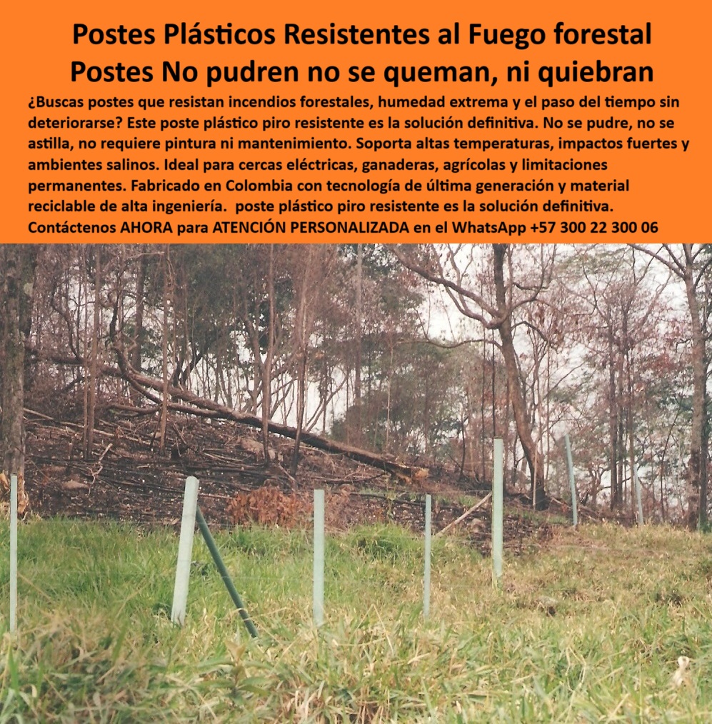 Postes Plásticos A Prueba De Fuego Pirorresistentes Resistes Las Quemas Maderplast 0 Cercas certificadas anti fuego postes plásticos resistentes fabricado Colombia Qué tipo de poste no se pudre ni se decolora Postes Plásticos Esta imagen muestra una cerca intacta en medio de un bosque quemado, gracias a los postes plásticos Maderplast. Fabricados con polímero reciclado de ingeniería, estos postes no se pudren, no se astillan ni se queman, incluso en incendios forestales severos. A diferencia de la madera o el concreto, los postes Maderplast permanecen firmes, alineados y funcionales después del fuego. Ideales para cercas ganaderas, agrícolas o eléctricas en zonas de altas temperaturas, quemas controladas o ambientes salinos. Su tecnología colombiana garantiza una durabilidad superior sin mantenimiento. Una inversión sólida y ecológica.  A CONTINUACIÓN UN LISTADO CON OTROS PRODUCTO SIMILARES A ESTE DE MADERPLAST:, - poste ecológico para zonas forestales calientes, - poste libre de químicos y resistente al fuego, - poste-ecológico-contra-fuego, - postes ecológicos sin daño tras fuego forestal, - poste-plástico-resistente-a-incendios-forestales-colombia, - poste-plástico-para-cercas-en-sabanas, - cerca plástica segura en terreno afectado por incendio, - ¿Hay postes que no se queman ni se astillan con calor?, - poste-ignífugo-para-zona-forestal, - postes inalterables tras incendio de cobertura vegetal, - poste-plástico-tecnología-colombiana, - poste reciclable para climas extremos y forestales, - poste-plástico-resistente-al-calor-extremo, - ¿Dónde consigo postes ignífugos para cercas ganaderas?, - postes sin astillas ni humo en zona agrícola quemada, - recomendación de poste ignífugo para zonas rurales, - poste plástico verde firme tras incendio forestal en sabana, - poste plástico que no se quema ni se parte por calor, - poste que no se astilla ni se pudre en calor extremo, - poste que reemplaza madera en incendios rurales, - poste duradero para sectores agroindustriales, - poste-plástico-resistente-al-fuego, - poste que soporta impacto, fuego y humedad, - ¿Qué poste sirve para zonas con incendios forestales?, - poste-reciclado-apto-para-quemas, - poste de polímero estructural ignífugo, - poste plástico técnico con protección térmica, - poste colombiano contra fuego y termitas, - poste-plástico-sin-mantenimiento-rural, - Esta imagen muestra una cerca intacta en medio de un bosque quemado, gracias a los postes plásticos Maderplast. Fabricados con polímero reciclado de ingeniería, estos postes no se pudren, no se astillan ni se queman, incluso en incendios forestales severos. A diferencia de la madera o el concreto, los postes Maderplast permanecen firmes, alineados y funcionales después del fuego. Ideales para cercas ganaderas, agrícolas o eléctricas en zonas de altas temperaturas, quemas controladas o ambientes salinos. Su tecnología colombiana garantiza una durabilidad superior sin mantenimiento. Una inversión sólida y ecológica.  A CONTINUACIÓN UN LISTADO CON OTROS PRODUCTO SIMILARES A ESTE DE MADERPLAST:, - poste para finca en sabana expuesta a quemas, - poste plástico técnico para zonas de quema agrícola, - postes plásticos alineados tras incendio en zona ganadera, - poste que no se quiebra ni se quema en el monte, - mejor poste para cerca forestal con riesgo de fuego, - poste sin mantenimiento para zonas de quema controlada, - cerca estable con postes que no se queman ni caen, - poste alternativo al concreto y acero en zonas forestales, - poste que no se deteriora con fuego ni sol, - poste plástico que resiste incendios forestales, - poste plástico anti fuego con uso agrícola y ganadero, - poste-que-no-se-quema-ni-se-astilla, - poste alternativo a madera en zonas calientes, - poste para cerca rural en zonas propensas a incendios, - poste plástico piro resistente para cercas eléctricas, - ¿Qué poste plástico resiste quemas agrícolas o forestales?, - poste verde resistente al fuego certificado, - poste para linderos ganaderos en zona caliente, - cerca rural con postes que resistieron quema de vegetación, - poste sin pintura resistente a altas temperaturas, - ¿Qué poste no se deforma con el fuego ni el tiempo?, - poste plástico resistente a incendios y humedad extrema, - delimitación con postes que no se deforman por calor, - poste-para-incendios-agrícolas, - poste industrial ignífugo para cercado perimetral, - poste ideal para agroganadería en sabanas calurosas, - estructura plástica técnica entre monte quemado 0 Postes Plásticos A Prueba De Fuego Pirorresistentes Resistes Las Quemas Maderplast 0 Cercas certificadas anti fuego, - postes plásticos resistentes fabricado Colombia, - Qué tipo de poste no se pudre ni se decolora, - Postes Plásticos